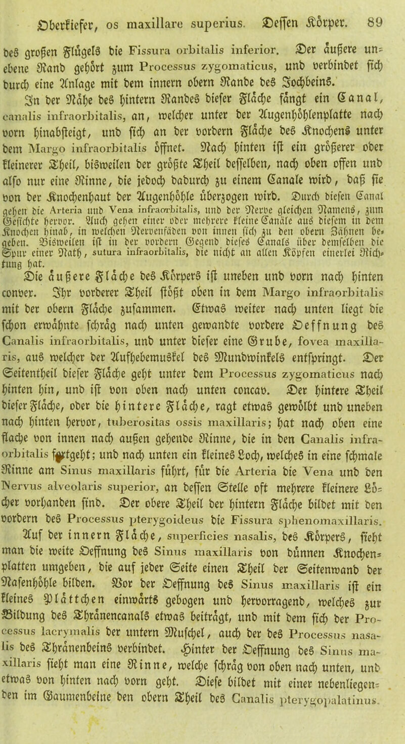 t)e§ großen glugelS bte Fissura orbitalis inferior. 25er äußere un^ ebene Cftanb gebort §um Processus zygomaticus, unb oerbinbet ftch burd; eine Anlage mit bem innern obern 3tanbe beS SochbeinS. Sn ber Stabe beS h^tern StanbeS biefer glddje fangt ein Ganal, canalis infraorbitalis, an, welcher unter ber tfugenhohlenplatte nach vorn hinabfteigt, unb [ich an ber oorbern §ldche beS .ftnochenS unter bem Margo infraorbitalis öffnet. Stacb hinten ift ein größerer ober Hetnerer Sbeil, bisweilen ber größte Sh«l bcffclben, nach oben offen unb alfo nur eine 3tinne, bie jeboeb babureb ju einem banale wirb, baß fte oon ber .Knochenhaut ber Augenhöhle überzogen wirb. Surd) btefeit Gtanai geben bie Arteria mib Vena infraorbitalis, imb ber 9lerüe gleidjen Stamenö, 3ltm ©e(Td)te (jerpor. Sind) geben einer ober mehrere Meine (Fanale auS biefem in bem ifnod)cn hinab, in n>eld)en Steruenrabcn non innen fid) Alt beit obern 3äljnett be» geben. 93iött*eifen ift in ber oorbern ©egenb biefeS (eattalö über bemfetben bie ©pur einer Statb, sutura infraorbitalis, bte uid)t an allen köpfen einerlei 9fid)*> tung hat. Sic äußere gtdebe beS .Körpers ift uneben unb oorn nacb hinten conoer. Sh* oorberer S£(;eil floßt oben in bem Margo infraorbitalis mit ber obern gldche jufamtnen. (Etwas weiter nad; unten liegt bie fchon ermahnte fd;rdg nach unten gewanbte oorbere Öeffnung beS Canalis infraorbitalis, unb unter biefer eine ©rube, fovea maxilla- ris, aus welcher ber 2lufhebemuSfet beS SÜJtunbwinfelS entfpringt. Ser ©eitentheil biefer flache geht unter bem Processus zygomaticus nach hinten hin, unb ift oon oben nad; unten concao. Ser hintere SSheil biefergldchc, ober bie hintere gldche, ragt etwas gewölbt unb uneben nad) hinten l;e*Oor, tuberositas ossis maxillaris; l;ctt nad; oben eine flache oon innen nad) außen gebenbe 3iinne, bie in ben Canalis infra- orbitalis ffftgebt; unb nach unten ein HeineS Sod;, welches in eine febmaie Stinne am Sinus maxillaris fuhrt, für bie Arteria bie Vena unb ben Nervus alveolaris superior, an beffen ©teile oft mehrere Heinere 80= d;er oorl;anben ftnb. Ser obere Sbeil ber hintern flache bilbet mit ben oorbern beS Processus pterygoicleus bie Fissura sphenomaxillaris. 2luf ber innern flache, superficies nasalis, beS .KorperS, ffebt man bie weite Seffnung beS Sinus maxillaris oon bunnen Knochens platten umgeben, bie auf jeher ©eite einen SSbeil ber ©eitenwanb ber Stafenboble bilben. SSor ber Seffnung beS Sinus maxillaris ift ein HeineS $pidttd)en einwärts gebogen unb he*öo**flgenb, welches jur SSilbung beS 5£h*dnencanalS etwas beitragt, unb mit bem [ich ber Pro- cessus lacrymalis ber untern SKufchel, auch ber beS Processus nasa- iis beS ÄhrdnenbeinS oerbinbet. hinter ber Seffnung beS Sinus ma- xillaris fleht man eine 3t in ne, welche fdjrag oon oben nad) unten, unb etwas oon hinten nach oorn geht. 25iefe bilbet mit einer nebenliegcn= ben im (Baumenbeine ben obern &heil beS Canalis pterygopalatinus.