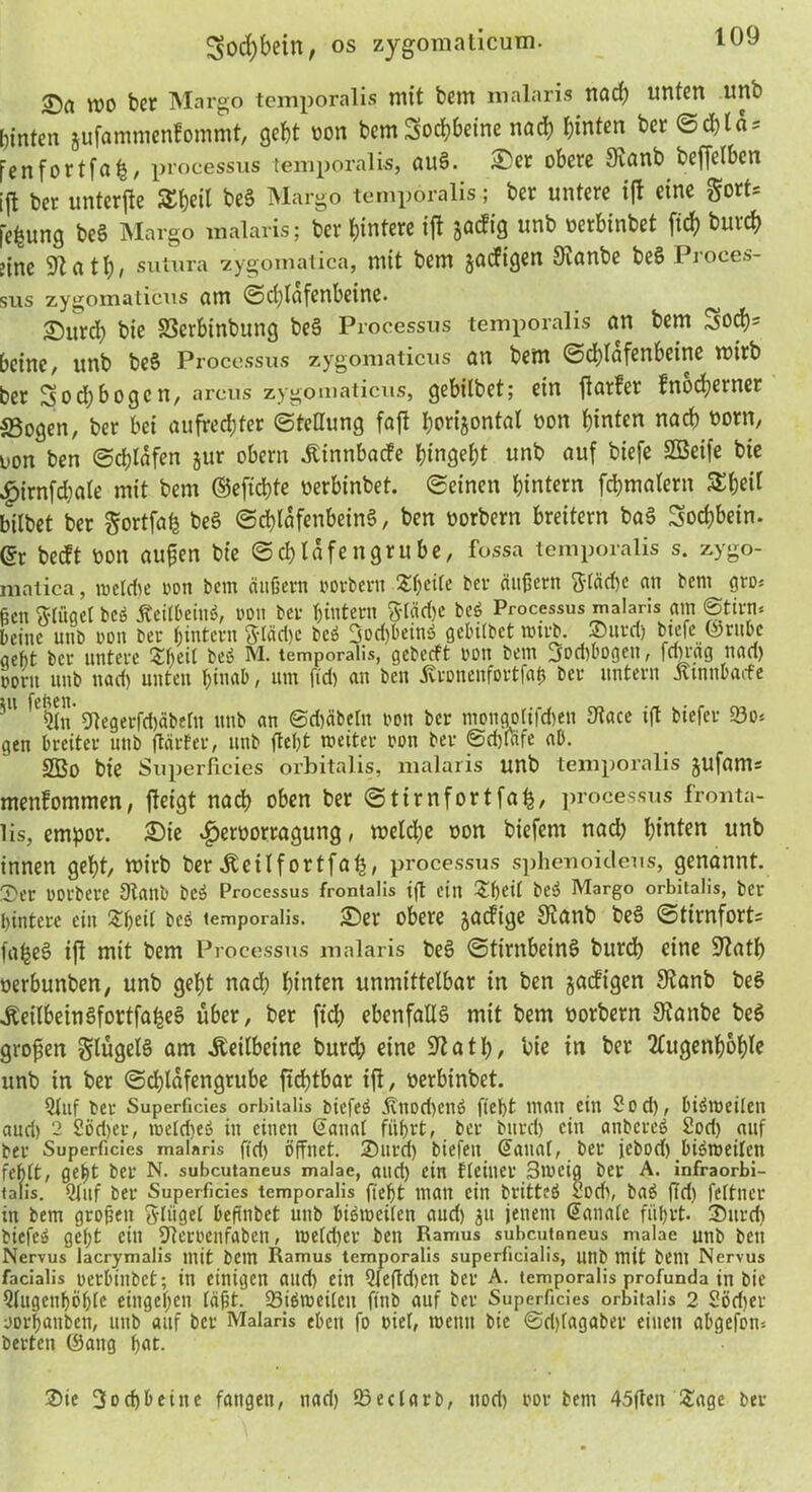 wo bcr Margo temporalis mit bem malaris nad) unten unb hinten jufammenfommt, gebt non bemSocbbetne nad) hinten ber ©d)las fenfortfaf), processus temporalis, au§. £cr obere 9innb beffelben ijl bcr unterste Sbeil be3 Margo temporalis; ber untere ift eine gort= le^ung beS Margo malaris; ber hintere ift jotfig unb nerbinbet (ich burcb eine 91fltb> sutura ■zygomatica, mit bem jaeftgen 9ianbe beS Ptoces- sus zygomaticus am ©djlafenheine. ^)urd) bie SSerbinbung be§ Processus temporalis an bem Sod>- beine, unb be§ Processus zygomaticus an bem (Schläfenbeine wirb ber Sod)bogcn, arcus zygomaticus, gebilbet; ein flfltfet fnodjerner S3ogenr ber bei aufrechter (Stellung fafl horizontal non hinten nach norm uon ben (Schlafen jur obern Äinnbacfe hingeht unb auf biefe SBeife bie £irnfchale mit bem ©eftebfe nerbinbet. (Seinen hintern fchmalern Scheit bilbet ber gortfah be§ (Schläfenbeins, ben norbern breitem baS 3od)bein. ®r beeft non außen bte (Schlafengrübe, fossa temporalis s. zygo- matica, iuelcf>e non bem äußern »orbern Steile bcr äußern $täd)c an bem gro* ßcn ftliigcl bcö Äeit6ein$, oon ber hintern 8-(äd)e beS Processus malaris am Stirn'. Deine unb oon ber hintern fttäd)c bcö 3od)bein$ gebilbet wirb. Surd) biefe ©ruhe aeht bcr untere Xheit beö M. temporalis, gebetft oon bem jodwogett, fdirag nad) öoru unb nad) unten hinab, um fid) an ben ivronenfortfaß ber untern Jtinnbacfe ,H ^lln SRegerfchäbeltt unb an Sd)äbetn oon ber mongolifdjen Otacc ift biefer S3o* gen breiter unb ftärfer, unb fleht weiter oon ber Schlafe ab. 2Bo bie Superficies orbitalis, malaris unb temporalis jufams menfommen, fteigt nach oben ber «Stirnfortfafc, processus fronta- lis, empor. ©te ^eroorragung, welche oon biefern nad) hinten unb innen geht, wirb ber Äeilfortfaf), processus sphenoicleus, genannt. Ser oorbere Staub bei Processus frontalis ift ein ?heil bei Margo orbitalis, ber hintere ein Sßeil beö temporalis. ©er obere jaefige Sianb beS ©tirnfort= fa^eö ift mit bem Processus malaris beä ©tirnbeinö burd) eine S^ath oerhunben, unb geht nad) hinten unmittelbar in ben jaeftgen Stanb beS Keilbein Sfortfal^eS über, ber fid) ebenfalls mit bem öorbern Staube beS großen ^lügelS am Keilbeine burd) eine ■iftatl), bie in ber Augenhöhle unb in ber @d)lafengrube fiebtbar ifl, üerbinbet. Qluf ber Superficies orbitalis oiefeö .)vnod)cnö fieht matt ein 8od), bisweilen aud) 2 2od)er, meid)es in einen Sana! führt, bcr burd) ein anbereä 2od) auf ber Superficies malaris ffd) öffnet. 2)itrd) biefeit @anal, ber jebod) bisweilen fehlt, geht ber N. subcutaneus malae, and) ein f (einer Bweia ber A. infraorbi- talis. Qttif ber Superficies temporalis fieht matt ein britteö ^od), baö fid) feltncv in bem großen ginget befinbet unb bisweilen and) zu jenem (üauale führt. 3)itvd) biefe» geht ein 9tcrocnfabcn, welcher ben Ramus subcutaneus malae unb ben Nervus lacrymalis mit bem Ramus temporalis superficialis, unb mit betlt Nervus facialis ocrhitibct; in einigen and) ein 9(eftd)cn ber A. temporalis profunda in bie Qlugcnhöhtc eingej)cn läßt. 23iöweilen fttib auf ber Superficies orbitalis 2 Södier oorßanben, mtb auf bcr Malaris eben fo oiel, wettit bie ©djlagaber einen abgefom berten (i)ang hat. Sie 3od)beine fangen, nad) ffieclarb, ttod) oor bem 45ften Sage ber