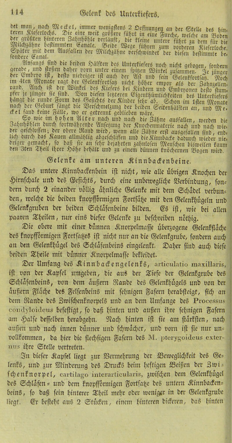 ©elcnE bcö UnterB’ieferö. bft man, nad) pierfcl, immer roemgftenö 2 ©effnungeo an ber ©teile beg Jjin. tcren ivtcferlDcfjö. Sie eine roett größere fiiljvt in eine Surd)e, metdie am 93oben ber gvopten hinterenM)Mt erlauft, bie «eine untere u bem für bk SÜuId>äaf)ne Deftimmten ff anale. 23eibc 2ßege führen inm potberen ÄieferloAe fmlbm Sa(em ®WjfÄKen bet 9Äi(^^ne ^Winbet bei- tiefen öefHmmte 6* Qfnfaugö jinb bie beiben Spcitften beb Unterfieferö noch nidjt gebogen, fonbern gerabc, unb flößen baljer oorit unter einem fptfteu Stufet zufammeu 3e jünger ber @mbrno tfl, befto mebrtger ift and) ber 2lft unb fein ©e(entfortfan S im 4ten 9)ionate ragt ber ©crenffortfati nicht höher empor als ber 3ahmellcn! raub. 5(uci) iff ber Stufet beg Äteferö bei Äinbern unb ©mbrpünen befto ftum* pfer ie junger fte ftnb. &on btefen letzteren @igenthüm[id)fcitcn beb Uuterfieferö bangt btc vitttbe ftorm beb ©eftdjtö ber jtiubcr fefjr ab. ©djon im lflenStonate nad) ber ©eburt fängt bie ^erfdjme^uug bet beibeu ©eitenbätften an, unb 4e, cftl fatib feine Satte, mo er getrennt gebrieben märe. o < ^rmtestmJ^Keu-5Itei'nt)ad> Ullb ,iarf> bie 3«bne aubfatten, merben bie Sapntjopten burd) fortmahrenbe Sifeßuug ber Änodjeumaterie nad) unb nad) mte. ber gefdjtoffen; ber obere Staub mirb, menn alte 3ätjne erft ausgefallen fttib, enb* tid) burd) bab Kauen altmähtig abgefd)lifTen unb bie Kiuubacfe baburd) roieber nie, brtget geinad)t, fo baß fie an fetjr bejahrten zaljntofen ?Dtenfd)eu bibraeifen faum bett 3ten 4.f)ell »brer £ohe behält unb jit einem büitnen fnöd)cruen 95ogen mirb. ©elenfe am unteren .ftinnbacBenbetne. £)a§ untere .föinnbacBenbein tft nicht, wie alle übrigen Knochen ber ^»irnfcbale unb beg ©eftebtg, bureb eine unbewegliche SSerbtnbung, fons bem bureb 2 einanber völlig ähnliche ©elenfe mit bem ©djabel verbun= ben, welche bie beiben Bnopffbrmigen gortfafce mit ben ©elenBbügeln unb ©elenfgruben ber beiben (Schläfenbeine bilben. ©g iff, wie bei allen paaren agilen, nur eing biefer ©elenfe zu befebreiben nbtbig. 2)ie obere mit einer bünnen .ftnorpelmaffe überzogene ©elenfffadje beg fnopfformigen ^ortfa^eS iß nicht nur an bie ©elenBgrube, fonbern auch an ben ©elenfbügel beg ®d;lafenbeing eingelenft. 2)aber ftnb auch biefe beiben S£I;etle mit bünner Änorpelmaffe beBbeibet. S)er Umfang beg JtinnbacBengelenBg, articulatio maxillaris, iff von ber Zapfet umgeben, bie aug ber Siefe ber ©elenBgrube beg (Sdffafenbeing, von bem aufjern SBanbe beg ©elenBbügelg unb von ber aufiern gladje beg Selfenbeing mit febnigen ^afern berabffeigt, ftd; an bem 9tanbe beg SwtfcbenBnorpelg unb an bem Umfange beg Processus conclyloicleus befeffigt, fo baff hinten unb auffen ihre febnigen Stofen am i)alfe beffelben berabgebn. üftacb J)tnten ifl fte am ffarfffen, nach auffen unb nach innen bünner unb fdjwäcber, unb vorn ift fte nur un= vollBommen, ba hier bie flecbftgen Sofern beg M. pterygoideus exter- nes ihre ©teile oertreten. Sn biefer JBapfel liegt jur SSermebrung ber SBeweglicbBeit beg ©e= lenBg, unb zur ÜJtinberung beg £>rucfg beim heftigen Reiften ber 3wu fd;enfnorpel, cartilago interarticularis, gwifd;en bem ©elenfbügel beg (Schlafens unb bem fnopfformigen Semffafee beg untern ^innbaefens being, fo ba^ fein hinterer &betl mehr ober weniger in ber ©elenBgrube liegt, ©r beffebt aug 2 Stücfcn, einem hinteren bieferen, bag hinten