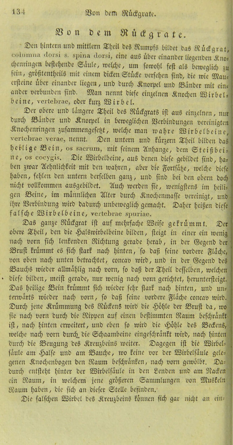 S3on bem Stücfgvate. S5 o n Dem SÄötfgrajtc. ©cn hinter» unb mittlern Sfjeil beg Stumpfg bilbet bag Stücfgrat, columna dom s. spina clorsi, eine aug über einanber liegenben Äno* cbuuittgen beßehenbe ©aule, weld;e, um fowol;l feß alg beweglich ,^u fein, größtenteils mit einem biefen ©tücfe verfemen ftnb, bie wie 9}?au= crjleine über einanber liegen, unb burch Knorpel unb ©dnber mit ein* anbei- oerbunben ftnb. SOtan nennt biefe einzelnen Knochen Sßirbel* bei ne, vertebrae, ober furj SBirbel. ©er obere unb längere SSbeil beg Stüdgratg iß aug einzelnen, nur biud) ©anber unb Knorpel in bewcgltd;en ©erbinbungeit oereinigten Änochenringen sufammengefefct, welche man wahre äßirbelbeine, vertebrae verae, nennt. £en untern unb furjern 5£beil bilben bag heilige ©ein, os sacrum, mit feinem Änhange, bem ©teißbei* ne, os cocygis. £)ie SBtrbelbeine, aug benen biefe gebilbet ftnb, bas ben jwar Äehnlichfeit mit ben wahren, aber bie ftortfdfce, welche biefe haben, fehlen ben untern berfelben gan§, unb ftnb bet ben obern boeb nicht oollfommen auggebilbet. 2Cuch werben ft'e, wenigßeng im heilt* gen ©eine, im männlichen Älter burch Änochenmaffe vereinigt, unb ihre ©erbinbung wirb baburch unbeweglich gemacht. £)aher heißen biefe fölfehe SBtrbelbeine, vertebrae spuriae. £)ag ganje Stüdgrat ift auf mehrfache SBeife gefrümmt. 2)er obere SEheil/ ben bie «gmlgwirbelbeine bilben, ßeigt in einer ein wenig nach oorn ftch lenfenben Dichtung gerabe herab, in ber ©egenb ber ©ruft frümrnt eg ftch ßarf nach hinten, fo baß feine oorbere gldche, oon oben nach unten betrachtet, concao wirb, unb in ber ©egenb beg ©aucl;g wieber allmdhlig nach born, fo baß ber SEheit bejfelben, welchen biefe bilben, meift gerabe, nur wenig nach bont gerichtet, herunterßeigt. £>ag heilige ©ein frümrnt fich wieber fchr ßarf nach hinten, unb un* terwdrtg wieber nach oorn, fo baß feine oorbere glache concao wirb. £>urch jene Krümmung beg OJücfenS wirb bie «£>ohle ber ©ruß ba, wo fte nach oorn burd; bie Stippen auf einen beßimmten Staunt bcfchrdttft iß, nad; hinten erweitert, unb eben fo wirb bie \£>&hle beg ©ecfcttg, welche nach oorn burch. bie ©chaambeine eingefchrdnft wirb, nach hinten burch bie ©eugung beg -Äreujbeing weiter, dagegen iß bie SBirbel* faule am $alfe unb am ©entere, wo feine oor ber SBtrbelfdule gele* genen «ftnoeßenbogen ben Staum befdjrdnfen, nad; oorn gewölbt. £>a* burd; entßeht hinter ber SBirbelfdule in ben ßenben unb am Staden ein Staum, in welchem jene größeren ©ammlungett oon SJtugfeln Staum haben, bie ftd; an biefer ©teile beftnben. •Die falfcßen SBirbel beg Ärcttjbeing formen ftch 9ar nid;t an eilt*