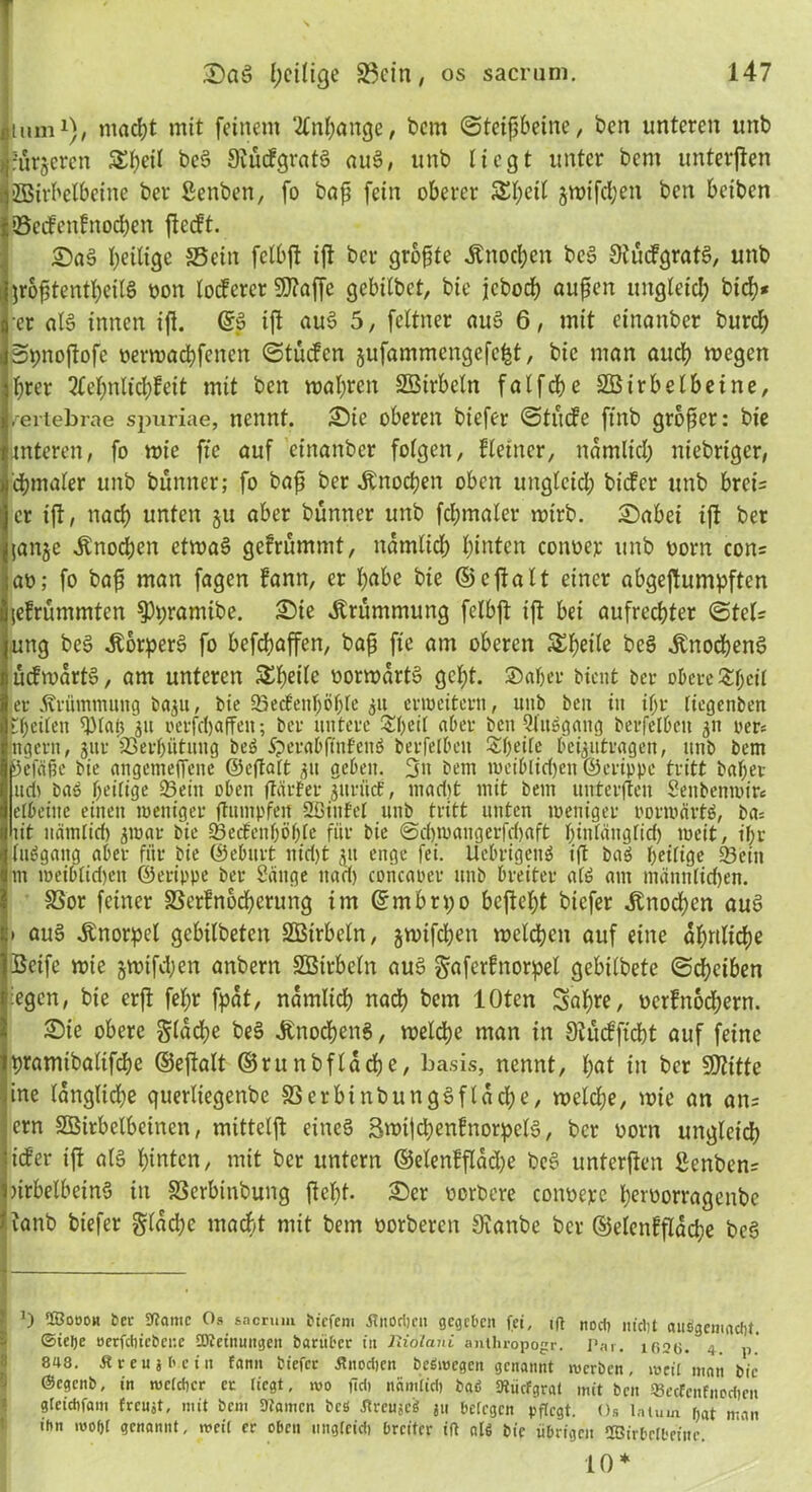 mm1), macht mit feinem Anhänge, bem ©teißbeine, ben unteren unb rurjcrcn Sbeil deS SiucfgratS auS, unb liegt unter bem unterften EBirbelbeine ber Senden, fo baß fein oberer Sl)cil jmifchen ben betbcn Öeifenfnochen flccft. SaS ^eilige SSein fclbft ifl ber größte Knochen deS StucfgratS, unb jroßtentßeilS non loserer 97?affc gcbilbct, bie jedoch außen ungleich dich* er al3 innen iß. ©S iß auS 5, feltner auS 6, mit cinanber burch Spnoßofe oermachfcncn ©tucfcn jufammcngefcht, bie man auch tnegen hrer Ttehnltchfeit mit ben mähren SBirbcln falfrf)e SBirbelbetne, Urtebrae spuriae, nennt. Sie oberen biefer ©tucfe ftnb großer: bie unteren, fo mie ftc auf cinanber folgen, kleiner, nämlich niebrtger, chmaler unb bunner; fo baß ber .Knochen oben ungleich biefer unb brci= er iß, nach unten 51t aber bunner unb fchmaler mtrb. Sabei iß ber janje .Knochen etmaS gefrummt, nämlich hinten coimer unb oorn con= at>; fo baß man fagen fann, er h«bc bie ©cßalt einer abgeßumpften lefrummten ^Ppramtbe. Sie .Krümmung felbß iß bei aufrechter ©tel; ung deS .Körpers fo befeßaffen, baß fte am oberen £f)tile deS .Knochens ucfmartS, am unteren &beilc normdrtS geht, ©aber Ment bei- obere £jjeil er Krümmung baju, bie 23ecf'enljöj)ie 31t erweitern, unb ben in iljr liegenben theilen ^Mafj 51t oerfcljaffeu; ber untere &l)eii aber ben Qlit»gaug berfeibcit 311 oer* ngern, jitr 33erl)ütung beö 5?erabftnfenö berfelbeit Sheile beantragen, unb bem i5efäßc bie angemeffene ©eftatt 311 geben. 3» bem weiblichen ©erippc tritt baf;ev um baö heilige Q3eiit oben (teirfer juriief, macht mit bem unterften Senbenmm elbeiitc einen weniger ßumpfett SBiufel unb tritt unten weniger oorwärtS, ba= üt nämlich jwar bie 23e<fenböble für bie ©cbwangcrfchaft Ißnlänglid) weit, ihr luögang aber für bie ©eburt nicht 31t enge fei. UebrigenS iß baö heiliöe 23ein m weiblid)eit ©erippe ber Sange nad) concaoer unb breiter als am männlichen. S3or feiner SSerfnodhcrung im ©mbrpo beßeht biefer .Knochen auS > au§ .Knorpel gebildeten SBirbeln, jmtfehen melchcn auf eine ähnliche Beife mie §mifchen andern SBirbcln auS gaferfnorpel gebildete ©dbeiben iegen, die erß fel;r fpat, nämlich nach dem lOten Sahre, ocrfnochern. Sie obere gldche deS Knochens, meldhe man in 9iüc£ftcbt auf feine pramidaltfche ©eßalt (Grundfläche, basis, nennt, hat in der SßZitte ine längliche querliegende SBerbtnbungSfldche, meldße, mie an an= ern SBirbclbeinen, mitteiß eines SmifchenfnorpelS, der oorn ungleich iefer iß als hinten, mit der untern ©elenfßdcpe deS unterßen Senden= nrbelbeinS in SSerbindung ßeßt. Ser vordere conoepe heroorragende cand diefer gldcße macht mit dem vorderen Stande der ©elcnfßache deS { l) Sßooon bei- SKamc Os sacrum biefem JTnorfjrn gegeben fei, i|t nod) nidit aitSgemadtf. (Siebe oerfdiicbene COteinmtgen baritber in Ttiolani antln-opogr. Par. i02G. 4. p 848. Äreujbcin fann biefee flnodjcn befimegen genannt werben, weil man bie ©egenb, in welcher cu liegt, wo fidi nämlid) bad SKiicFgrat mit ben «etfcnfnocfjen gteidifam freust, mit bem ütamen befi .flreiijcd ju belegen pflegt. Os latmn bat man ihn wobt genannt, weil er oben nngleid) breiter ift aU bie übrigen OBirbrlbeinr. 10*