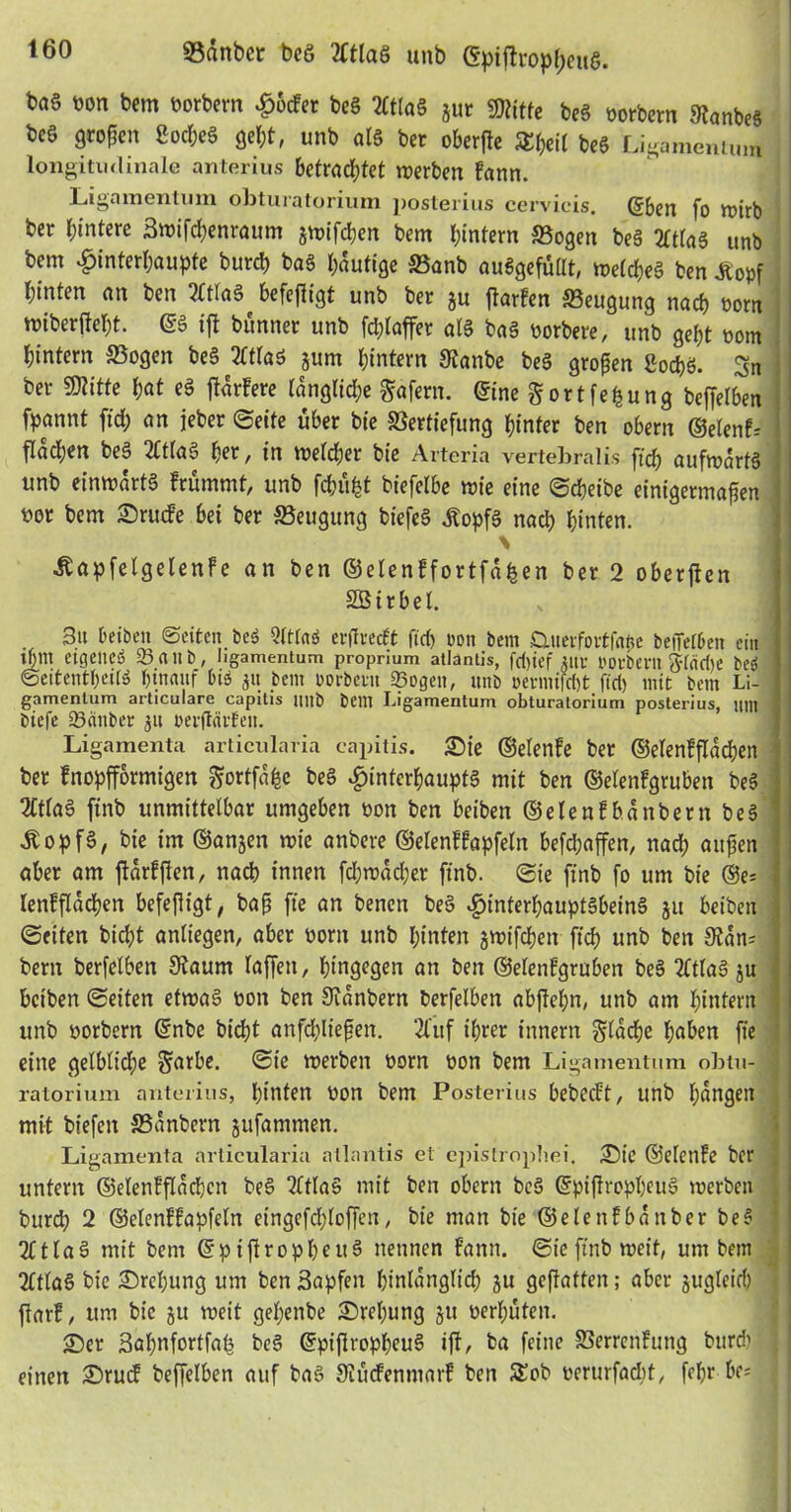 «Sanbcr beö 2Ctlaö unb ©pißropl;euö. ba§ pon bem oorbern £6cfer beS 21tlaS jur Mitte beö porbern Manbeä beö großen 8od;eS gel)t, unb als bet oberße tyeil beö Ligamentum longitudinale anterius betrautet werben fann. Ligamentum obturatorium posterius cervicis. ©ben f0 n>trb bet hintere 3wifd)enraum swifeßen bem hintern Vogen beä tftlaä unb bem «Hinterßaupte burch baS häutige Vanb auSgefüllt, welches ben £opf hinten an ben Ztlaö befeßigt unb bet ju ßarfen Beugung nach oom nüberßeßt. es ift bunner unb fdßaffer alö baö oorbere, unb geht pom hintern Vogen beS Mas gurrt hintern 3tanbe beä großen ßoehs. Sn ber SKitfe f)at eS ßdrfere ldnglid;e Wafern. Sine Sortierung beffelben fpannt ftd; an jeber ©eite über bie Vertiefung hinter ben obern ©elenf-- flachen beä 2Ctlaö her, in welcher bie Arteria vertebralis ftch aufwärts unb einwärts frummf, unb fehltet biefelbe wie eine ©cheibe einigermaßen por bem £)ru<fe bei ber Veugung biefeä ÄopfS nach hinten. «ftapfelgelenfe an ben ©elenffortfdhen ber 2 oberßen SBirbel. Btt beiben ©eiten beä Qlttaä erßvecft fiep oon bem Oiuerfortfa^e befiet&en ein if)m eigenes Sattb, Iigamentum proprium atlantis, fd>ief jitt- »orbern fttnehe beä ©eitentheitä hinauf hiä $« bem rorbeim Sogen, ttnb oennifcht fiel) mit bem Li- gamentum articulare capitis ttnb bellt Ligamentum obturatorium posterius, mit biefe Sauber 31t oerftärten. Ligamenta articularia capitis. £)ie ©elenfe ber ©elenfßdchen ber fnopfformigen gortfa^c beä «Hinterhaupts mit ben ©elenfgruben beä 2CtfaS finb unmittelbar umgeben pon ben beiben ©elenf bdnbern beä «RopfS, bie im ©anjen wie anbere ©elenffapfeln befeßaffen, nach außen aber am ßdrfßen, nach innen fd;wad;er finb. ©ie finb fo um bie ®e* lenfßdcßen befeßigt, baß fte an benen beä «Hinterhauptsbeins jit beiben ©eiten bidß anliegen, aber porn unb hinten gwifepen ftch unb ben ^dn* bem berfelben 3?aum taffen, hingegen an ben ©elenfgruben beä MaS ju beiben ©eiten etwas pon ben Sldnbern berfelben abßepn, unb am hintern unb porbern ©nbe bid;t anfcßließen. 2fitf ihrer innern glacpe haben fte eine gelbliche ^arbe. ©ie werben Porn pon bem Ligamentum obtu- ratorium anterius, hinten Pon bem Posterius bebeeft, unb fangen mit btefett Vanbern gitfammen. Ligamenta articularia atlantis et epistropliei. ;0tc ©elenfe ber untern ©elenffldchen beS 21tIaS mit ben obern bcS ©pißroppeuS werben burd) 2 ©elenffapfeln etngefdjloffen, bie man bie ©elenfbdnber beä 2£tlaS mit bem ©ptßropheuS nennen fann. ©ie finb weit, um bem 21tlaS bie Drehung um ben 3apfen hinlänglich §u geßatten; aber jugleicb ßarf, um bie jtt weit gehenbe Drehung ju Perbuten. £>er Sahnfortfah bcS ©pißroppeuS iß, ba feine Verrenfung bttreb einen 2)rucf beßelben auf baS Sittcfenmarf ben $£ob oerurfaebt, fepr be;