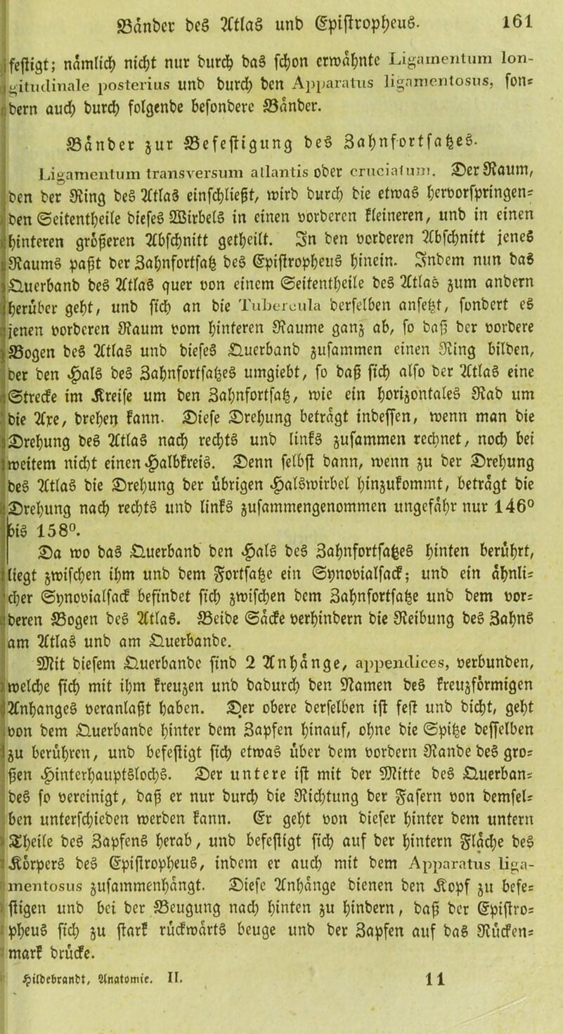 fejligt; ndmlid) ntd;t nur burch baS fd)on ermahnte Ligamentum lon- Igitiulinale posterius unb burd; ben Apparatus ligamentosus, fon* r;bem aud; burd; folgenbe befonberc S3anbcr. ffidnber gur S3efeftigung beS 3al;nfortfa feeS. Ligamentum transversum atlantis ober cruciatum. SerStaum, : ben ber* King beS 2ftIaS einfd)lie£t, wirb burd; bie etwa§ herborfpringen? » ben ©eitentheite biefeS SSirbetS in einen horberen ffeineren, unb in einen »hinteren größeren 2Tbfcb?nitt geteilt. Sn ben herberen ^bfebnitt jenes »StaumS pafit ber 3al;nfortfafe beS (SpijlropheuS hinein. Snbcm nun baS j£luerbanb beS 2ftla6 quer hon einem @eitentl;eile beS 2£tlaö gum anbern i'heruber geht, unb [ich an bie Tubercula berfelben anfeht, fenbert eS Ijenen horberen Staum hom hinteren Staume gang ab, fo bajj ber horbere SSogen beS 2ftlaS unb biefcS £luerbanb gufammen einen Sting bilben, ber ben «£>alS beS 3abnfortfaheS umgiebt, fo bafj fich alfo ber 2ftlaS eine iStrecfe im Greife um ben 3al;nfortfah, wie ein h^ntaleS Stab um 'bie 2fre, brel;en bann. Siefe Drehung betragt inbeffen, wenn man bie oDrehung beS TTttaS nach rechts unb linfS gufammen rechnet, noch bei Imeitem nid;t einen #albfreiS. Senn felbft bann, wenn gu ber Drehung beS 2ftIaS bie Srel;ung ber übrigen «£>alSwirbel l;injufommt, betragt bie 2)rel;ung nach red;tS unb lin!S gufatnmengenommen ungefähr nur 146° big 158°. Sa wo baS £luerbanb ben $alS bc§ SabnfortfafeeS hinten berührt, liegt gwifchen ihm unb bem Sortfafje ein ©pnohialfacf; unb ein dhnlL eher ©pnobialfad beft'nbet fid; gwifchen bem 3ahnfortfafje unb bem bor; iberen S3ogen beS 2ltlaS. SSeibe ©aefe herhinbern bie Steibung beS 3ahnS am 2ftIaS unb am Suerbanbe. SOtit biefem Suerbanbe finb 2 2fnhange, appentlices, herbunben, I welche fich mit il;nt freugen unb baburd; ben Stamen beS freugförmigen Anhanges heranlafjt haben. Ser obere berfelben ijl feft unb bidjt, geht jhon bem Suerbanbe hinter bem 3apfen hinauf, ohne bie ©pi^e beffelben Igu berühren, unb befejligt fich etwas über bem horbern Stanbe beS gro= Ifien «£>interhaupt§lod;§. Ser untere ift mit ber SJtitte beS Suerbam beS fo bereinigt, baf; er nur burd) bie Stiftung ber gafern hon bemfeL ben unterfd;ieben werben bann. (Sr geht hon biefer hinter bem untern - Süheile beS SapfenS herab, unb befefifgt fich auf ber hintern glad;e beS 'Äorpcrä beS (SpifiropheuS, inbem er auch mit bem Apparatus liga- Imentosus gufammenhangt. Siefc Anhänge bienen ben «Kopf gu befe= > fügen unb bei ber ^Beugung nad; hinten gu hinbern, bafü ber (Spijlro= * pheuS fid; gu ftarf rücfwartS beuge unb ber 3apfen auf baS StücFen= mar! brütfe. 1 J^ifbebrantt, Stnatomie, II. 11