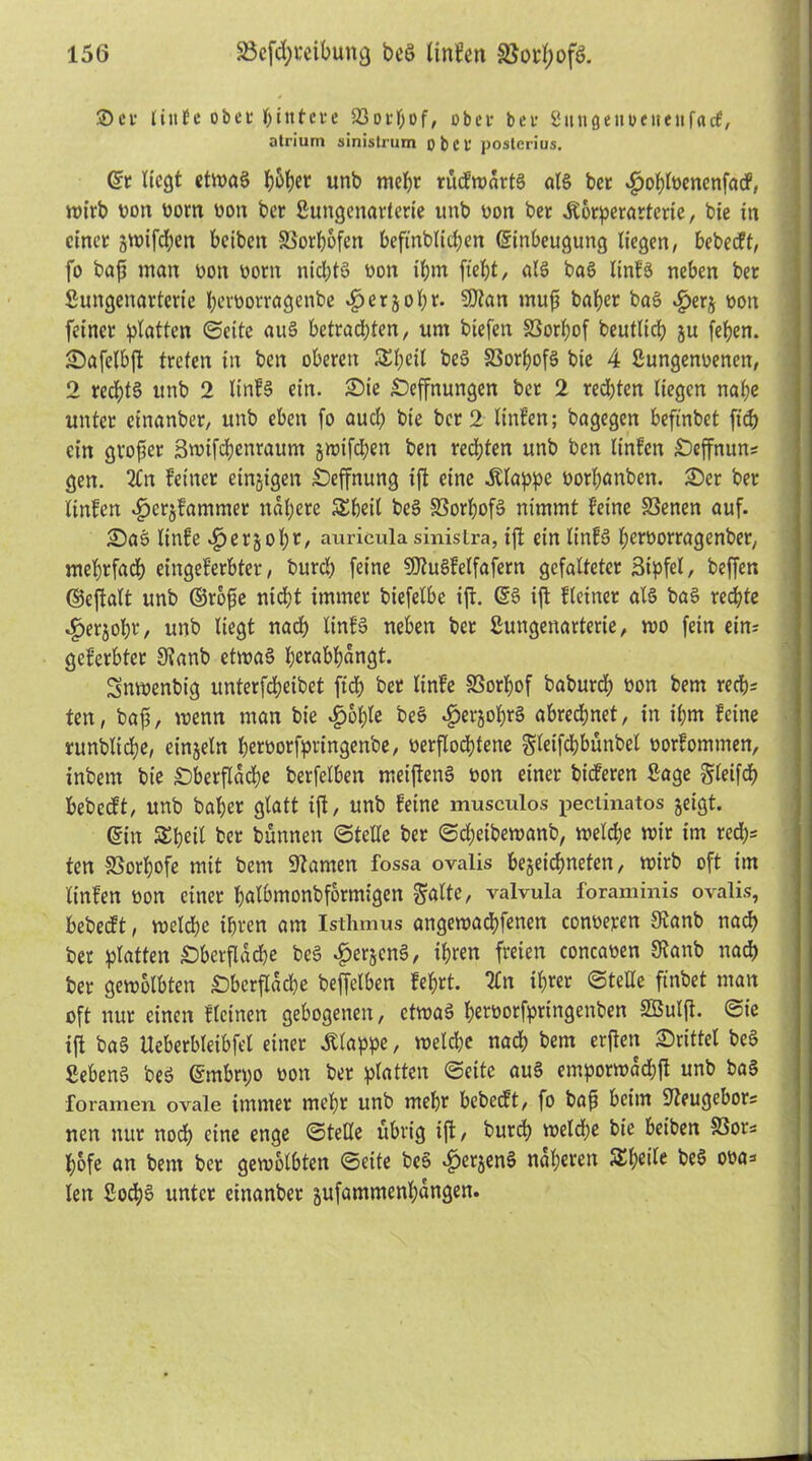 ©n* liitfe ob cf ßitttcre 23orßof, obec bcf 2 u « g e uocimifatf, atrium sinistrum obcf poslerius. Er Hegt etwas ßbßer unb mehr rucfwdrtS als ber ^oßlocncnfacf, wirb Dort Dom Don ber ßungenarterie unb Don bet Äorperartcrie, bie in einer jwifeßen beiben SSorßofen befinblid;en Einbeugung liegen, bebeeft, fo baß man Don Dom nichts Don ißm ftel;t, als baS linfS neben ber ßungenarterie ßerDorragenbe «gjerjoßr. SDian muß baßer baS $erj Don feiner glatten ©eite aus betrachten, um biefen SBorßof beutltcß ju feßen. Safelbß treten in ben oberen SSßeit beS 23orßofS bie 4 ßungenoenen, 2 recßtS unb 2 linfS ein. Sie Seffnungen ber 2 reeßten liegen naße unter einanber, unb eben [o aueß bie ber 2 linfen; bagegen beftnbet fii% ein großer Swifcßcnraum jwifeßen ben reeßten unb ben linfen £)effnuns gen. Tin feiner eitrigen Seffnung iß eine klappe Dorßanben. Ser ber linfen ^crjfammer ndßere $£ßeil beS SSorßofS nimmt feine S3enen auf. SaS linfe «£>er§oßr, auricula sinistra, iß ein linfS ßerDorragenber, meßrfaeß eingeferbter, bureß feine SDtuSfelfafern gefalteter ßipfel, beßer. ©eßalt unb ©rbße nießt immer biefelbc iß. ES iß fleiner als baS reeßte «£>erjoßr, unb liegt naeß linfS neben ber ßungenarterie, wo fein ein; geferbter 9?anb etwas ßerabßdngt. Snwenbig unterfdßeibet fidß ber linfe SSorßof baburd; Don bem recß= ten, baß, wenn man bie #oßle beS ^erjoßrS abreeßnet, in ißm feine runblicße, einzeln ßeroorfpringenbe, oerßoeßfene gletfcßbünbel oorfommen, inbern bie Sberßacße berfelben meißenS Don einer tieferen ßage gleifcß bebccft, unb baßer glatt iß, unb feine musculos pectinatos jeigt. Ein SSßeil ber bunnen ©teile ber ©eßeibewanb, welcße wir im red)* ten SSorßofe mit bem tarnen fossa ovalis bejeießneten, wirb oft im linfen Don einer ßalbmonbformigen gatte, valvula foraminis ovalis, bebeeft, weldje ißren am Isthmus angewaeßfenen conDeren Stanb naeß ber platten £)berßdcße beS £er§cnS, ißren freien concaoen Sftanb naeß ber gewölbten Sberßdcße beffclben feßrt. Tin ißrer ©teile ftnbet man oft nur einen ffeinen gebogenen, etwas ßerDorfpringenben SBulß. ©ie iß baS Ueberbteibfel einer klappe, welcße naeß bem erßen Srittel beS ßebenS beS Embrpo Don ber platten ©eite auS emporwdeßß unb baS foramen ovale immer meßr unb meßr bebeeft, fo baß beim STeugebors nen nur noeß eine enge ©teile übrig iß, bureß wetd;e bie beiben S3ors ßofe an bem ber gewölbten ©eite beS ^erjenS naßeren SSßeile beS ooa=< len ßocßS unter einanber jufammenßdngen.