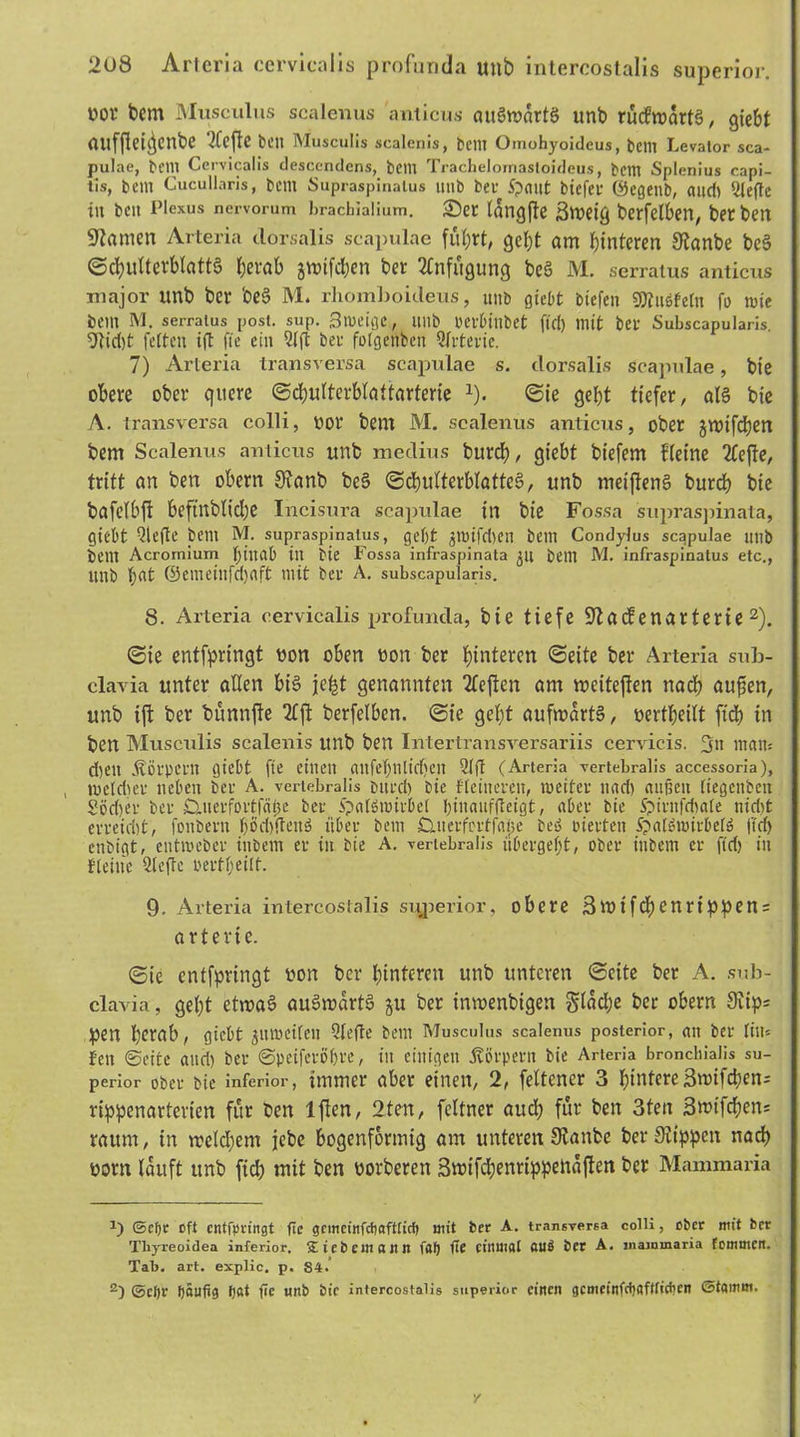 vor bern Musculus scalenus anticus auSwartS unb rücfwartS, giebt aufftei^enbe Tiefte bcn Musculis scalcnis, bellt Omohyoideus, bcm Levator sca- pulae, bcm Cervicalis desccndcns, bcm Tracheloinastoideus, bcitt Splenius capi- tis, bcm Cucullaris, bcm Supraspinalus unb ber Spant btefei öegeub, audi Tiefte iit beit Plexus nervorum brachialium. ©er langte Bweig berfelben, ber ben tarnen Arteria dorsalis scapulae führt, geht am hinteren 9tanbe bcS Schulterblatts herab jwifcben ber Anfügung beS M. serratus anticus major unb ber beS M. rhomboideus, unb giebt bicfcn 20?uöfeCn fo wie t)C1U M. serratus post. sup. 3meigc, ltltb Oev&tllbet fiel) mit bei- Subscapularis. 9lid)t fetten ift fte ein Tlft ber fotgenben örterte. 7) Arteria transversa scapulae s. dorsalis scapulae, bie obere ober quere ©chulterblatfarterie 1). (Sie geht tiefer, als bie A. transversa colli, oor bem M. scalenus anticus, ober jwifchen bem Scalenus anticus unb medius burch, giebt biefem Keine Tlejle, tritt an ben obern 3?anb beS Schulterblattes, unb meiftenS burch bie bafelbft beftnbliche Incisura scapulae in bie Fossa supraspinata, giebt Qlefte bem M. supraspinalus, get)t anufeben bem Condylus scapulae unb bem Acrornium l)tnctO in bie Fossa infraspinata 31t bem M. infraspinatus etc., unb hat @emeinfcf)«ft mit bei' A. subscapularis. 8. Arteria cervicalis profunda, bie tiefe 9?atf enarterie 2). Sie entfpringt von oben non ber hinteren (Seite ber Arteria sub- clavia unter allen bis jefct genannten Tieften am weiteren nach außen, unb ift ber bünnfte Tlft berfelben. (Sie geht aufwärts, verteilt ftcb tn ben Musculis scalenis unb ben Intertransversariis cervicis. 3« man: d)ett ÄÖipCM gtebt fte einen aitfebulid)en Qlff (Arteria vertebralis accessoria), metdtei neben bei A. vertebralis buid) bie fleiueieu, tu eitel nad) außen (iegeitbcn Söchei bei O-Ueifoitfätje bei Spalötniibet binauffteigt, abei bie Spiinfdiale nidit eneidit, fonbein fjöd)ften3 iibei bem Cuieifcitfape beS Dielten SpaläwitbefS ftd) enbigt, entmebei ittbem ei iit bie A. vertebralis übeigef;t, obei ittbern ei ftd) in fteilte Tiefte »eitljeilf. 9- Arteria intercostalis superior, obere 3wifchenrippen = arterie. Sie entfpringt von ber hinteren unb unteren (Seite ber A. sub- clavia, geht etwas auSwartS ju ber ittwenbigen flache ber obern 3iips pen herab, giebt jiu»etfen Tiefte bem Musculus scalenus posterior, an bei litt* fen ©eite and) bei ©peifeiöfjie, iit einigen Äöipent bie Arteria broncblalis su- perior obei bie inferior, immer aber einen, 2, feltener 3 pintere 3wifcpen= rippenartevien für ben lflen, 2ten, feltner auch für ben 3ten Swifc&en* raum, in welchem jebe bogenförmig am unteren Stanbe ber Sitppen nach vorn lauft unb fich mit ben vorberen Bwifdhenrippettäjien ber Mammaria *) @cf)r oft cntfpvingt fte gcmcinfctjaftticf) mit ber A. transversa colli, ober mit ber Thyreoidea inferior. »Eiebcmann fOl) fte einmal flUii ber A. jnammaria fommcn. Tal>. art. explic. p. S4. 2) ©cljr häufig fjat fte ttnb bie intercostalis superior einen gcmeinfchnffficben ©tamm.