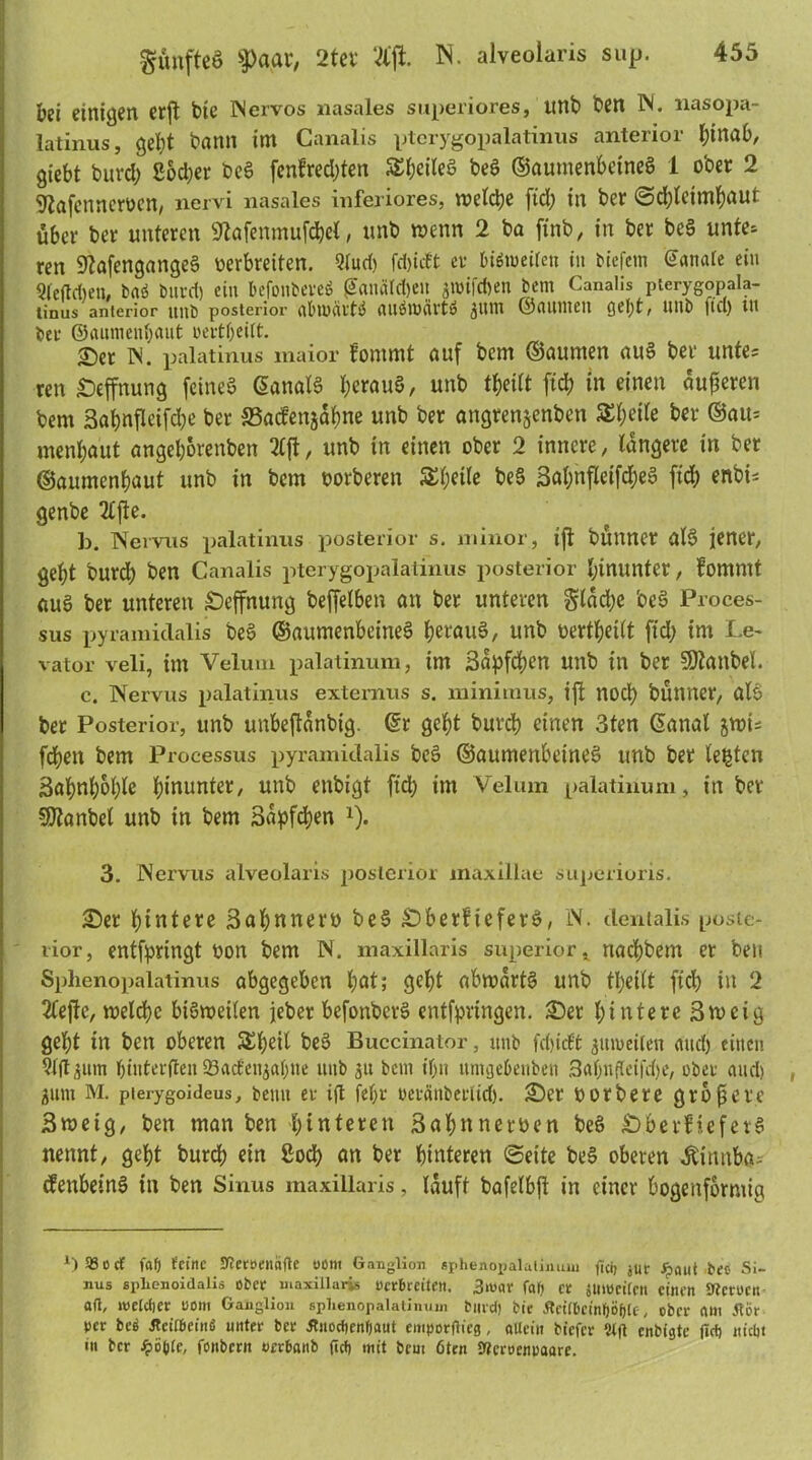 günfteö sPaar, 2tev Vl'ft N. alveolaris sup. bei einigen erft bie INervos nasales superiores, unb beit IN. nasopa- latinus, gel;t bann im Canalis ptcrygopalatinus anterior ^tna6r giebt burd; £od;er beg fen£red;ten 5£i;eileö beg ©aumenbeineg 1 ober 2 Sßafennerven, nervi nasales inferiores, tveicbe ftd; in ber Schleimhaut über ber unteren 9tofenmufc&el, unb wenn 2 ba ftnb, in ber beg unte* ren SftafengangeS verbreiten. 2lud) fd)tcft er btötueifeu in tiefem ©anafe ein Qfeftcben, taö burd) ein befonbereS (5anärd)eu jtoifeben bem Canalis pterygopala- tinus anterior Ultb posterior rtt'UJCivtö (Ulömäl'tö ^tMt ©(UtUtett gel)t, ttllb ftd) Ul ber ©aunienbaut vertOeitt. £)et IN. palatinus maior fontmt auf bem ©aunten aug ber unte? ren £>effnung feineg ©analg heraus, unb tbeilt ftd? in einen äußeren bem 3abnfleifd;e ber S3acfenjäf)ne unb ber angrenjenben 5£f>eile ber ©au* menbaut angeborenben 2Cft, unb in einen ober 2 innere, längere in ber ©anmenbaut unb in bem vorberen Steile beg 3al;nfletfd;eg ftd? enbi- genbe 2£fte. b. Nervus palatinus posterior s. minor, ift bünner alg jener, gebt burd) ben Canalis pterygopalatinus posterior hinunter, fomntt nuS ber unteren £)effnung beffelben an ber unteren gläd;e beg Proces- sus pyramidalis beg ©aumenbeineg beraug, unb Verteilt ftd; im Le- vator veli, im Velum palatinum, im Säpfcben unb in ber SOtanbeL c. Nervus palatinus externus s. minimus, ift noch bünner, alg ber Posterior, unb unbeflänbig. ©r gebt burd? einen 3ten ©anal ywu fd?en bem Processus pyramidalis beg ©aumenbeineg unb ber legten 3abnb&l;le hinunter, unb rnbigt ftd; im Velum palatinum, in ber SDtanbel unb in bem 3äpfd?en l). 3. Nervus alveolaris posterior maxillae superioris. 2)er hintere 3abnnerv beg £)berfteferg, IN. dentalis poste- rior, entspringt von bem N. maxillaris superior t naebbem er ben Sphenopalatinus abgegeben Ijat; gebt abivärtg unb tbeilt ftd; in 2 2lejlc, tveld)c bigweilen jeber befonberg entfpringen. 2)er hintere 3meig gel;t in ben oberen 5£l;eil beg Buccinator, unb fdjicffc juweilen and) einen Slfiium binterflen 5Bad'enjal;ne unb ju bem if;tt tmnjebenben .3a(?n(leifd)e/ ober and) gum M. pterygoideus, beim ev ift fel;r oeranberlid). 2)er vorbere größere 3meig, ben man ben hinteren 3al;nnerven beg b&erfiefetg nennt, gebt burd? ein 8od> an ber hinteren ©eite beg oberen Äittnba- (fenbetng in ben Sinus maxillaris, lauft bafelbft in einer bogenförmig x) 58 o cT fab feine 9ters>enafte ußm Ganglion sphenopalaliniuu fidj jur Jpailt beß Si- nus «iilienoidalis ober maxillaris ucrfirciten. 3mar fafi er jiwcilen einen SWcmii a(l, welclier t>om Ganglion splienopalatimun burd) bie flci(l>cinl)i>f)le, ober am Jtör per beit JTcitbeinö unter ber Jt»od)enf)aut emporftieg, allein biefer 2tfl enbigte (Id) nidu in ber £ö()(c, fonbent oerbanb ftef) mit bem 6ten S^eroenraare.