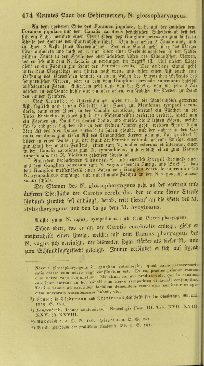 9(n bem vovbereit Qntbe bei Foramen jugulare, b. f). auf bcv ^roifdjeu bern Foramen jugulare unb bcm Canalis caroticus 6efftib[td)en ©djeibetvanb befinbet ftd) ein 2od), meld)ei einen Ütervenfaben bei Ganglion petrosum 311m hinteren &()ei(e bei 93obeni bev ^aufenf;ö()(c führt. 23on (;iet* geben 2 Kanäle aui, nnb in ihnen 2 Qlefte jeitei 91ervetifaben$. Der eine ßattal gebt übet* b(ti Borges birge nnfiuärti nnb nad> vorn, unb führt einen 93evbtnbung$faben tu ben gallo» pifdjett Sana! ju bev ©teile bei oberf!äd)lid)en Qlflei bei S3ibiauifd)eu Heroen, tvo et- ftd) mit bem N. facialis jn vereinigen im Söegviff ift. Qluf biefem 2ßege giebt er ein gäbd)en gut* Spant bev Fenestra ovalis. 2)ev anbere Sana! gebt unter bcm SSvrgebirge von hinten nad) vorn, unb führt einen Qfft bnvd) eine öeffnitng bei @arottfrf)en @anat» 411 einem gaben bei @arotifd)en ©efled)ts bei ft)inpatbtfd)en SRerben, Ober JU bem bom Ganglion cervicale supremum bafelbft nuffteigenben gaben. Qlufserbcm gef)t nod) von bev ©teile, 0011 mo jene 2 Sa« ttald)en in bev ^>attfeuf)öf)fe aui eiitanber geben, ein gäbdjett bei Dleroett jnrSpaut bei vunbett genfteri. gr^ad) Qlrnolbi *) Untevfud)itngeu giebt ber in bte ^auEenboble getretene 91fl, fogleid) nad) feinem Eintritte einen 3mcig jnr Membrana tympani secun- daria, bann einen 3meig in ben Canalis caroticus, hierauf ein gäbd)ett in bie Tuba Eustachii, meld)ei ftd) in ben ©rijleimbriifen berfelbeu verliert, fdjicft nun ein gcibd)ett jur Spant bei ovalen $!od)6, unb enblid) bie 2 lebten gäben, tveld)e ftd) jo ettbigen, bafj ber eine 311 bem flehten iviioten geht, tveldjett 9frnolb am 3ten Q#t bei 5ten fPaari entbeeft 31t haben glaubt, unb ber anbere in beit Ca- nalis caroticus 311m tiefen 91fl bei 33ibianifd)eu Nerven gelangt. SangenbecE z) bilbet in einem galle 3 $u ber Spant ber Fenestra rotunda gchettbe 3tveige, einen ittv Spant bei ovalen genfteri, einen 3U111 M. mallei externus et internus, einen tn betl Canalis caroticus jum N. sympathicus , utlb Cltblid) eilten jltm Ramus superficialis bei N. Vidianus gehcitbett 3tVeig ttb. Qlufterbem beobad)teten 9hiberfd) s) unb netterlid) Spuket (brcimal) einen aui bem Ganglion petrosum 311111 N. vagus gehenben 3t»eig, unb 23 o cc V, bap bai Ganglion meiffeiltheili einen gaben vom Ganglion cervicale Supremum bei N. sympathicus empfange, ttttb unbeflimmte gäbrijeit an beit N. vagus unb acces- sorius fdjicEe. ©er ©tamm t>e§ N. glossopharyngeus geht an ber oorberen unb äußeren Oberfläche ber Carotis cerebralis, ber er eine Heine ©treefe htnburch ziemlich fejt anhangt, herab, tritt hierauf an bie ©eite beS M. stylopharyngeus unb oon ba ju bem INI. hyoglossus. 9fefte 3 n 11t N. vagus, sympathicus utlb 3tt 11t Plexus pharyngeus. ©chon oben, mo er an ber Carotis cerebralis anliegt, giebt er meijlenthciK einen 3weig, welcher mit bem Ramus pharyngeus be§ N. vagus ftd) ocrcinigt, ber bisweilen fogar jlarfer at§ biefer ift, unb jum ©d)lunbfopfgefIed)t gelangt. Snimer oerbinbet er ftd) auf irgenb Nervus glossopharyngeus in ganglion intmnescit, quod ramo transversarxo satis crasso cum nervo vago conjunctum est. Ex .. praeter prunu.n rainuin cum nervo vago conjunctum, bis alium ramum prodxre Txdx, qux « « ^ caroticxim intrans in hoc canali cum nervo sympathxco et faexatx conju . Tertius ramxts ad carotidem facialein descendens rarnos ejxxs comxlatur spe- ciem nervorum vasculosorum liatet, etc. strnotb in £iebem«Hit mtb 51 rcoir«n»i ScitWrif» für bic »b.ni. 1829. @. 150. 2) Langenbcck, Icones anatoinicae. Neurologia Fase. III. Tab XXV. bis XXVIII. *) «nberfdt a. <1. O. ©. 116. £irjet «• «• O* ®- 231 SB 0 cf, ^anbbud) ber prattifdicn «itatomic. ®S. 1. ®- XVII XVIII.