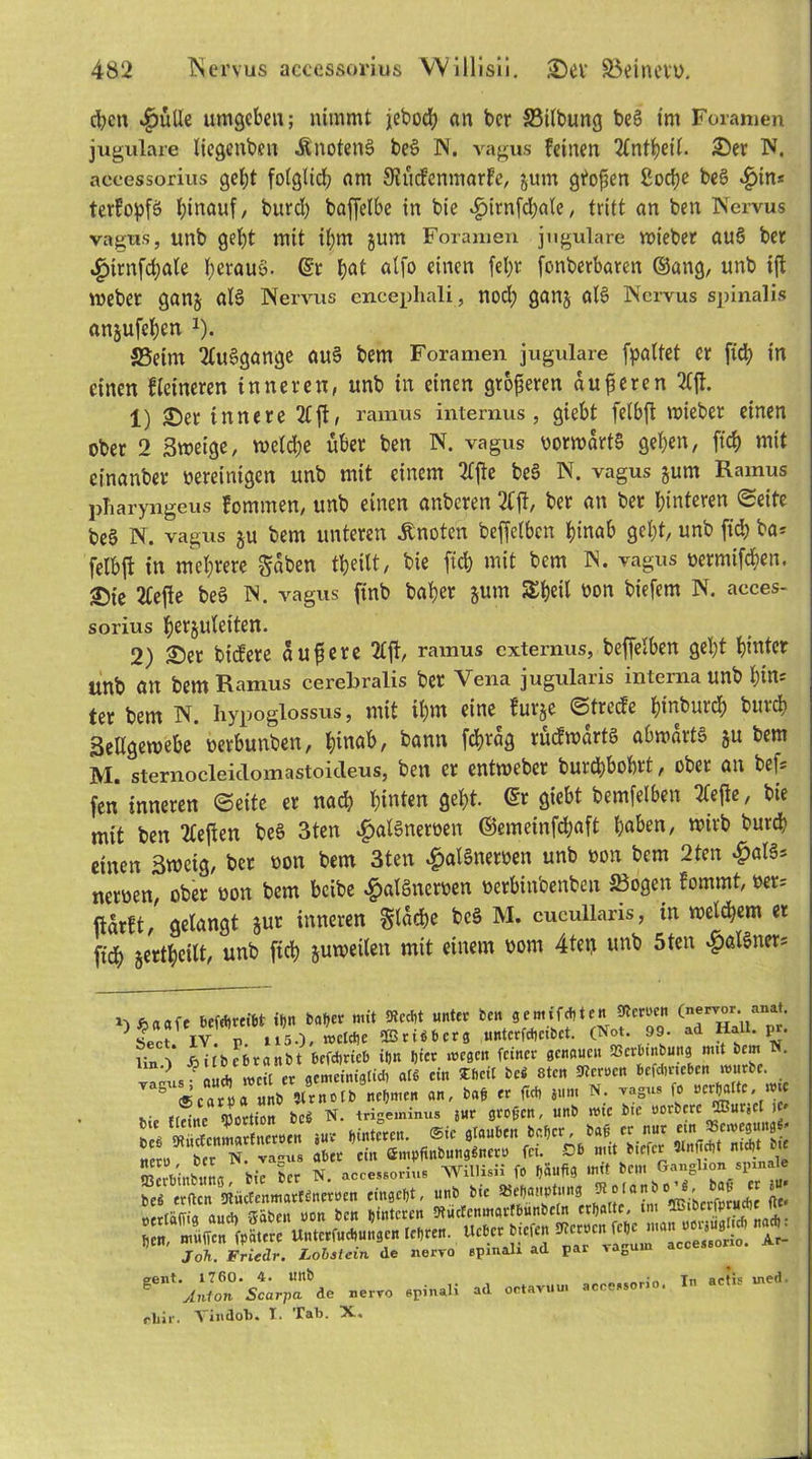 d?cn «gjülle umgeben; nimmt jebodj an ber Silbung be§ im Foramen jugulare liegenben ÄnotenS be£ N. vagus feinen 2£ntf>ei(. 2)er IV, accessorius gebt fotgttef? am SHücfenmarfe, gum gtoßen ßorf>c be§ $in« terfo^fö hinauf/ burd) baffelbe in bie ^>irnfd;afe, tritt an ben Nervus vagus, unb gebt mit ibm gum Foramen jugulare mieber au6 ber $itnfd)ale b^auö. 6t bat atfo einen febr fonberbaren ©ang, unb ift mebet gang al3 Nervus encephali, nod) gang als Nervus S])inalis anjufeben J). S5eim 2lu§gange au§ bem Foramen jugulare fpaltet er fid) in einen fieineren inneren, unb in einen größeren äußeren 2fjt. 1) «Der innere 21 ft, ramus internus, giebt felbft mieber einen ober 2 Smeige, welche über ben N. vagus oormartS geben, ft'cf) mit einanber oereinigen unb mit einem 2lfte be§ N. vagus gum Ramus pTiaryngeus fommen, unb einen anberen 2Cjt, ber an ber hinteren «Seite be§ N. vagus gu bem unteren knoten beffetben hinab gebt, unb fid) ba* felbft in mehrere gaben tbeitt, bie fid) mit bem N. vagus oermifeben. 2)ie 2Cefte beö N. vagus finb baber gum 5£beil oon biefem N. acces- sorius berjuleiten. 2) £>et biefere äußere 2lft, ramus externus, beffetben gebt hinter unb an bem Ramus cerebralis ber Vena jugularis interna unb W- ter bem N. hypoglossus, mit ihm eine furge ©treffe binbureb burd) 3ellgemebe oerbunben, hinab, bann febrag rücfmartö abwärts gu bem M. sternocleiclomastoicleus, ben er entmeber burd)bobrt, ober an bef* fen inneren ©eite er nach hinten gebt, <Sr giebt betreiben 2lefle, bie mit ben 2lefien beS 3ten ^>al§neroen ©emeinfdjaft haben, wirb burd? einen 3meig, ber oon bem 3ten £al§neroen unb oon bem 2ten #al§= neroen, ober üon bem beibe #al6nerwn »erbinbenbeu S3ogen fommt, ber* ftarft, gelangt gut inneren $lad?e be§ M. cueullaris, in weldjem et fidb gertbeilt, unb fid) gumeilen mit einem oom 4 teil unb 5ten «gjalSners i'.Äaftft Betreibt if>n baB« mit 5tecBt «nt« ben gemtfebten SUernn «ne^or anat. Sect. IV. P. ii5.), welche SSriti b er g unterfcBeibet. (Not. 99. ad Hall. p*. \in^ Ailbcbranbt bcfdirieb iftn Bier wegen feiner genauen SSerbinbuitg mit bem N. ° « weil er acmeiniglid) als ein Tftcil be* 8ten SReroen befdmeben würbe. Ä ««TU«» an, baß er fid, N. t.*» fo »erjatte. wie hip {feine Portion beS N. trigeminus jur großen, unb wie bie oorbere Oßurjcl )C' ttcro ber N. vasus aber ein ömpfinbung«nero fei. Db mit biefcr StnjicBt n # Job. Friedr. Lobstem de nervo gpinali ad par -*acui gent. 1760. 4. «nb jlnion Scarpa de nervo spinal» rhir. Vindot). I. Tab. X, ad octavuui aceessono. In actis uied.