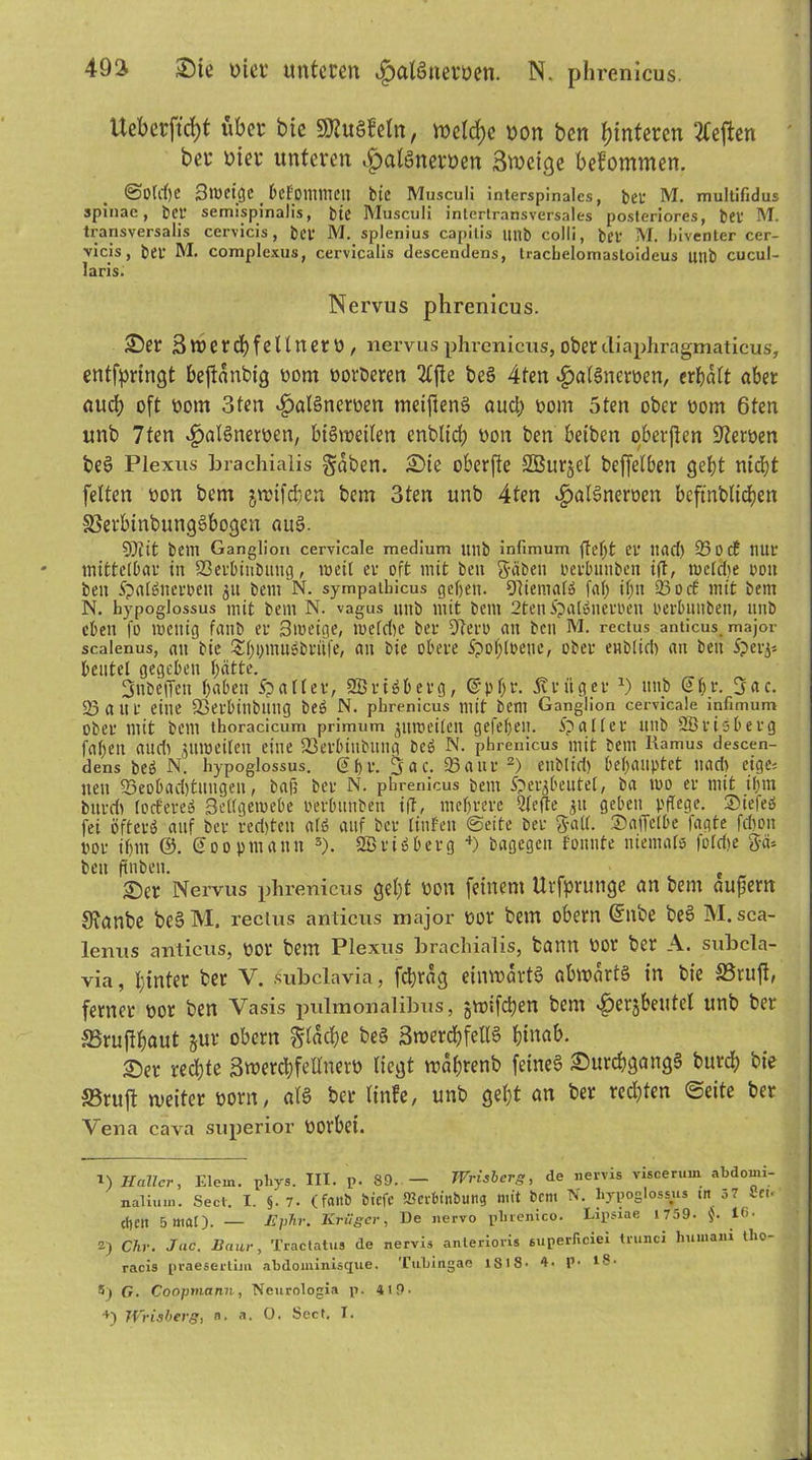 Ueberficht übet* bic 9J2ui?fetn, ti?clcf>e non ben Hinteren heften bet* hier unteren «fpalöneruen Bvocige bekommen. @0td)0 SlVftgc _ hcFollllTICU bic Musculi interspinalcs, bei' M. multifidus spinae, bet* semtspinalis, bic Musculi intertransversales posteriores, bei' M. transversalis cervicis, bet M. splenius capitis unb colli, bei' M. biventer cer- vicis, bei’ M. complexus, cervicalis descendens, trachelomastoideus unb cucul- laris. Nervus phrenicus. Ser Sroercbfetlnetü / nervus phrenicus, obercliaphragmaticus, entfpringt beftanbtg t>om oorberen 2£fte be§ 4ten £>al§nerüen, erf)d(t aber auch oft Dom 3fen $al§ncroen meifleng aud; oom 5ten ober bom 6ten unb 7fen ^afönerbetp bisweilen enbltrf; bon ben betben oberften Serben bes> Plexus brachialis gaben. Sie oberfle Sßurjel beffelben gebt nicht feiten bon bem jwifchen bem 3ten unb 4ten ^>al§neroen bcftnbltcben SSerbinbungSbogcn au§. 93iit bem Ganglion cervicale medium unb infimum CI' Und) 25 0 cf tlUt mittelbar itt 23erl>inDttug, roetl er oft mit beit gäben rerluinbcn i(t, mcldie nou beit Spalöncrbeit 51t bem N. sympatbicus gehen. Niemals faf) ifm 93 d cf mit bem N. hypoglossus mit bem N. vagus unb mit bem 2ten Spalönerpen perbutiben, unb eben fo wenig fanb er 3weige, meldtc ber 5ten> an ben M. rectus anticus. major scalenus, au bie Shi)iitn5imife, an Die obere SpoljtPette, ober enblid) an ben Sperp beutet gegeben hätte. gnbeffen haben patter, 2Bri»berg, ©pljt*. jvriiger J) unb ©hr. gac. 23attr eine 23erbinbung beö N. phrenicus mit bem Ganglion cervicale infimum ober mit bem tboracicum primum zuweilen gefeheit. ipallcr unb SÖrisberg fahen and) jui»eiten eine 23erbinbitng bcö N. phrenicus mit bem Ramus descen- dens öeö N. hypoglossus. ©t)i*. ijac.. 23aur1 2) enblid) behauptet nach eige* nett 23eobad)tungen, Daß ber N. phrenicus bem £>ergbeute(, ba too er mit ihm burd) loctereö Beltgemebe perbitnben ift, mehrere 2(efte 51t geben pflege. Siefeä fei öfter« auf ber redjten atö auf ber linfen ©eite ber galt. Saffelbe faßte fdion por ihm ©. ©oopmann 3). SBt'iöberg 4) bagegen Formte niemals )otd>e gä» beit fttiben. t Ser Nervus phrenicus geht von feinem Urfprunge an bem aujüent Sianbe beSM. rectus anticus major eor bem obern ©nbe beS M. sca- lenus anticus, dop bem Plexus brachialis, bann Dor ber A. subcla- via , hinter ber V. subclavia, fd)rag einwärts abwart§ in bie S3ruft, ferner oor ben Vasis pulmonalibus, gwifeben bem <£)ergbeutet unb ber Srujthaut gut* obern glache be§ 3werd)fell§ hinab. Ser rechte 3merd;feÜ'neru liegt mahrenb feinet SurchgangS burd; bie JBruft weiter oorn, als ber linfe, unb geht an ber redeten ©eite ber Vena cava superior DOl'bei. 1) Haller, Elem. phys. III. p. 89. — Wrisbcrg, de nervis viscerum abdouu- nalium. Sect. I. §.7. (fnttb biefe SBerbtnbtwg mit bem N. hypoglossus tn 57 Sen' thett 5 mal). — JSphr. Krüger, De nervo phrenico. Lipsxae I7a9- $. 16. 2) Chr. Juc. Baur, Tractatus de nervis anlerioris superßeiei trunci humaiu llio- racis praesertim abdominisque. Tuhingae 1S1 S• 4. V- !8- 5) G. Coopmann, Ncurologia p. 419- 4) Wrisberg, a. ». 0. Sect, I.