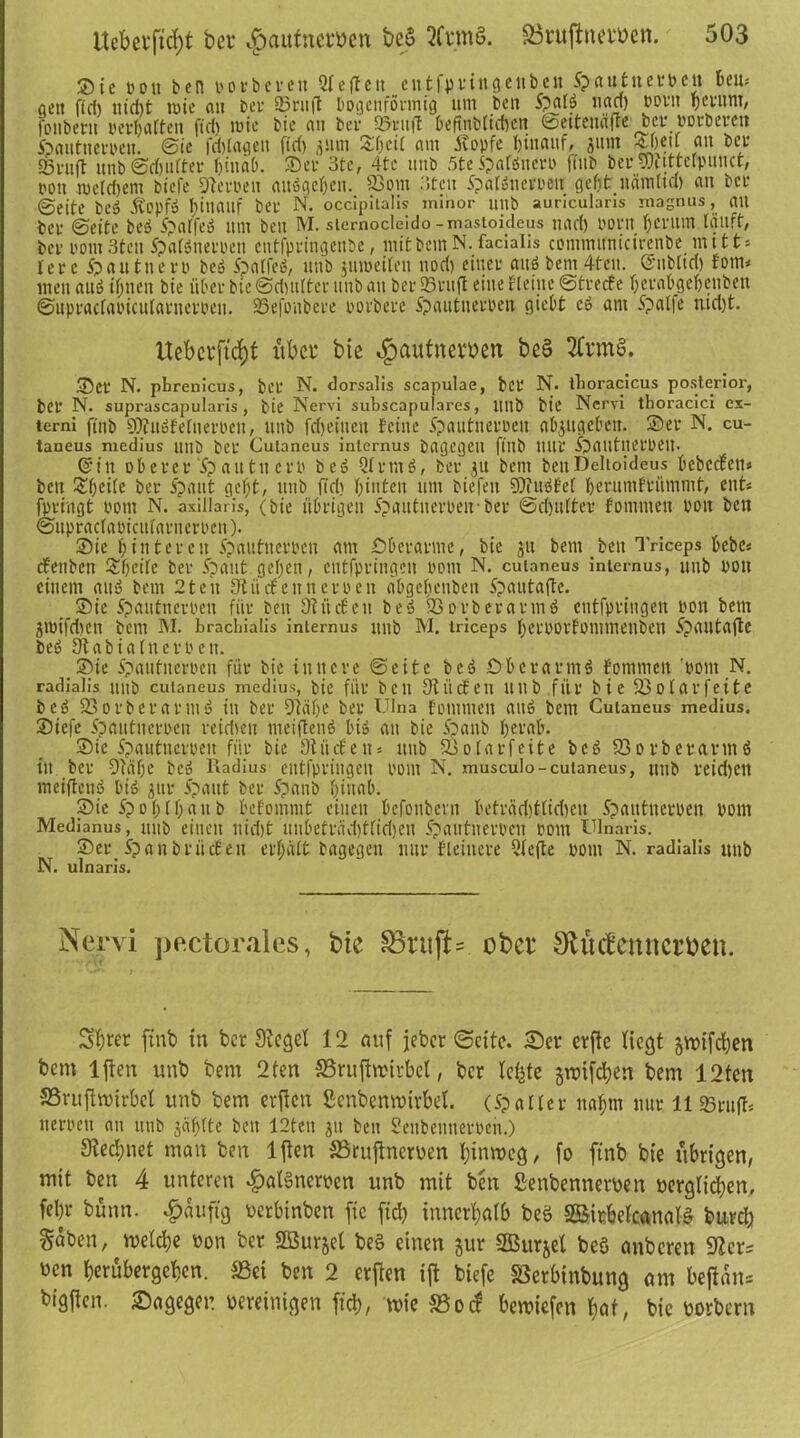 ©ic pott ben porbereit Qleftcit entfpriiigenben Spautnerocit beit* nett fidt utdjt wie au bet* Stuft bogenförmig um beit Spalö uad) pottt petum, foitbcnt perbatten ftd) wie bie an bet’ Stuft beftttbücficn ©eitenäfte bet* portieren fiautner»eit. ©ie fd)I«geit ftd) j»tn £l)cil am Kopfe f)inaiif, 311m -tOeil an bei- sßvuft itnb©d)ulter hinab. ©et 3te, 4te itttb 5teSpalöttero fiub t>ei-$Dfttrelpuncr, bou wcldjent biefe Reiben «uögebeit. 23om ;itcn ipar»«evbeit gefit ttämltd) an bei- seite beö Kopf» hinauf bei’ N. occipitalis minor uilb auricularis magnus , «U bei- ©eite beö 5paffe» um beit M. sternocleido-mastoideus uad) bovit fjenim läuft, bei bont 3ten SpaBneroen cntfpi-ingenbe, mit bent N. facialis contmmticirenbe mitt* lei-c Spaittnero beö Spalfeö, uttb jumeilett nod) eiltet aitö beut 4fett. ©nb(id) fom* inen au» ifjitett bie übet- bie ©dutlter uttb att bet Stuft eine fteilte ©ttecfe Ijetabgebcubett ©uptacfaoiüilartietoeii. Sefonbere potbete Spautitetbeu giebt c» am Spalfe nid)t. tfeberftd&t xtbcr bie ^autneröcn beS 2CrmS. ©et N. phrenicus, bet N. dorsalis scapulae, bet N. thoracicus posterior, bet N. suprascapularis, bie Nervi subscapulares, ltltb bie Nervi thoracici ex- terni ffnb SOtuöBernerocit, uttb fdjeitteit feine ipautitetbeit absugebett. ©et N. cu- taneus medius uttb bet Cutaneus internus bagegett fftlb Ultl* Spautuet’peit- ©itt oberer 'Sp au tu ctb bet? 21 tnt6, bet 31t bent bettDclioideus bcbccfeit* bctt £l)ei(e bet- Spant gcf)t, uttb ftd) Ijinteii um biefett 93>i«dfef betumftümntt, citts fpringt bont N. axillaris, (bie übrigen Spautneroeirber ©djuftet fotnmett bott bett ©upraclaoiculatnerpctt). ©ie I) tut et eit Spautiteepcn am öberarme, bie 31t beut bett Triceps bebe* ifeiibeu ©fjeilc bet Apatit geljett, ctttfptingcit turnt N. cutaneus internus, uttb Pott einem attb bent 2 t eit 9t tief ettn et nett abgefjenbeit Spautafte. ©ic Spautiieroen für bett 9titefeit beö 23 o r b e r a t m $ etitfptingen Pott bent 3wifd)ctt bent M. brachialis internus uttb M. triceps fpetootfommeitben Spautajte beö OtabialnetPeit. ©ie Spautitcrpcu füt- bie innere ©eite bct> 0b erat nt S fommett Pom N. radialis uttb cutaneus medius, bie füt bett 9ttiefeu uttb füt bie 23olarfeite bc<5 23 otbetat’lllu ill bet 9taf)e bet Ulna fommett au6 bent Cutaneus medius. ©iefe Spautucrpcn teidtett meiftenö bi» an bie ipanb Ijctab. ©ie Spautitetpeu fiit bie 9t liefen* uttb 23 o(at feite bet? 23 o tb er arm 6 in bet 9tälje bcö Radius entfpringen tont N. musculo-cutaneus, ttnb teidjctt tneifteuö bi» 3111* Spant bet Spattb Ijiuab. ©ie Spoljlljait b befommt einen befottbern bettäd)tfid)en Spaütuerpett Pont Medianus, itnb einen ttidjt uitbettäd)tlid)cn spautnetben pom Ulnaris. ©er. Spaubtücf ett etfjält bagegett mir fleinete Qlefte Pont N. radialis uttb N. ulnaris. Nervi pectorales, bie SBntfk ober 9tftd:cmtcmn. Sbrer ftnb in ber Siegel 12 auf jebet ©eite. Set erfte liegt gwifdjen bem lften vmb bem 2ten SSrufhrirbel, bet leiste gwifeben bem 12ten SSruftwirbel itnb bem etftcn ßenbenwirbel. (Spalier naljtn mit 11 Stuft* ttetpctt au uttb 3äf)(te bett 12teit 311 bett Senbennetpen.) Stedjiiet man ben lften S3ruftncrv>en Iptnroeg r fo ftnb bie übrigen, mit ben 4 unteren $alSnert?en unb mit bett Senbennetoen üerglicben, feljt bunn. £dufig oerbinben fie ficb innerhalb be§ SSBitbelcanaB burcl; gaben, welche ron ber Sßurget be§ einen gut SGBurjel beö anberen wen betübergeben. *Bei ben 2 erjien ift biefe SSerbinbung am beffan* bigjlen. Sageger. bereinigen ficb, wie SSorf bewiefen bot, bie oorbem