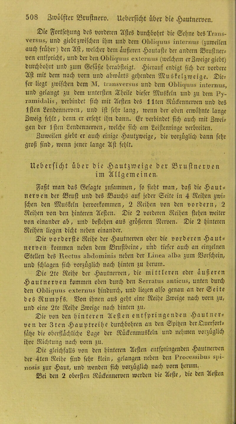 Sie gortfefcung be§ oorberen tlßeS burd)bof;rt bie ©ebne beS Trans- versus, unb giebt jwifeßen ißm unb bem Obliquas internus (guweilen aucl; früher) ben 2Cft, welcher bem äußeren £autaf!e ber anbern SBruftner* bert entflicht / unb ber ben Obliquus externus (welchem er Sweige giebt) burchbobrt unb jum ©efaße ßerabfteigt. hierauf enbigt [ich ber oorbere 2£ft mit bem nach born unb abwärts gehenben SDUtSfeljweige. Sie? [er liegt jwifchen bem M. transversus unb bem Obliquus internus, unb gelangt ju bem unferften S^hetle biefer SJtuSfeln unb ju bem Py- ramidalis, oerbtnbet fiel; mit tieften beS Ilten Stücfenneroen unb beS Iften ßenbenncrocn, unb iß [ehr lang, wenn ber oben erwähnte lange Sweig fehlt / benn er erfeßt ihn bann, @r oerbinbet ftch aud) mit 3weU gen ber Iften Senbenneroen, welche ftd; am Seiftcnringe oerbreiten. Suwetlen giebt er auch einige «£>aufjweige, bie oorjüglicß bann [ehr groß finb, wenn jener lange tlft fehlt. Ueberficf)t über bie ^autjweigc ber S5rujlner»en im Allgemeinen. Saßt man baS ©efagfe gufammen, fo fteßt man, baß bie «fjauts neroen ber SSruji unb beS £3aud;S auf jeber ©eite in 4 Steißen jwb fd;en ben SOJuSFelti ßeroorfommen, 2 Siethen oon ben oorbern, 2 Steißen oon ben hinteren tieften. Sie 2 oorberen Sleihen flehen weiter oon einanber ab, unb befteßen auS größeren Steroen. Sie 2 hinteren Steißen liegen bicht neben einanber. Sie oorberfie Steiße ber «£>autneroen ober bie oorberen ^auts neroen fommen neben bem S3ruftbeine, u’nb tiefer auch an einzelnen ©teilen beS Rectus abdominis neben ber Linea alba junt SSorfcßcin, unb fchlagen ftd) oorjüglicb nadh hinten ju herum. Sie 2te Steiße ber $autnerüen, bie mittleren ober äußeren *£)autncroen fommen oben burch ben Serratus anticus, unten bitrch ben Obliquus externus ßinburd;, unb liegen alfo genau au ber ©eite beS Stumpfs. SSon ihnen auS geht eine Steiße Swcige nad; oorn ju, unb eine 2te Steiße Sweige nach hinten ju. Sie oon ben hinteren ‘tieften entfpringenben ^autuers oen bet 3ten ..fjauptreiße bureßboßren an ben ©pißen bcr£luerforts faße bie oberflächliche Sage ber StüdenmuSfeln unb nehmen oorjüglicß ihre Stichtung nach oorn ju. Sie gleichfalls oon ben hinteren tleßen entfpringenben ^autneroen ber 4ten Steiße ftnb [ehr fleiu, gelangen neben ben Processibus spi- nosis jur «£>aut, unb wenben ftd) oorjüglid; nach oorn herum. 23ei ben 2 oberflen Stücfenneroen werben bie tleße, bie ben tieften