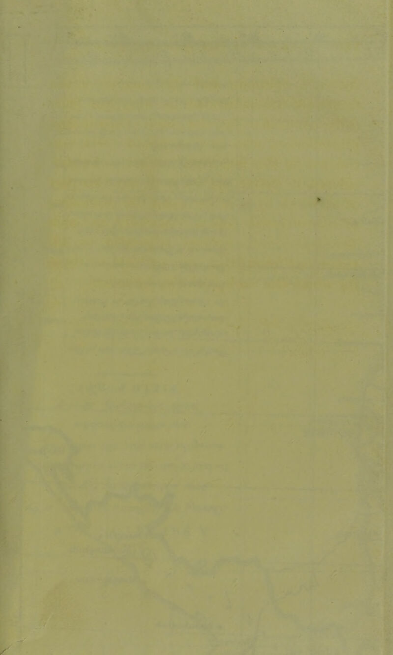 _ . * .- ~ ii». ^■‘ ! ^1?:. > *V ‘ ^ ' V ’ i'. ^. ,A^-, , ^ •* -.<■» ’ •*• •- tjj**Y ' * • i* . A — > '* ^ ■r'i>“^‘^-:'''' ir.^/-''i»' RiT. s: •»' -ma** •. , -. - ‘ •jV- |:tT ^. ., ,, .' i. ^■—4-. '• •.•i».*•*.■;• r'/''4r-, •' uLK - ••■ -- .-v.'“*’- -f' ’X' -. I'i M'. ft.3.=5 1 ^ -9 ^ r» ’•* - • ■''j 'S^^‘.'*'i^^ ^ - . . • . 4 . - ^ r. .• '*• . * ^1 ijey, ,•_ > >.J ’■-■ 4-' V4-F - **‘4^^ • ' . , ,' ^ *j/i* fj 'A -- ■ * jT^ ' „. ';. '■ K ■ - * 5'^- j ..: ;. ' •i«r» *- ;* *. •-■ A •■ 'f IP/l2jF \ <’■■■* .^~'^ 1 ^ 'S' •..iWr»*-«t‘ . ' * ^ -. f- ^ .. ^ y-* ■ jw ' ^'■■ vF-'-i- I ,•* iH  - : tr^ - V t « jyH ■ '■