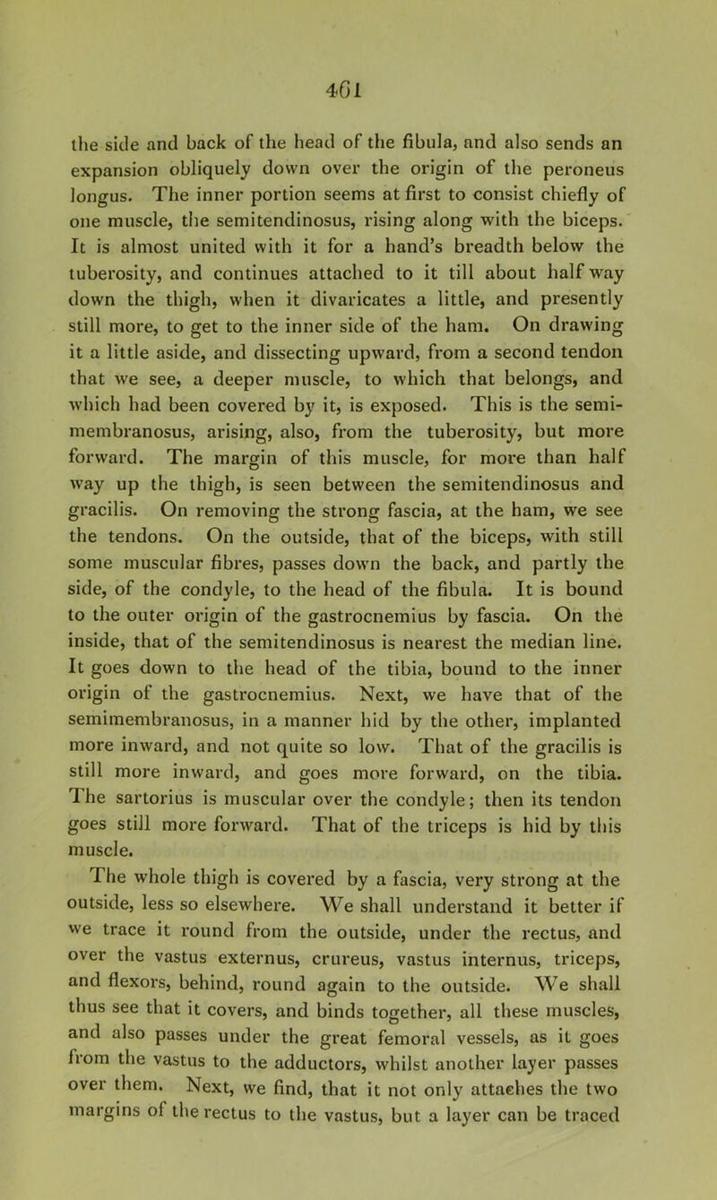 the side and back of the head of the fibula, and also sends an expansion obliquely down over the origin of the peroneus longus. The inner portion seems at first to consist chiefly of one muscle, tlie semitendinosus, rising along with the biceps. It is almost united with it for a hand’s breadth below the tuberosity, and continues attached to it till about halfway down the thigh, when it divaricates a little, and presently still more, to get to the inner side of the ham. On drawing it a little aside, and dissecting upward, from a second tendon that we see, a deeper muscle, to which that belongs, and which had been covered by it, is exposed. This is the semi- membranosus, arising, also, from the tuberosity, but more forward. The margin of this muscle, for more than half way up the thigh, is seen between the semitendinosus and gracilis. On removing the strong fascia, at the ham, we see the tendons. On the outside, that of the biceps, with still some muscular fibres, passes down the back, and partly the side, of the condyle, to the head of the fibula. It is bound to the outer origin of the gastrocnemius by fascia. On the inside, that of the semitendinosus is nearest the median line. It goes down to the head of the tibia, bound to the inner origin of the gastrocnemius. Next, we have that of the semimembranosus, in a manner hid by the other, implanted more inward, and not quite so low. That of the gracilis is still more inward, and goes more forward, on the tibia. The sartorius is muscular over the condyle; then its tendon goes still more forward. That of the triceps is hid by this muscle. The whole thigh is covered by a fascia, very strong at the outside, less so elsewhere. We shall understand it better if we trace it round from the outside, under the rectus, and over the vastus externus, crureus, vastus internus, triceps, and flexors, behind, round again to the outside. We shall thus see that it covers, and binds together, all these muscles, and also passes under the great femoral vessels, as it goes from the vastus to the adductors, whilst another layer passes over them. Next, we find, that it not only attaches the two margins of the rectus to the vastus, but a layer can be traced