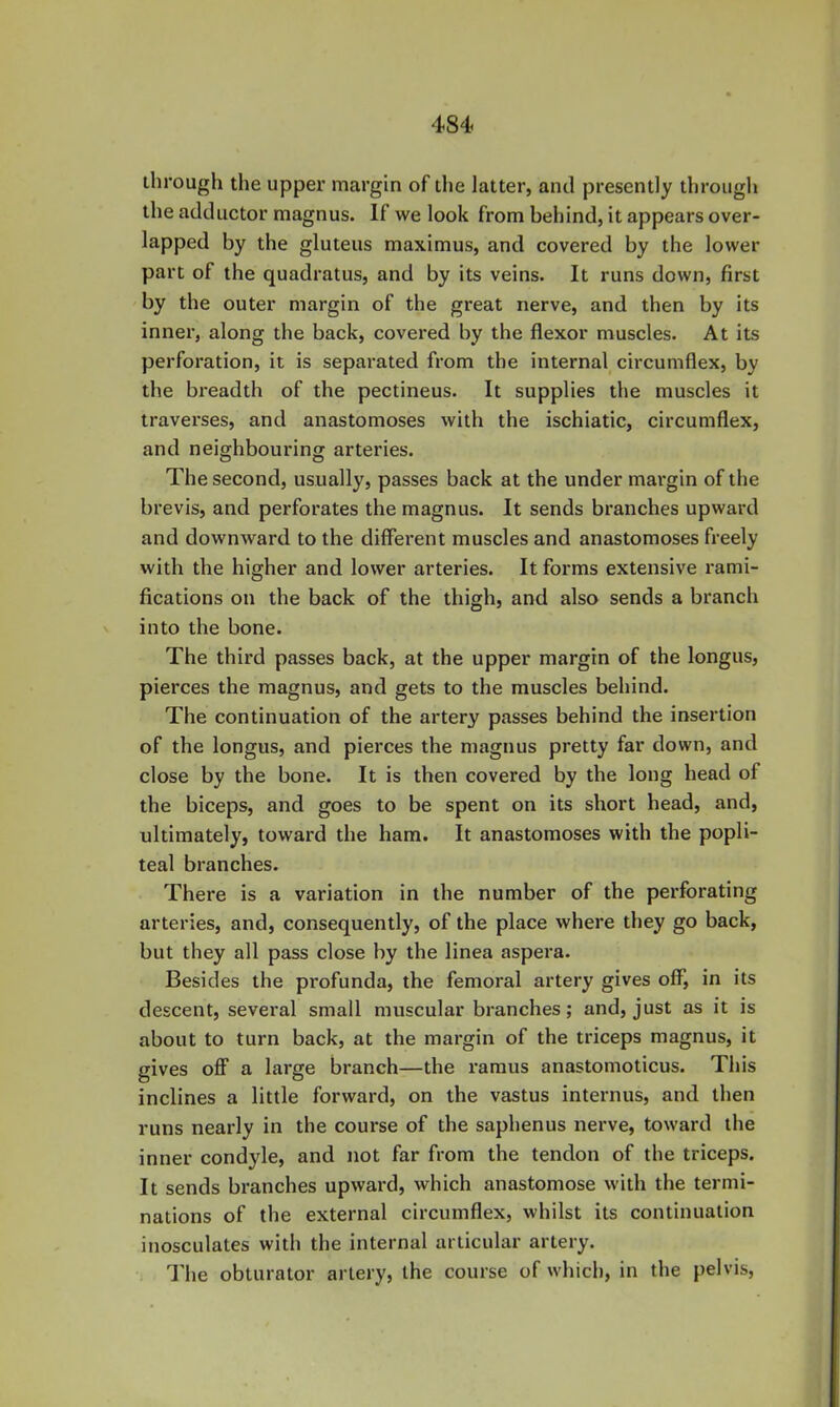 through the upper margin of tlie latter, and presently througli the adductor magnus. If we look from behind, it appears over- lapped by the gluteus maximus, and covered by the lower part of the quadratus, and by its veins. It runs down, first by the outer margin of the great nerve, and then by its inner, along the back, covered by the flexor muscles. At its perforation, it is separated from the internal circumflex, by the breadth of the pectineus. It supplies the muscles it traverses, and anastomoses with the ischiatic, circumflex, and neighbouring arteries. The second, usually, passes back at the under margin of the brevis, and perforates the magnus. It sends branches upward and downward to the diffei'ent muscles and anastomoses freely with the higher and lower arteries. It forms extensive rami- fications on the back of the thigh, and also sends a branch into the bone. The third passes back, at the upper margin of the longus, pierces the magnus, and gets to the muscles behind. The continuation of the artery passes behind the insertion of the longus, and pierces the magnus pretty far down, and close by the bone. It is then covered by the long head of the biceps, and goes to be spent on its short head, and, ultimately, toward the ham. It anastomoses with the popli- teal branches. There is a variation in the number of the perforating arteries, and, consequently, of the place where they go back, but they all pass close by the linea aspera. Besides the profunda, the femoral artery gives off, in its descent, several small muscular branches; and, just as it is about to turn back, at the margin of the triceps magnus, it gives off a large branch—the ramus anastomoticus. This inclines a little forward, on the vastus internus, and then runs nearly in the course of the saphenus nerve, toward the inner condyle, and not far from the tendon of the triceps. It sends branches upward, which anastomose with the termi- nations of the external circumflex, whilst its continuation inosculates with the internal articular artery. I’he obturator artery, the course of which, in the pelvis.