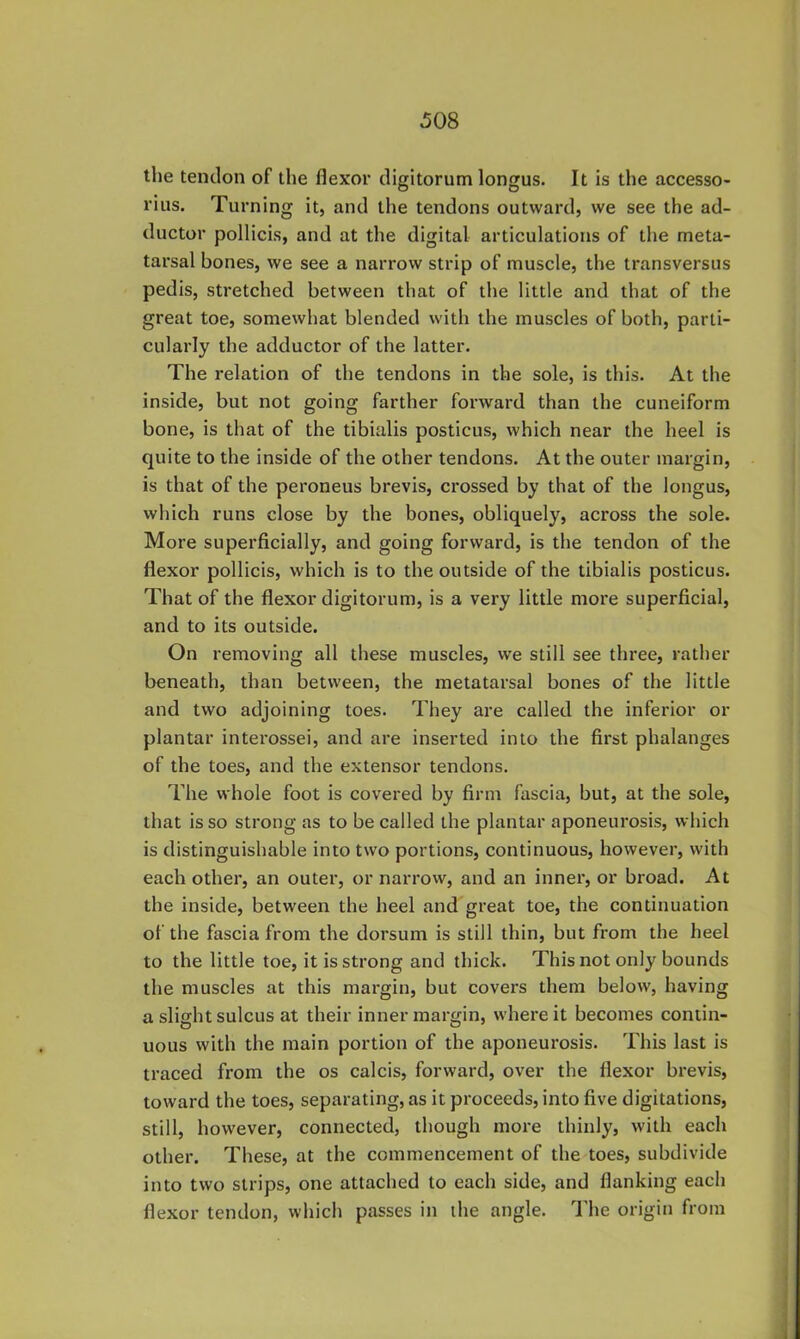 the tendon of the flexor digitorum longus. It is the accesso- rius. Turning it, and the tendons outward, we see the ad- ductor pollicis, and at the digital articulations of the meta- tarsal bones, we see a narrow strip of muscle, the transversus pedis, stretched between that of the little and that of the great toe, somewhat blended with the muscles of both, parti- cularly the adductor of the latter. The relation of the tendons in the sole, is this. At the inside, but not going farther forward than the cuneiform bone, is that of the tibialis posticus, which near the heel is quite to the inside of the other tendons. At the outer margin, is that of the peroneus brevis, crossed by that of the longus, which runs close by the bones, obliquely, across the sole. More superficially, and going forward, is the tendon of the flexor pollicis, which is to the outside of the tibialis posticus. That of the flexor digitorum, is a very little more superficial, and to its outside. On removing all these muscles, we still see three, rather beneath, than between, the metatarsal bones of the little and two adjoining toes. They are called the inferior or plantar interossei, and are inserted into the first phalanges of the toes, and the extensor tendons. The whole foot is covered by firm fascia, but, at the sole, that is so strong as to be called the plantar aponeurosis, which is distinguishable into two portions, continuous, however, with each other, an outer, or narrovv, and an inner, or broad. At the inside, between the heel and great toe, the continuation of the fascia from the dorsum is still thin, but from the heel to the little toe, it is strong and thick. This not only bounds the muscles at this margin, but covers them below, having a slight sulcus at their inner margin, where it becomes contin- uous with the main portion of the aponeurosis. This last is traced from the os calcis, forward, over the flexor brevis, toward the toes, separating, as it proceeds, into five digitations, still, however, connected, though more thinly, with each other. These, at the commencement of the toes, subdivide into two strips, one attached to each side, and flanking each flexor tendon, which passes in the angle. The origin from