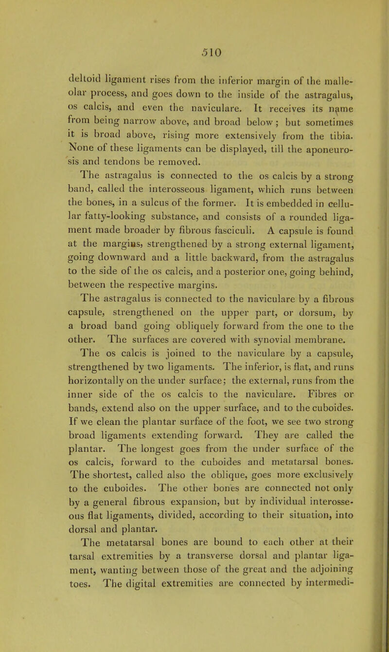 deltoid ligament rises from the inferior margin of the malle- olar process, and goes down to the inside of the astragalus, os calcis, and even the naviculare. It receives its n^me from being narrow above, and broad below; but sometimes it is broad above, rising more extensively from the tibia. None of these ligaments can be displayed, till the aponeuro- sis and tendons be removed. The astragalus is connected to the os calcis by a strong band, called the interosseous ligament, which runs between the bones, in a sulcus of the former. It is embedded in cellu- lar fatty-looking substance, and consists of a rounded liga- ment made broader by fibrous fasciculi. A capsule is found at the margius, strengthened by a strong external ligament, going downward and a little backward, from the astragalus to the side of the os calcis, and a posterior one, going behind, between the respective margins. The astragalus is connected to the naviculare by a fibrous capsule, strengthened on the upper part, or dorsum, by a broad band going obliquely forward from the one to the other. The surfaces are covered with synovial membrane. The os calcis is joined to the naviculare by a capsule, strengthened by two ligaments. The inferior, is flat, and runs horizontally on the under surface; the external, runs from the inner side of the os calcis to the naviculare. Fibres or bands, extend also on the upper surface, and to the cuboides. If we clean the plantar surface of the foot, we see two strong broad ligaments extending forward. They are called the plantar. The longest goes from the under surface of the os calcis, forward to the cuboides and metatarsal bones. The shortest, called also the oblique, goes more exclusively to the cuboides. The other bones are connected not only by a general fibrous expansion, but by individual interosse- ous flat ligaments) divided, according to their situation, into dorsal and plantar. The metatarsal bones are bound to each other at their tarsal extremities by a transverse dorsal and plantar liga- ment, wanting between those of the great and the adjoining toes. The digital extremities are connected by intermedi-