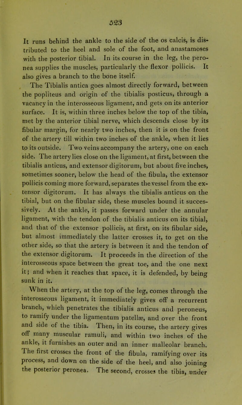 It runs behind the ankle to the side of the os calcis, is dis- tributed to the heel and sole of the foot, and anastamoses with the posterior tibial. In its course in the leg, the pero- nea supplies the muscles, particularly the flexor pollicis. It also gives a branch to the bone itself. The Tibialis antica goes almost directly forward, between the popliteus and origin of the tibialis posticus, through a vacancy in the interosseous ligament, and gets on its anterior surface. It is, within three inches below the top of the tibia, met by the anterior tibial nerve, which descends close by its fibular margin, for nearly two inches, then it is on the front of the artery till within two inches of the ankle, when it lies to its outside. Two veins accompany the artery, one on each side. The artery lies close on the ligament, at first, between the tibialis anticus, and extensor digitorum, but about five inches, sometimes sooner, below the head of the fibula, the extensor pollicis coming more forward, separates the vessel from the ex- tensor digitorum. It has always the tibialis anticus on the tibial, but on the fibular side, these muscles bound it succes- sively. At the ankle, it passes forward under the annular ligament, with the tendon of the tibialis anticus on its tibial, and that of the extensor pollicis, at first, on its fibular side, but almost immediately the latter crosses it, to get on the other side, so that the artery is between it and the tendon of the extensor digitorum. It proceeds in the direction of the interosseous space between the great toe, and the one next it; and when it reaches that space, it is defended, by being sunk in it. When the artery, at the top of the leg, comes through the interosseous ligament, it immediately gives off* a recurrent branch, which penetrates the tibialis anticus and peroneus, to ramify under the ligamentum patellae, and over the front and side of the tibia. Then, in its course, the artery gives off many muscular ramuli, and within two inches of the ankle, it furnishes an outer and an inner malleolar branch. The first crosses the front of the fibula, ramifying over its process, and down on the side of the heel, and also joining the posterior peronea. The second, crosses the tibia, under