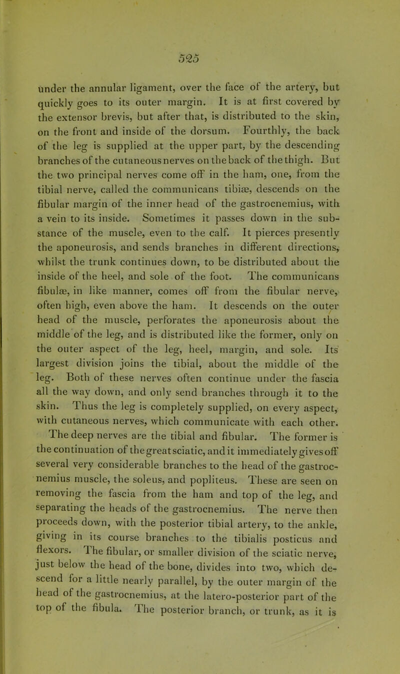 under the annular ligament, over the face of the artery, but quickly goes to its outer margin. It is at first covered by the extensor brevis, but after that, is distributed to the skin, on the front and inside of the dorsum. Fourthly, the back of the leg is supplied at the upper part, by the descending branches of the cutaneous nerves on the back of the thigh. But the two principal nerves come off in the ham, one, from the tibial nerve, called the communicans tibite, descends on the fibular margin of the inner head of the gastrocnemius, with a vein to its inside. Sometimes it passes down in the sub- stance of the muscle, even to the calf. It pierces presently the aponeurosis, and sends branches in different directions, whilst the trunk continues down, to be distributed about the inside of the heel, and sole of the foot. The communicans fibulae, in like manner, comes off from the fibular nerve,- often high, even above the ham. It descends on the outer head of the muscle, perforates the aponeurosis about the middle of the leg, and is distributed like the former, only on the outer aspect of the leg, heel, margin, and sole. Its largest division joins the tibial, about the middle of the leg. Both of these nerves often continue under the fascia all the way down, and only send branches through it to the skin. Thus the leg is completely supplied, on every aspect, with cutaneous nerves, which communicate with each other. The deep nerves are the tibial and fibular. The former is ’ the continuation of the great sciatic, and it immediately gives off several very considerable branches to the head of the gastroc- nemius muscle, the soleus, and popliteus. These are seen on removing the fascia from the ham and top of the leg, and separating the heads of the gastrocnemius. The nerve then proceeds down, with the posterior tibial artery, to the ankle, giving in its course branches to the tibialis posticus and flexors. 'I he fibular, or smaller division of the sciatic nerve, just below the head of the bone, divides into two, which de- scend for a little nearly parallel, by the outer margin of the head of the gastrocnemius, at the latero-posterior part of the top of the fibula. The posterior branch, or trunk, as it is