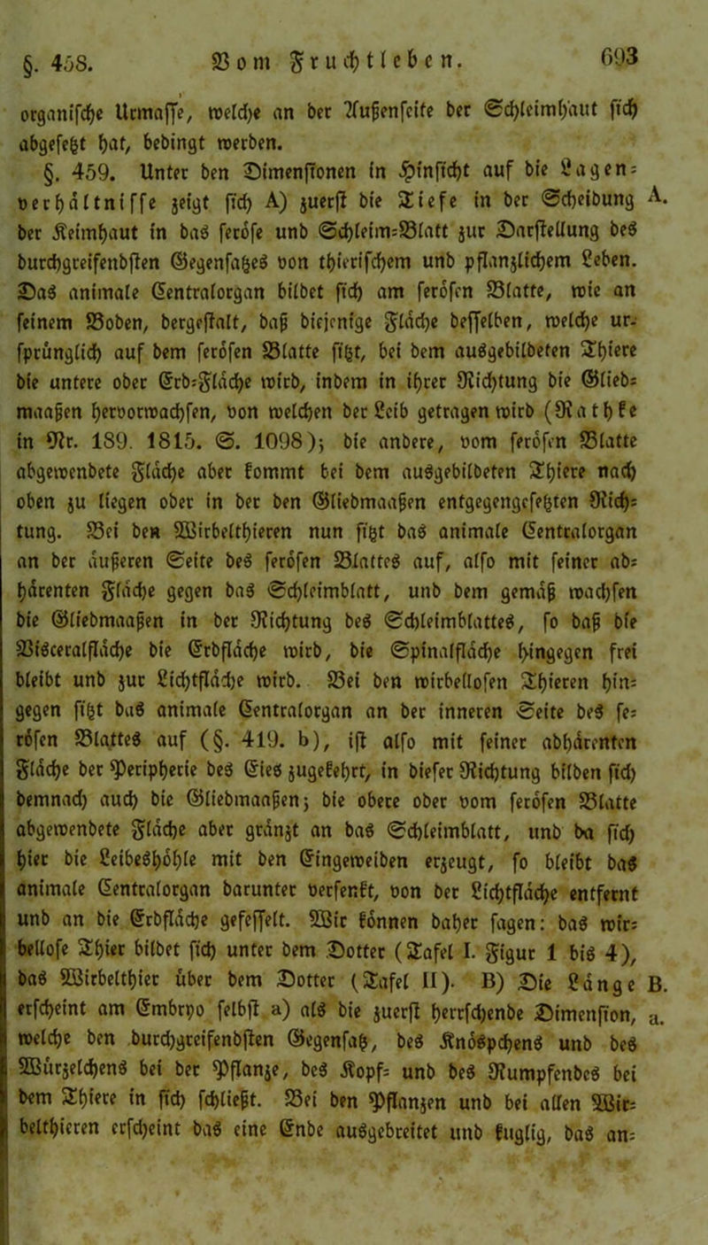 093 organifc^c Urmaffe, »eld)e an ber tfufjenfcife ber Schleimhaut fid) abgefefet hat, bebingt »erben. §. 459. Unter ben ©imenjTonen (n auf bie Sagen; nerf)dttniffe geigt fid) A) guerfl bie SEiefe in ber ®cheibung A. ber Äeimijaut in bag ferofe unb <Sd)leim=S3latt gut ©arffeüung beg burdbgreifenbften ©egenfafceg non ti)ierifcf>em unb pflanglidjem Seben. ©ag animale (üentralorgan bilbct fid) am ferofen 23latte, »ie an feinem S3oben, bergcfTalt, bafj biejcnt’ge $ldd)e beffelben, »eiche ur- fprünglid) auf bem ferofen SSlatte fifct, bei bem auggebilbeten 5Et)iere bie untere ober Stb;$ldd)e trirb, inbem in ihrer 9iid)tung bie ©lieb; maafjen hetöor»ad)fen, non »eichen ber Seib getragen »irb (Dx a 11) f e in 9?r. 189. 1815. @. 1098)*, bie anbere, nom ferofen SSlatte abgetnenbete gldd)e aber fornmt bei bem auggebilbeten £hterf nach oben ju liegen ober in ber ben ©liebmaafjen entgegengcfefnen 9vicf>; tung. S3ei ben SOßirbelthieren nun figt bag animale (lentralorgan an ber dufjeren Seite beg ferofen 23iattcö auf, alfo mit feiner ab; latenten $(ad)e gegen bag Scf)leimblatt, unb bem gemdjj »achfen bie ©liebmaafjen in ber Dichtung beg Schleimblatteg, fo bafj bie 23igceralfldd)e bie ©rbfldcfye »irb, bie Spinalflad)e hingegen frei bleibt unb jur £id)tfldd)e »irb. 23ei ben »irbellofett SXf)ieren tyte gegen ft|t bag animale ßentralorgan an ber inneren -Seite beg fe; rofcn SSlgtteg auf (§. 419. b), ift alfo mit feiner abbdrenten gladje ber Peripherie beg ©ieg gugefe^rt, in biefer 9?id)tung bilben fid) bemnad) auch bie ©liebmaafjen; bie obere ober nom ferofen SSlatte abgetnenbete glddje aber grdnjt an bag Schleimblatt, unb ba ftd) hier bie Seibeghohle rnit ben Gfingeroeiben erjeugt, fo bleibt ba$ animale Gentratorgan barunter üerfenft, oon bet 2id)tfldd)e entfernt unb an bie ©rbfladje gefeffelt. SSir Tonnen bähet fagen: bag »ir; bellofe ÜEhier bilbet fid) unter bem ©otter (£afel I. gigur 1 big 4), bag Sßirbelthier über bem ©Otter (SSafel II). B) ©ie Sange B. erfcheint am ©mbrpo felbfl a) alg bie guerfl h^fdjenbe ©imenfion, a. »eiche ben burd)greifenbften ©egenfafc, beg Änogpcheng unb bcg 5Bür$eld)eng bei bet Pflanje, beg tfopf; unb beg 3?umpfenbcg bei bem 5Eh«>« in fid) fchliept. S3ei ben Pflangen unb bei allen SBit; belthieren erfdjeint bag eine Gnbe auggcbreitet unb fuglig, bag an;