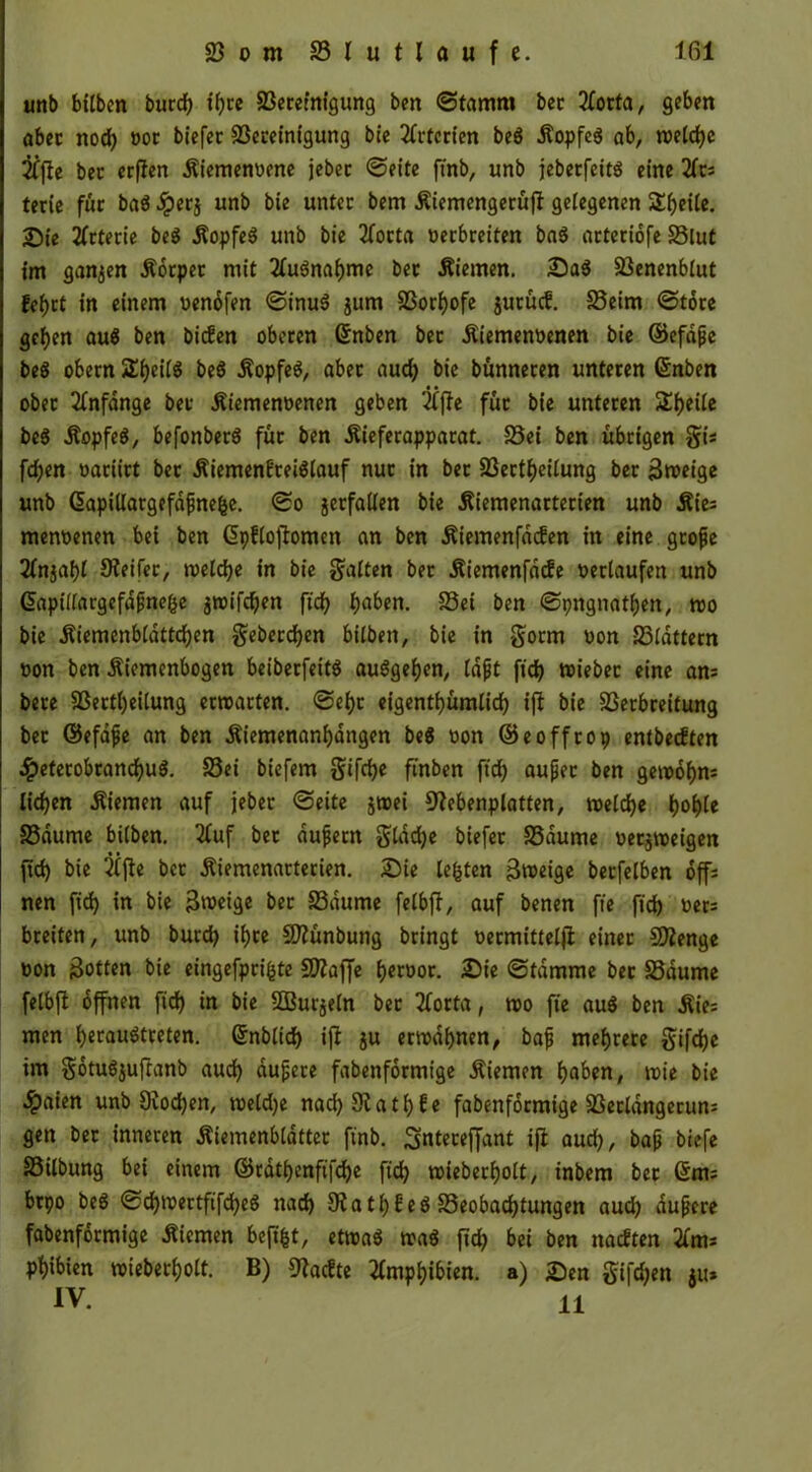 unb bitbcn burdj i'fjcc Seretnigung bcn ©fatnm bec 2focta, geben aber nod) »or biefer Sereintgung bie Offenen be« ÄopfeS ab, n>etd)e 2fflc bec erfien Äiemenoene jebec ©eite ftnb, unb jebetfeitS eine 2(rs teric für ba$ #er} unb bie unter bem Äiemengerüfi gelegenen Streite. Sie Arterie be$ üopfe« unb bie 2(octa verbreiten ba$ arteriofe Slut im ganzen Äorper mit 2(uSnaf)me bec dienten. Sa$ Senenblut fef)ct in einem oenofen ©inu$ jurn Sorfjofe jucücf. Seim ©tote gefjen au$ ben biefen oberen ©nben bec Äiemenbenen bie ©efdpe beö obern 2l)eilg be$ üopfe$, aber aud) bie bünnecen unteren ©nben ober Anfänge bec Äiemenoenen geben 'iffie für bie unteren Steile be$ Äopfeö, befonberö für ben Äieferapparat. Sei ben übrigen gi« fdjen oaciirt bec ÄiemenBrei^lauf nur in bec Sectf)eilung ber 3n>eige unb G>apillargefdfne&e. ©o jerfallen bie Äiemenartecien unb Äie^ menoenen bei ben ßpflojiomen an ben Äiemenfdifen in eine grope 2fnjaf)l Keifer, welche in bie galten ber ÄiemenfacEe »erlaufen unb G>apilfargefapne|je gnoifc^en ftd) fmben. Sei ben ©pngnatfjen, m bie Äiemenbiattdjen gebetenen bilbett, bie in gorm uon Sldttern »on ben Äiemenbogen beiberfeitö au$gel)en, Idjjt ftd) wiebec eine am bere Sertfyeilung erwarten. ©ef)c eigentf)ümlid) ifi bie Serbreitung ber ©efdpe an ben Äiemenanljdngen be« oon ©eofftop entbeeften .!peterobrand)u$. Sei biefem gifdje ftnben ftd) aupec ben gewöhn* lidjen Äiemen auf jeber ©eite jwei ebenplatten, reelle f)ol)le Saume bilben. 2iuf bec dupern gldd)e biefer Saume »ecjweigen ftd) bie 2ffie bec Äiemenarterien. Sie lebten Zweige beefetben 6ff= nen ftd) in bie 3weige bec Saume felbfi, auf benen fie fid) oers breiten, unb burd) if>ce CKünbung bringt »ermittelii einer SWenge non Rotten bie eingefprifcte SKaffe f)ervor. Sie ©tdmme bec Saume felbfi offnen ftd) in bie 2Bur$eln bec 2forta, wo fte au$ ben Äie= men fyeraudtreten. ßnblid) iji ju erwähnen, bap mehrere gifdje im gotufyuftanb aud) dupere fabenformige .Siemen fyaben, wie bie $aien unb 9iod)en, weldje nad)9iatl)fe fabenformige Sectangecum gen bec inneren Äiemenbtdtter ftnb. Snteceffant ifi aud), bap biefe Silbung bei einem ©rd$enftfdje ftd) wieberfjolt, tnbem bec ßtm brpo beö ©c&wertftfdje« nad) 9tatl)feö Seobadjtungen aud) dupere fabenformige dienten beftfct, etwa« wag ftd) bei ben naeften 2fm* ptjibien wieberfjolt. B) Kacfte 2(mpf)ibien. a) Sen gifdjen tu* IV. H