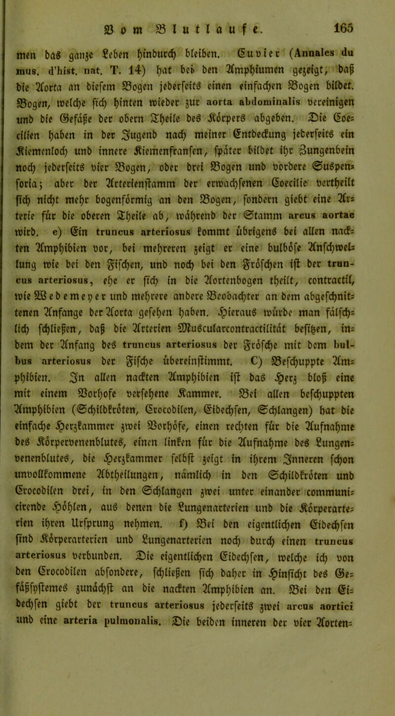 mm ba8 gan$e geben ^tnbucd) bleiben. duoiet (Annales du mus. d’hist. nat. T. 14) {)at bei* ben Amphiumen gejeigt, bajj bie Aorta an bicfem Sogen jeberfeitS einen einfachen Sogen bilbef. Sogen, tx>eld>e ftd) hinten roieber $ur aorta abdominalis »ereinigen unb bie ©efdfje bec obecn Steife beS Äorperö abgeben. £)ie doe; eitlen haben in bec Sugenb nach meiner dntbeefung jeberfeitS ein Äiemcn(od) unb innere Äiemenfranfen, [pater bitbet it>r Sungenbein nod) jeberfeitS hier Sogen, ober brei Sogen unb norbere ©uSpen* foria, aber ber Artecienjfamm ber errc>ad)fenen doecilte oertijeilt ftd) nid)t mef)r bogenförmig an ben Sogen, fonbent giebt eine Ars terie für bie oberen S()ei(e ab, roaf)renb ber ©tamm arcus aortae mich, e) din truncus artcriosus fomrnt übrigens bei alten naefs ten Amphibien t>or, bei mehreren jeigt er eine bulbdfe Anfchroels lung roie bei ben gifchen, unb noch bei ben $tofd)en ift ber trun- cus arteriosus, ef)e er ftd) in bie Aortenbogen theilt, contractit, tote SBebemeper unb mehrere anbere Seobachter an bem abgefcfjnits tenen Anfänge ber Aorta gefel)en Ijaben. JpierauS mürbe man fdtfd)= lief) fc^tie^cn, bajj bie Arterien SKuöcularcontractilitat beftjjen, in= bem ber Anfang beS truncus artcriosus ber grofehe mit bem bul- bus arteriosus ber $ifd)e übereinflimmt. C) Sefd)uppte Am; p()ibien. Sn allen naeften Amphibien iff baö Jperj blojj eine mit einem Sotfyofe »erfeljene Kammer. Sei allen befdjuppten Amphibien (©chilbfrdten, drocobilen, dibcchfen, ©erlangen) bat bie einfache dperjfammer jmei Sothofe, einen rechten für bie Aufnahme beö ÄorperoenenbluteS, einen linfen für bie Aufnahme be$ Sungen; t>enenbtuteö, bie £erjfammer fetbfl jeigt in ihrem inneren fd)on unoollfommene Abteilungen, ndm(id) in ben ©djilbfroten unb drocobilen brei, in ben ©drangen jmei unter einanbec communis cirenbe dpohlen, aus benen bie Sungenarterien unb bie Äorperartes rien ihren Urfprung nehmen, f) Sei ben eigentlichen dibechfen ftnb Äorperarterien unb ßungenarterien nod) burd) einen truncus arteriosus üctbunben. Sie eigentlichen dibcd;fen, tt>elrf>c id) non ben drocobilen abfonbere, fd)liejjen ftd) bähet in Jpinftd)t beS ©e= fajjfpfiemeS jundchjt an bie naeften Amphibien an. Sei ben di= bedjfen giebt ber truncus arteriosus jeberfeitS jroei arcus aortici unb eine arteria pulmonalis. 25ie beiben inneren ber oier Aortern