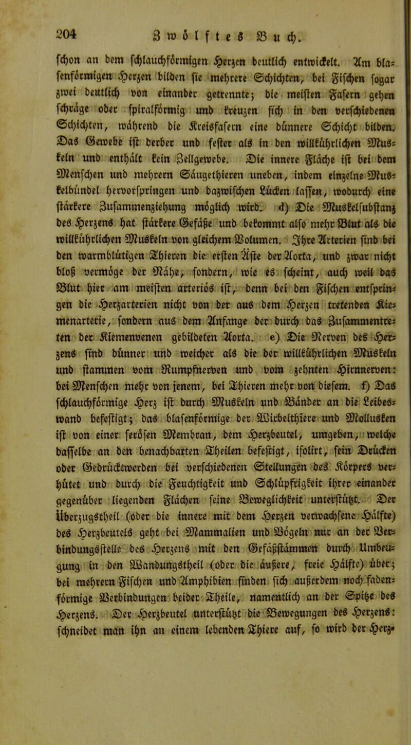 fc^on an bem fd)laucbf6rmigen .Spesen beutlicb entwicfett. 2(m blas fenformigen .Sperren bilben fic mehrere ©Siebten, bei giften fogar jraet beutlicb oon einanbec getrennte; bie meinen gafern geben fdjtage ober fpiralformig unb freuten ftcfj in ben »erfd)iebenen @d)id)ten, wdbrenb bie Äceiöfafetn eine bünnere ©cbid)t bitben. ©ewebe ifl berber unb feflet alä in ben willfübtlicben fSltös fein unb enthalt fein Bellgewebe. Sie innere glddje ifl bei bem 9Äenfd)en unb mebrern ©dugetbieren uneben, inbem etnjelne Cfttubs felbünbel bettwrfpringen unb bajtuifcben SucOen laffen, woburd) eine fldtfere Bufammenjiebung mdglid) trieb, <1) Sie SfluoEelfubflanj bed Jperjend bn* fidtEere ©efdße unb befommt alfo mehr S3lut al$ bie willfubrlicben 9Jlu$feln »on gieicbem SSolumen. 3brc Arterien ftnb bei ben warmblütigen Spieren bie erjlen2lfle bertforta, unb jwac nid)t bloß vermöge ber Oldbe, [onbern, wie eö febeint, auch weil ba3 SSlut b^ öR» meiflen arterio$ ifl, benn bei ben gifd)en entfprins gen bie .iperjarterien nicht oon ber auö bem .fperjen tretenben Äies menarterie, fonbern au3 bem Anfänge ber bureb ba$ Bufammentres ten ber dtiemenoenen gebilbeten 2forta. e) Sie Heroen beö «Spets jen$ ftnb bünnec unb weicher al$ bie ber willüübtlicben SBiöfeln unb flammen »om Slumpfneroen unb uom jebnten ,!p»n»nertiett: bei SOlenfcben mehr öon jenem, bei Sü^icccn mehr tton biefem. f) Sa$ fcblaucbformige Jper§ ifl burd) COluöbeln unb 33dnbet an bie fieibeös wanb befefligt; ba$ blafenformige ber äßirbeltbiere unb 2JioUuöEen ifl «on einer ferofen SDlembran, bem ^perjbcutel, umgeben, welche baffelbe an ben benachbarten Sbeilen befefligt, ifolitt, fein Srücfen ober ©ebrücEtwcrben bei oetfebiebenett ©tellungen bed ÄocperS Der; hütet unb burd) bie geudbtigfeit unb Schlüpfrigkeit ihrer einanbet gegenüber liegenben gldcbcn feine 23eweglid)keit unterflüfct. Ser iiber$ug$tbeil (ober bie innere mit bem Jperjen oerwadjfene Jpdlftc) bed iperjbeutclä gebt bei SDlammalien unb 23ogeln nur an ber SJecs binbungöflelie bcö dperjen^ mit ben ©efdßjlammcn bureb Umbeus gung in ben SBanbungätbeil (ober bie äußere, freie ipalfte) über; bei mebretn gifd)en unb Amphibien ftnben ftcb außerbem noch fabens förmige SSerbinbungcn beiber Steile, namentlid) an ber ©pifce bed jperjenö. Set Jperjbeutel unterflüfct bie SScweguttgcn beö £er$en$: febneibet man ihn an einem lebenben 5if>ierc auf, fo wirb ber #crj«