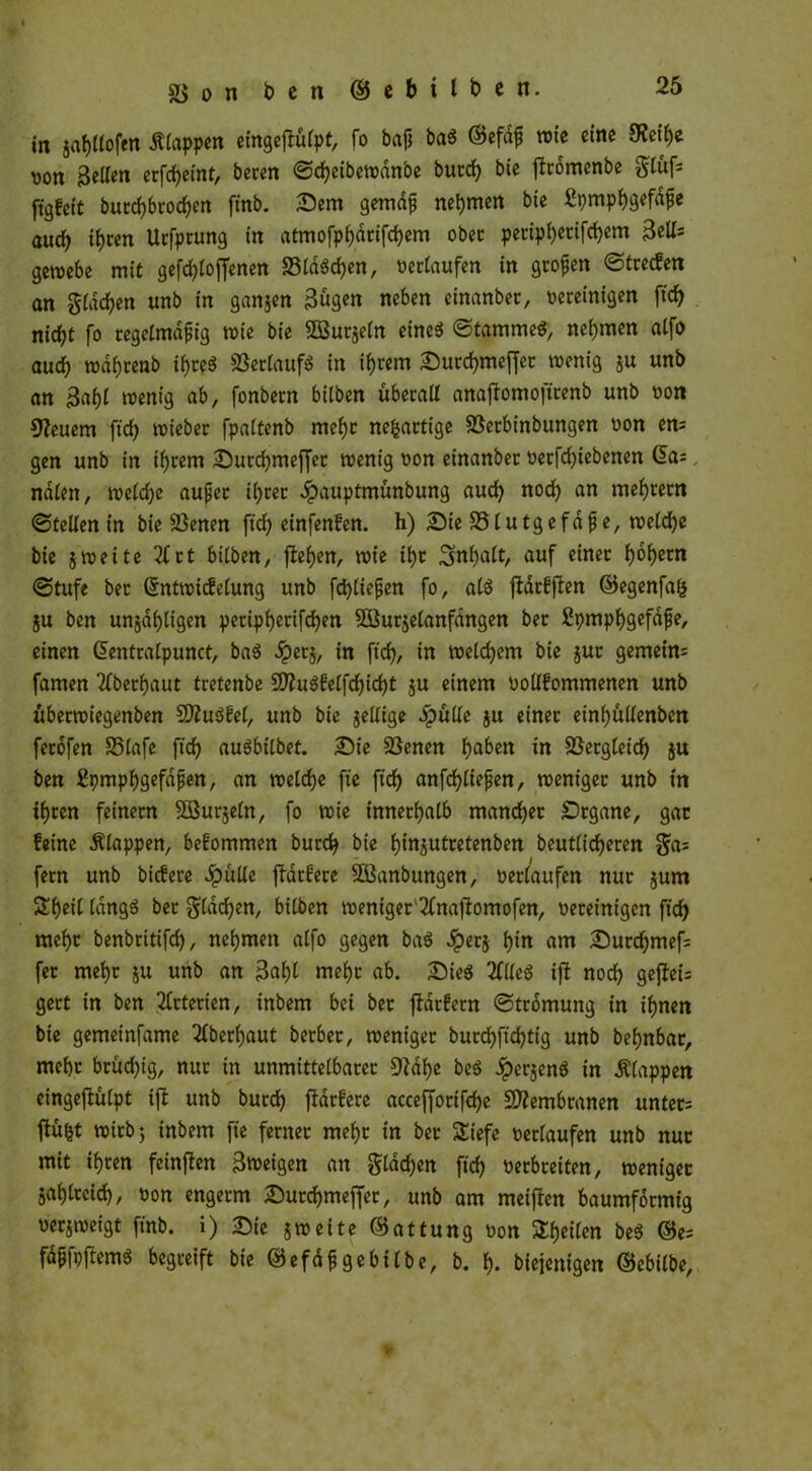 in gahltofen Etappen eingeftülpt, fo baß baS ©efdß wie «'nc 3^e^e Aon Bellen erfcheint, beren ©djeibewanbe burd) bie ftrömenbe $lüf; ftgfctt butchbrochen ftnb. Sem gemäß nehmen bie £pmphgefdße auch ihren Urfptung in atmofphdrifd)em ober pectpt)ectfd?em 3ells gemebe mit gefd)loffenen 23tciödjert, verlaufen in großen ©treefen an gldd)en unb in gangen Bugen neben einanber, vereinigen fxcf> nic^t fo regelmäßig wie bie SButgeln eines* ©tammeS, nehmen atfo auch rodhtenb tf>reö SSertaufö in ihrem Surchmeffer wenig gu unb an Bahl wenig ab, fonbetn bilben überall anajlomofttenb unb von feuern ftch wieber fpaltenb mehr neuartige SSerbinbungen von en: gen unb in ihrem Surchmeffer wenig von einanbet verriebenen da: ndlen, wcld)e außer ihrer Jpauptmünbung auch nod) an mehrern ©teilen in bie 5ßenen fid> einfenfen. h) Sie 581 u tg e fd ß e, welche bie gweite 2frt bilben, flehen, wie ihr Inhalt, auf einer f)vbcm ©tufe ber (Sntwidelung unb fd)ließen fo, als ftdrfften ©egenfafc gu ben ungahligen petiphetifchen SBurgelanfdngen bet Spmphgefdße, einen ßentralpunct, baS öpetg, in ftch, m welchem bie gut gemein: famen Oberhaut tretenbe $D?uSfelfchicht gu einem vollfommenen unb überwiegenben 9ftuS6el, unb bie gellige dpulle gu einet einhüllenben fetöfen 35lafe ftch auSbilbet. Sie 5ßenen hüben in Vergleich gu ben £pmphgefdßen, an welche fte ftch anfd)ließen, weniger unb in ihren feinem SBurgeln, fo wie innerhalb mancher Srgane, gar feine Älappen, befommen burch bie hingutretenben beutlicheren fern unb biefere Jpülle fldrfere SBanbungen, verlaufen nur gum &heil längs bet ^tac^en, bilben weniger2(naftomofen, vereinigen ftch mehr benbritifd), nehmen alfo gegen baS .Spetg hin am Surchmef: fer mehr gu unb an Bäht mehr ab. SieS 3flleS ift noch gejtefs gert in ben Arterien, inbem bei bet ftdrfern ©trömung in ihnen bie gemeinfame 2lber()aut berber, weniger burcfjftdjtig unb behnbac, mehr brücf>ig, nur in unmittelbarer 9?dhe beS JpergenS in Älappen eingeftülpt iff unb burd) ftdrfere accefforifd)e Membranen unter: fiüfct wirb) inbem fte ferner mehr in ber SEiefe verlaufen unb nur mit ihren feinjlen Bweigen an gldd)en ftch verbreiten, weniger gahlteid), von engetm Surchmeffer, unb am meiften baumförmig vergweigt ftnb. i) Sie gweite ©attung von Steilen beS ©e: fdßfpftemS begreift bie ©efdßgebilbe, b. h- biejenigett ©ebilbe,