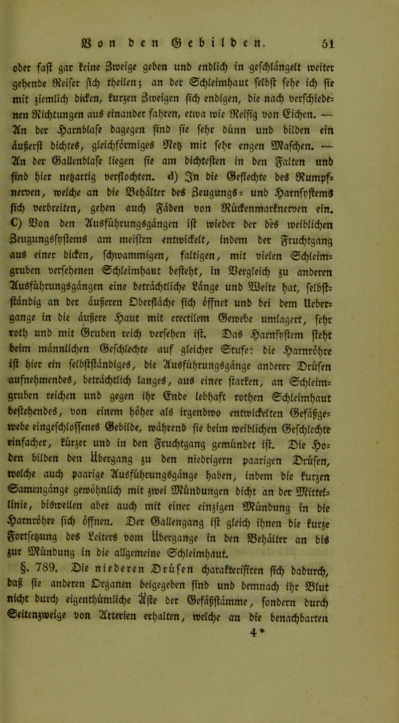 ober faff gar feine 3w>etge geben unb enbiieb t'n gefcbtdngeit weiter gebenbe Reifer ftd) tbeiien; an bet @d)leimf)aut feibft fcfje id) fte mit jiemlicb biefen, furjen Zweigen ft'cf) enbtgen, bie nach t>ecfcf?iebe= nen Diicbtungen aug einanbec faxten, etwa wie 0?eiftg oon ©eben. — 2fn bet J£>arnbiafe bagegen ftnb fte fcf>c bünn unb biiben ein dufjerfl bid^teö, gieidjfdrmtgeg mit fef?c engen 5D?afdben. — 2fn ber ©alienblafe liegen fte am biebteften in ben Saiten unb ftnb f>tcr neuartig oetflocbten. d) %n bie ©eflecbte beg Üfumpfs newen, weicbe an bie 33ebdlter beg 3eugungg; unb #arnfpftemg ftcb tfetbteifen, geben auch Sdben t?on Stfucfenmarfneroen ein. C) SSon ben 2iugfübrungggdngen ijl wieber bet beg weibiieben 3eugunggfpflemg am meinen entwicfeit, inbem bet gruebtgang aug einer biefen, febwammigen, faltigen, mit ttieien ©cbiet’m: gruben üerfebenen ©ebieimbaut befielt, in 33ergieicb ju anberen Tiugfubrungggangen eine bettdebtiiebe Sange unb SBeite fjat, feibfb fianbig an bet dufteten £5betfldd)e ftcb öffnet unb bei bem Ueber= gange in bie duftere ^>aut mit etectiiem ©ewebe umlagert, fef>r rotb unb mit ©ruben reich »erfeben ifl. Sag Jparnfpftem flef>t beim mdnniicben ©efebieebte auf gleicher ©tufe: bie .Jparntobre t|l f>xec ein feibflfldnbigeg, bie 2Cugfubrungggange anbeter Stufen «ufnebmenbeS, betrdebtiieb langeg, aug einet fiarfen, an ©cbieim= gruben reichen unb gegen ihr ©nbe lebhaft rotben ©cbleimbaut befiebenbeg, t>on einem fjol^cr alg itgenbwo entwiefeiten ©cfdftge= webe eingefcbloffeneg ©ebilbe, wdbrenb fte beim weibiieben ©efd)lcd>te einfacher, furjer unb in ben Srucbtgang gemunbet ifl. Sie Jpos ben biiben ben Übergang ju ben niebrigetn paarigen Srufen, weiche auch paarige tfugfübrungggdnge haben, inbem bie furjen ©amcngdnge gewöhnlich mit jwei SSftünbungen bidjt an ber Mittels linie, bigweiien aber auch mit einer einzigen Sftünbung in bie Harnröhre ftcb offnen. Ser ©aliengang iff gleich ihnen bie furje Sortfe^ung beg Seiterg Dom Übergange in ben SScfjaiter an big jut Sftünbung in bie aligemeine ©cbleimbaut. §. 789. Sie nieberen Srufen ebarafteriftren ftcb babureb, baf fte anbeten Srganen beigegeben ftnb unb bemnacb t*br 23iut nicht bureb eigentümliche 2fjte bet ©efdfffdmme, fonbern bureb ©eitenjweige Don Arterien erhalten, weiche an bie benachbarten 4*