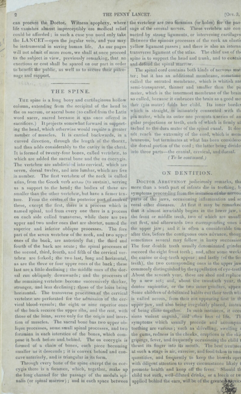 can procure tfie Doctor. Witness apoplexy, where life vanishes almost imperceptibly ere medical relief could be afl'orded ; in such a case you need only take the LANCE'l'—open the jugular vein, and you may be instrumental in saving human life. As our pages will not admit of more room, we shall at once j)roceed to the subject in view, previously ren)arking, that no exertions or cost shall be spared on our part in order to benefit tlie public, as well as to secure their patro- nage and support. THE SIMXE. I'llE Spine i.s a long bony and cartilaginous hollow column, extending from the occipital of the head to the os sacrum, or sacral bone (so called from the Latin word sacer, sacred because it was once oH'ered in sacrifices.) It projects somewhat forward in support- ing the head, which otherwise would require a greater number of muscles. It is carried backwards, in a curved direction, through the length of the thorax, and thus adds considerably to the cavity in the chest. Tt is formed of tw enty-four bones, called vertebra;, to which are added the sacral bone and the os coccygis. The vertebra- are subdivid ’d into cervical, which are seven, dorsal twelve, and into lumbar, which are live in number. The first vertebra; of the neck is called atlas, from the CJreek verb xrXaio (to sustain), serving as a support to the head; the bodies of these are smaller than the other vertebra;, but have a firmer tex- ture. I'rom the centre of the posterior part of each of these, except the first, there is a process which is named spinal, ami from every one there is a piocess on each side called transverse, while there are two upper and two under ones that are shorter, named the superior and inferior oblique processes. The fore part of the seven vertebrsr of the neck, and two uppi r ones of the back, are anteriorly fiat; the third and fourth of the back are acute; the spinal processes of the second, third, fourth, and fifth of the cervical ver- tebra- are forked; the two last, long and horizontal, as are the three or four ujiper ones ol the back; these last are a little declining ; the middle ones of the dor- sal run obliquely downwards; and the processes of the remaining vertebra- become successively thicker, stronger, and less declining; those of the loins being horizontal. The transver.se processes of the cervical vertebra; are perforated for the admission of the cer- vical blood-vessel.s; the eight or nine superior ones of the back receive the ujiper ribs, and the rest, with those of the loins, serve only for the origin and inser- tion of muscles. The sacral bone has two upper ob- lique processes, some small spinal processes, and two foramina in each interstice of the bones, which com- pose it both belore and behind. The os cocej-gis is formed of a chain of bones, each piece becoming smaller as it descends ; it is convex behind and con- cave anteriorly, and is triangular in its form. 'ritrongh I very bone of the spine except the os coc- cygis there is a foramen, which, together, make up the long channel for the passage of the medula spi- nalis (or spinal marrow) ; and in each space between the vertebra- are two foramina (or holes) for the pas- sage of the several nerves. These vertebra; are con nected by strong ligaments, or intervening cartilages Between the spinous processes of the neck an elastic yellow ligament passes ; and there is also an interna transverse ligament of the atlas. The chief use of the spine is to support the head and trunk, and to contaii and defend the spinal marr()W. The spinal cord contains both kinds of nervous mat ter; but it bas an additional membrane, sometime: called tlie serrate d membrane, wliicli is whitisli ant semi-transparent, tliiniur and smaller tli.m the pii mater, whicli is the innermost membrane of the brain so called, because it embraces the brain as a good mo ther (pia niaier) folds her child. Its iiini;r border w liicli is straight, is iiuimately oonnecti d with tie pia mater, w bile its outer one prc.sents a serii of an giilar projections or teeth, each of which is firmly ul tached to the dura mater of the spinal canal. It doc ii(5t reach the extremity of the cord, whioli is m- ni braneous, but terminates at what bas been consideicc the dorsal portion of the cord ; the latter being divides into three parts—the cranial, c< rvical, and dor.-al. ( To be continued. * ON DENTITION. Doctor ArbuthnijT judiciously remarks, th:i more than a tenth part of infants die in teething, h symptoms proceeding from the iriilaliou the ner\ou parts of the jaws, occasioning iufi.imm ilion and se veral other diseases. At first it m.iy be remurkeci that it almost invariably bc;gins in tne lower javr, i the front or middle teeth, two of wbicli are usuaM cut first, and afterwards two corrop' iiding ones i the tipper jaw ; and it is often a con.siderable tim after this, before the contiguous ones aiivaace. thong sometimes several may follow iii hasty .si-ccessior The four ihuible teeth usually denominated grinder succeed the eight front teeth; and, after sotn<- we< k; the canine or dog-teeth appear; and lastly 't-f the lir> teeth), the two corresponding ones in tlie upper jaw comnioiily distinguished bj tlieaj pellatioti of r ve-loetl About the stvenlh year, these ,ire shed .nid rfpla. e by a new set; ami, about llie twcut etb yrar, tl> dentes sapienti.c, or tlie two timer giinr*f;r-<, appea; Some cbildren of debilitated habit-.- cut their rccih w 1.; is called across, from their not appearing (iist in th upper jaw, and also being irngiilaily jihiccd, iiisiea of being close together. In such instances, it occa sions violent angtiisli, and often loss of life, Th symptoms which usually precede and accompan teething are various ; such as di ivelliiig, swi-lliiig < the gums, redness in the cheeks, orupiions in the .-kit gripings, fever, and frequently uccasioniua the child t thrust its finger into its mouth. The best iieutmej at such a stage is air, exercise, and food taken in sma quantities, and frequently to keep the bowels opei w ith diligent attention to every circumstance likely t promote health and keep oft the fever. Should th child nut suck, well-diluted drinks, or a leech or tw applied behind the ears, will be of the greate,-:jHtMtvic<