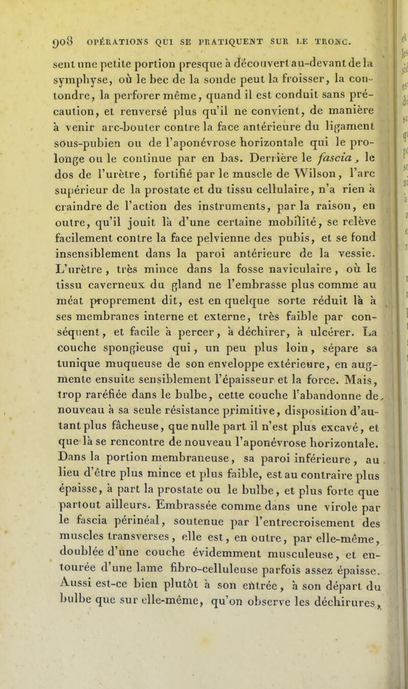 sent une petite portion presque à découvert au-devant de la symphyse, où le bec de la sonde peut la froisser, la cou- tondre, la perforer même, quand il est conduit sans pré- caution, et renversé plus qu’il ne convient, de manière à venir arc-bouter contre la face antérieure du ligament sous-pubien ou de l’aponévrose horizontale qui le pro- longe ou le continue par en bas. Derrière le fascia, le dos de l’urètre, fortifié par le muscle de Wilson, l’arc supérieur de la prostate et du tissu cellulaire, n’a rien à craindre de l’action des instruments, parla raison, en outre, qu’il jouit la d’une certaine mobilité, se relève facilement contre la face pelvienne des pubis, et se fond insensiblement dans la paroi antérieure de la vessie. L’urètre , très mince dans la fosse naviculaire , où le tissu caverneux du gland ne l’embrasse plus comme au méat proprement dit, est en quelque sorte réduit là à ses membranes interne et externe, très faible par con- séquent, et facile à percer, à déchirer, à ulcérer. La couche spongieuse qui, un peu plus loin, sépare sa tunique muqueuse de son enveloppe extérieure, en aug- mente ensuite sensiblement l’épaisseur et la force. Mais, trop raréfiée dans le bulbe, cette couche l’abandonne de, nouveau à sa seule résistance primitive, disposition d’au- tant plus fâcheuse, que nulle part il n’est plus excavé, et que là se rencontre de nouveau l’aponévrose horizontale. Dans la portion membraneuse, sa paroi inférieure , au lieu d’être plus mince et plus faible, est au contraire plus épaisse, à part la prostate ou le bulbe, et plus forte que partout ailleurs. Embrassée comme dans une virole par le fascia périnéal, soutenue par l’entrecroisement des muscles transverses, elle est, en outre, par elle-même, doublée d’une couche évidemment musculeuse, et en- tourée d une lame fibro-celluleuse parfois assez épaisse. Aussi est-ce bien plutôt à son entrée, à son départ du bulbe que sur elle-même, qu’on observe les déchirures.