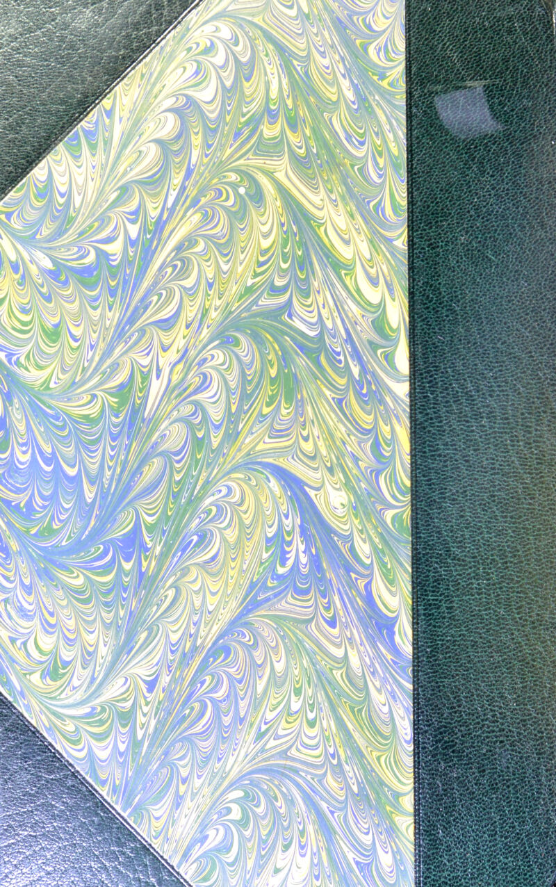 No text description is available for this image