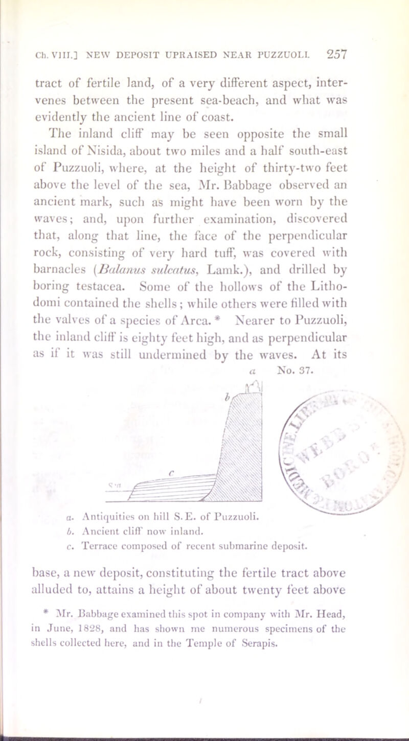 tract of fertile land, of a very different aspect, inter- venes between the present sea-beach, and what was evidently the ancient line of coast. The inland cliff' may be seen opposite the small island of Nisida, about two miles and a half south-east of Puzzuoli, where, at the height of thirty-two feet above the level of the sea, Mr. Babbage observed an ancient mark, such as might have been worn by the waves; and, upon further examination, discovered that, along that line, the face of the perpendicular rock, consisting of very hard tuff, was covered with barnacles (Ualanus sulcatus, Lamk.), and drilled by boring testacea. Some of the hollows of the Litho- domi contained the shells ; while others were filled with the valves of a species of Area. * Nearer to Puzzuoli, the inland cliff is eighty feet high, and as perpendicular as if it was still undermined by the waves. At its a No. 37. h. Ancient cliff now inland. c. Terrace composed of recent submarine deposit. base, a new deposit, constituting the fertile tract above alluded to, attains a height of about twenty feet above * Air. Jlabbage examined this spot in company with Mr. Head, in June, 1828, and has shown me numerous specimens of the shells collected here, and in the Temple of Serapis. /