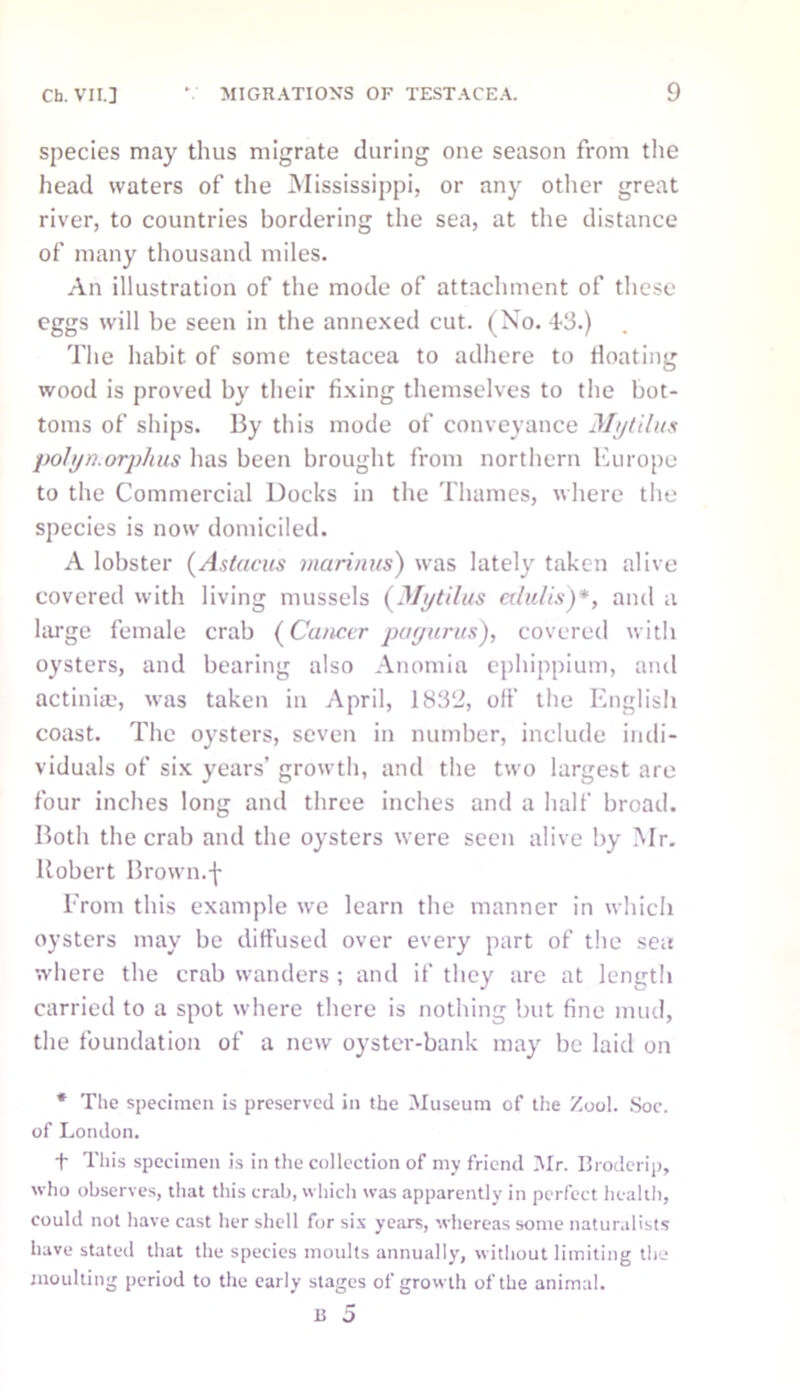 species may thus migrate during one season from the head waters of the Mississippi, or any other great river, to countries bordering the sea, at the distance of many thousand miles. An illustration of the mode of attachment of these eggs will be seen in the annexed cut. (No. 43.) The habit, of some testacea to adhere to floating wood is proved by their fixing themselves to the bot- toms of ships. By this mode of conveyance Mytilus polyn.orphus has been brought from northern Europe to the Commercial Docks in the Thames, where the species is now domiciled. A lobster (Astacus marinus) was lately taken alive covered with living mussels (Mytilus cdu/is)*, and a large female crab (Cancer pagurus), covered with oysters, and bearing also Anomia ephippium, and actinia.', was taken in April, 1832, off the English coast. The oysters, seven in number, include indi- viduals of six years’ growth, and the two largest are four inches long and three inches and a half broad. Both the crab and the oysters were seen alive by Mr. Robert Brown.f From this example we learn the manner in which oysters may be diffused over every part of the sea where the crab wanders ; and if they are at length carried to a spot where there is nothing but fine mud, the foundation of a new oyster-bank may be laid on * The specimen is preserved in the Museum of the Zool. Soc. of London. 1* This specimen is in the collection of my friend Mr. Broderip, who observes, that this crab, which was apparently in perfect health, could not have cast her shell for sis years, whereas some naturalists have stated that the species moults annually, without limiting the moulting period to the early stages of growth of the animal.