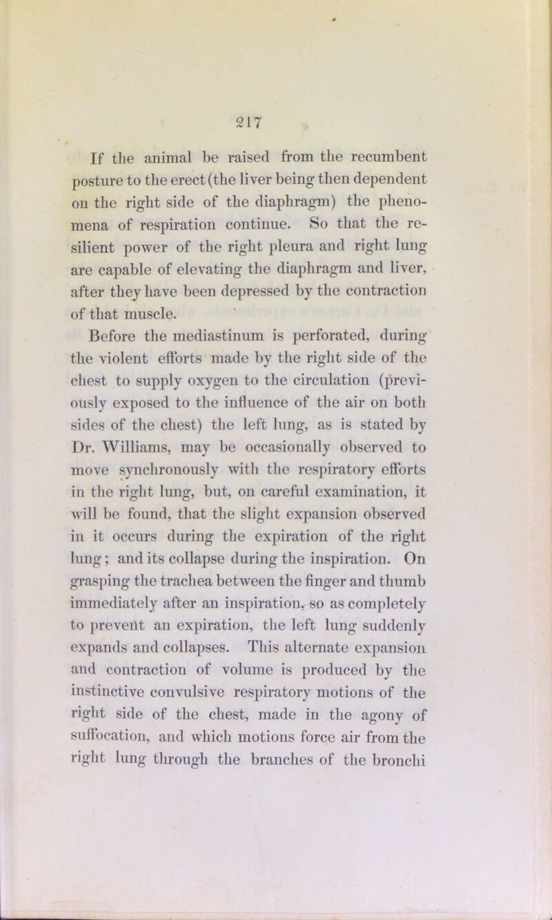 If the animal be raised from the recumbent posture to the erect (the liver being then dependent on the right side of the diaphragm) the pheno- mena of respiration continue. So that the re- silient power of the right pleura and right lung are capable of elevating the diaphragm and liver, after they have been depressed by the contraction of that muscle. Before the mediastinum is perforated, during the violent efforts made by the right side of the chest to supply oxygen to the circulation (previ- ously exposed to the influence of the air on both sides of the chest) the left lung, as is stated by Dr. Williams, may be occasionally observed to move synchronously with the respiratory efforts in the right lung, but, on careful examination, it M ill be found, that the slight expansion observed in it occurs during the expiration of the right lung; and its collapse during the inspiration. On grasping the trachea between the finger and thumb immediately after an inspiration, so as completely to prevent an expiration, the left lung suddenly expands and collapses. This alternate expansion and contraction of volume is produced by the instinctive convulsive respiratory motions of the right side of the chest, made in the agony of suffocation, and which motions force air from the right lung through the branches of the bronchi