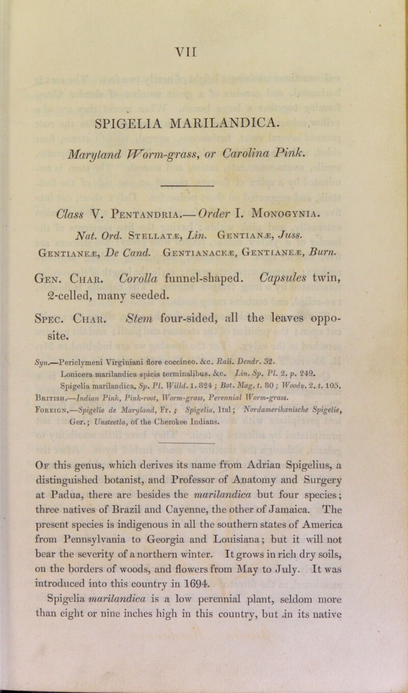SPIGELIA MARILANDICA. Maryland Worm-grass, or Carolina Pink. Class V. Pentandria.— Order I. Monogynia. Nat. Ord. Stellate, Lin. Gentian.e, Juss. Gentiane.e, De Cand. Gentianack.e, Gentiane.e, Burn. Gen. Char. Corolla funnel-sliaped. Capsules twin, 2-celled, many seeded. Spec. Char. Stem four-sided, all the leaves oppo- site. Syn.—Periclymeni Virginiani flore coccineo. &c. Rati. Dendr. 32. Lonicera marilandica spicis terminalibus. &c. Lin. Sp. PL 2. p. 249. Spigelia marilandica. Sp. PI. Willd. 1.824 ; Dot. Mag. t. 80; IVoodv. 2.1.105. British.—Indian Pink, Pink-root, Worm-grass, Perennial Worm-grass. Foreign.—Spigelie de Maryland, Fr. ; Spigelia, ltal; Nordamerikanische Spigelie, Ger.; Unsteetla, of the Cherokee Indians. Of this genus, which derives its name from Adrian Spigelius, a distinguished botanist, and Professor of Anatomy and Surgery at Padua, there are besides the marilandica but four species; three natives of Brazil and Cayenne, the other of Jamaica. The present species is indigenous in all the southern states of America from Pennsylvania to Georgia and Louisiana; but it will not bear the severity of a northern winter. It grows in rich dry soils, on the borders of woods, and flowers from May to July. It was introduced into this country in 1694. Spigelia marilandica is a low perennial plant, seldom more than eight or nine inches high in this country, but .in its native
