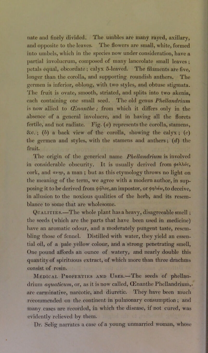 nate and finely divided. The umbles are many rayed, axillary, and opposite to the leaves. The flowers are small, white, formed into umbels, which in the species now under consideration, have a partial involucrum, composed of many lanceolate small leaves; petals equal, obcordate; calyx 5-leaved. The filaments are five, longer than the corolla, and supporting roundish anthers. The germen is inferior, oblong, with two styles, and obtuse stigmata. The fruit is ovate, smooth, striated, and splits into two akenia, each containing one small seed. The old genus Phellandrium is now allied to (Enanthe; from which it differs only in the absence of a general involucre, and in having all the florets fertile, and not radiate. Fig. (a) represents the corolla, stamens, &c.; (b) a back view of the corolla, showing the calyx ; (e) the germen and styles, with the stamens and anthers; (d) the fruit. The origin of the generical name Phellandrium is involved in considerable obscurity. It is usually derived from feUoc, cork, and av*ip, a man ; but as this etymology throws no light on the meaning of the term, we agree with a modern author, in sup- posing it to be derived from 0^Xoc,an impostor, or <pri\e(jj,to deceive, in allusion to the noxious qualities of the herb, and its resem- blance to some that are wholesome. Qualities.—The whole plant has a heavy, disagreeable smell; the seeds (which are the parts that have been used in medicine) have an aromatic odour, and a moderately pungent taste, resem- bling those of fennel. Distilled with water, they yield an essen- tial oil, of a pale yellow colour, and a strong penetrating smell, One pound affords an ounce of watery, and nearly double this quantity of spirituous extract, of which more than three drachms consist of resin. Medical Properties and Uses.—The seeds of phellan- drium aquaticum, or, as it is now called, (Enanthe Phellandrium,. are carminative, narcotic, and diuretic. They have been much recommended on the continent in pulmonary consumption ; and many cases are recorded, in which the disease, it not cured, was evidently relieved by them. Dr. Selig narrates a case of a young unmarried woman, whose