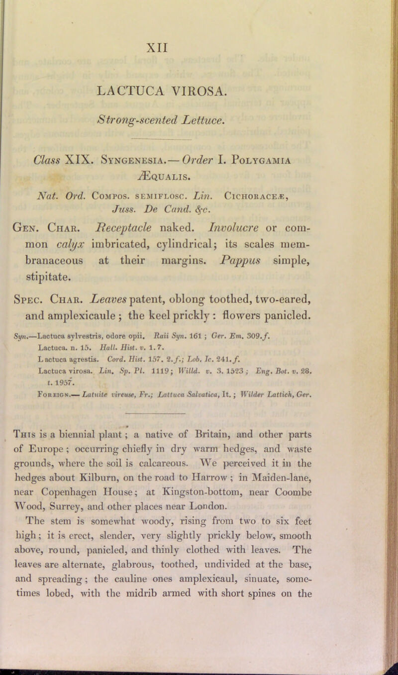 XII LACTUCA VIROSA. Strong-scented Lettuce. Class XIX. Syngenesia.— Order I. Polygamia /Equalis. Nat. Ord. Compos, semiflosc. Lin. Cichokace*:, .hiss. De Cand. fyc. Gen. Char. Receptacle naked. Involucre or com- mon calyx imbricated, cylindrical; its scales mem- branaceous at their margins. Pappus simple, stipitate. Spec. Char. Leaves patent, oblong toothed, two-eared, and amplexicaule ; the keel prickly : flowers panicled. Syn.—Lactuca sylvestris, odore opii. Raii Syn. 161 ; Ger. Em. 309./. Lactuca. n. 15. Hall. Hist. v. 1.7. Lactuca agrestis. Cord. Hist. 157. 2./.; Lob. Ic. 241./. Lactuca virosa. Lin. Sp. PI. 1119; Willd. v. 3.1523; Eng. Bot. v. 28. t. 1957*. Foreign.— Latuite vireuse, Fr.; Lattuca Salvatica, It.; Wilder Lattich, Ger. This is a biennial plant; a native of Britain, and other parts of Europe ; occurring chiefly in dry warm hedges, and waste grounds, where the soil is calcareous. We perceived it in the hedges about Kilburn, on the road to Harrow ; in Maiden-lane, near Copenhagen House; at Kingston-bottom, near Coombe Wood, Surrey, and other places near London. The stem is somewhat wroody, rising from two to six feet high; it is erect, slender, very slightly prickly below, smooth above, round, panicled, and thinly clothed with leaves. The leaves are alternate, glabrous, toothed, undivided at the base, and spreading; the cauline ones amplexicaul, sinuate, some- times lobed, with the midrib armed with short spines on the