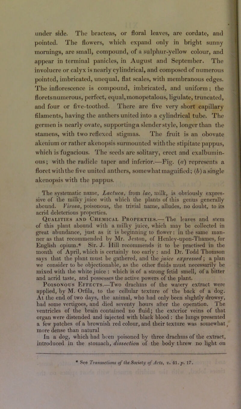 under side. The bracteas, or floral leaves, are cordate, and pointed. The flowers, which expand only in bright sunny mornings, are small, compound, of a sulphur-yellow colour, and appear in terminal panicles, in August and September. The involucre or calyx is nearly cylindrical, and composed of numerous pointed, imbricated, unequal, flat scales, with membranous edges. The inflorescence is compound, imbricated, and uniform; the floretsnumerous, perfect, equal,monopetalous, ligulate, truncated, and four or five-toothed. There are five very short capillary filaments, having the anthers united into a cylindrical tube. The germen is nearly ovate, supportinga slender style, longer than the stamens, with two reflexed stigmas. The fruit is an obovate akenium or rather akenopsis surmounted with the stipitate pappus, which is fugacious. The seeds are solitary, erect and exalbumin- ous; with the radicle taper and inferior.—Fig. (r/) represents a floret with the five united anthers, somewhat magnified; (ft) a single akenopsis with the pappus. The systematic name, Lactuca, from lac, milk, is obviously expres- sive of the milky juice with which the plants of this genus generally abound. Virosa, poisonous, the trivial name, alludes, no doubt, to its acrid deleterious properties. Qualities and Chemical Properties.— The leaves and stem of this plant abound with a milky juice, which may be collected in great abundance, just as it is beginning to flower: in the same man- ner as that recommended by Mr. Jeston, of Henley-upon-Thames, for English opium.* Sir. J. Hill recommends it to be practised in the month of April, which is certainly too early : and Dr. Todd Thomson says that the plant must he gathered, and the juice expressed; a plan we consider to be objectionable, as the other fluids must necessarily he mixed with the white juice : which is of a strong fetid smell, of a bitter and acrid taste, and possesses the active powers of the plant. Poisonous Effects.—Two drachms of the watery extract were applied, by M. Orfila, to the cellular texture of the hack of a dog. At the end of two days, the animal, who had only been slightly drowsy, had some vertigoes, and died seventy hours after the operation. The ventricles of the brain contained no fluid; the exterior veins of that organ were distended and injected with black blood : the lungs presented a few patches of a brownish red colour, and their texture was somewhat, more dense than natural In a dog, which had been poisoned by three drachms of the extract, introduced in the stomach, dissection of the body threw no light on See Transactions of the Society of Arts, v. 41. p. 1?.