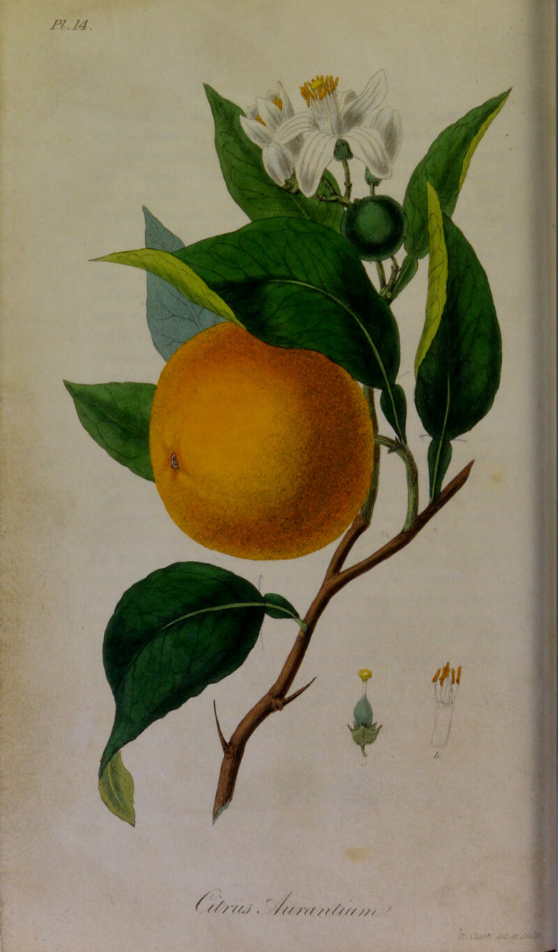 * // r, ///vr////// //f