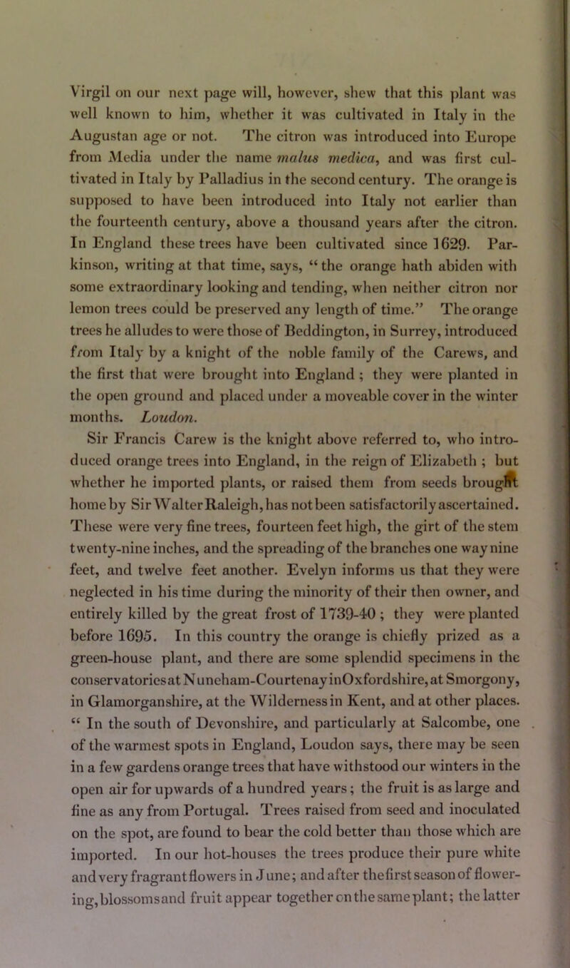 Virgil on our next page will, however, shew that this plant was well known to him, whether it was cultivated in Italy in the Augustan age or not. The citron was introduced into Europe from Media under the name malus medica, and was first cul- tivated in Italy by Palladius in the second century. The orange is supposed to have been introduced into Italy not earlier than the fourteenth century, above a thousand years after the citron. In England these trees have been cultivated since 1629. Par- kinson, writing at that time, says, “ the orange hath abiden witli some extraordinary looking and tending, when neither citron nor lemon trees could be preserved any length of time.” The orange trees he alludes to were those of Beddington, in Surrey, introduced from Italy by a knight of the noble family of the Carews, and the first that were brought into England ; they were planted in the open ground and placed under a moveable cover in the winter months. Loudon. Sir Francis Carew is the knight above referred to, who intro- duced orange trees into England, in the reign of Elizabeth ; but whether he imported plants, or raised them from seeds brouglft homeby Sir Walter Raleigh, has notbeen satisfactorily ascertained. These were very fine trees, fourteen feet high, the girt of the stem twenty-nine inches, and the spreading of the branches one way nine feet, and twelve feet another. Evelyn informs us that they were neglected in his time during the minority of their then owner, and entirely killed by the great frost of 1739-40 ; they were planted before 1695. In this country the orange is chiefly prized as a green-house plant, and there are some splendid specimens in the conservatoricsatNuneham-CourtenayinOxfordshire,at Smorgony, in Glamorganshire, at the Wilderness in Kent, and at other places. “ In the south of Devonshire, and particularly at Salcombe, one of the warmest spots in England, Loudon says, there may be seen in a few gardens orange trees that have withstood our winters in the open air for upwards of a hundred years; the fruit is as large and fine as any from Portugal. Trees raised from seed and inoculated on the spot, are found to bear the cold better than those which are imported. In our hot-houses the trees produce their pure white and very fragrant flowers in J une; and after thefirst season of flower- ing,blossomsand fruit appear together on the same plant; the latter