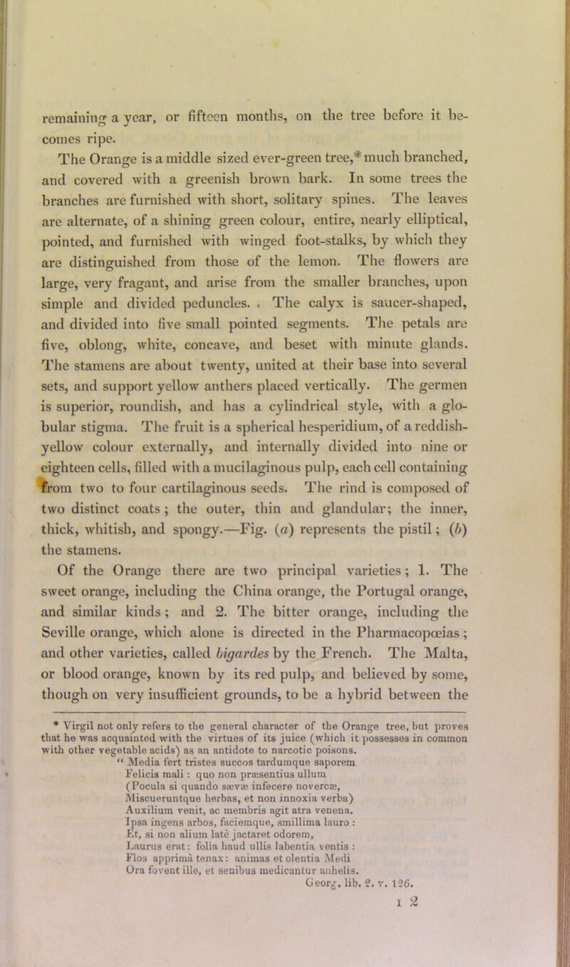 remaining a year, or fifteen months, on the tree before it be- comes ripe. The Orange is a middle sized ever-green tree,* much branched, and covered with a greenish brown bark. In some trees the branches are furnished with short, solitary spines. The leaves are alternate, of a shining green colour, entire, nearly elliptical, pointed, and furnished with winged foot-stalks, by which they are distinguished from those of the lemon. The flowers are large, very fragant, and arise from the smaller branches, upon simple and divided peduncles. . The calyx is saucer-shaped, and divided into five small pointed segments. The petals are five, oblong, white, concave, and beset with minute glands. The stamens are about twenty, united at their base into several sets, and support yellow anthers placed vertically. The germen is superior, roundish, and has a cylindrical style, with a glo- bular stigma. The fruit is a spherical hesperidium, of a reddish- yellow colour externally, and internally divided into nine or eighteen cells, filled with a mucilaginous pulp, each cell containing from two to four cartilaginous seeds. The rind is composed of two distinct coats ; the outer, thin and glandular; the inner, thick, whitish, and spongy.—Fig. (a) represents the pistil; (/>) the stamens. Of the Orange there are two principal varieties; 1. The sweet orange, including the China orange, the Portugal orange, and similar kinds; and 2. The bitter orange, including the Seville orange, which alone is directed in the Pharmacopoeias; and other varieties, called bigardesby the French. The Malta, or blood orange, known by its red pulp, and believed by some, though on very insufficient grounds, to be a hybrid between the * Virgil not only refers to the general character of the Orange tree, but proves that he was acquainted with the virtues of its juice (which it possesses in common with other vegetable acids) as an antidote to narcotic poisons. “ Media fert tristes succos tardumque saporem Felicis mali : quo non prassentius ullum (Pocula si quando sa;va; infecere novercse, Miscueruntque herbas, et non innoxia verba) Auxilium venit, ac membris agit atra venena. Ipsa ingens arbos, faciemque, smillima lauro : Et, si non aliuin late jactaret odorem, Laurus erat: folia baud ullis labentia ventis : Flos apprima tenax: animas et olentia Medi Ora fovent ille, et senibus medicantur anbelis. Georg, lib. 2. v. 126.