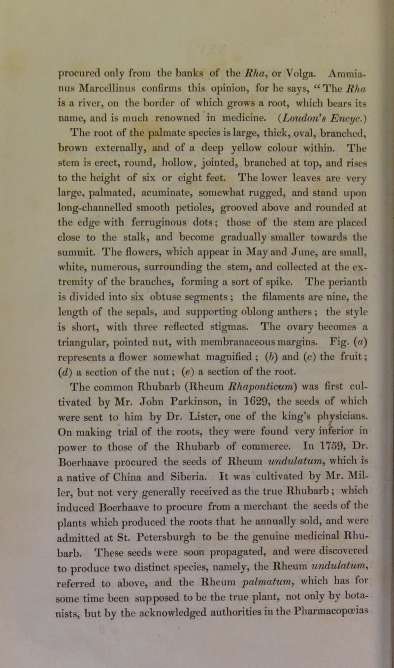 procured only from the banks of the Rha, or Volga. Ammia- nus Marcellinus confirms this opinion, for he says, “ The Rha is a river, on the border of which grows a root, which bears its name, and is much renowned in medicine. (Loudon's Encyc.) The root of the palmate species is large, thick, oval, branched, brown externally, and of a deep yellow colour within. The stem is erect, round, hollow, jointed, branched at top, and rises to the height of six or eight feet. The lower leaves are very large, palmated, acuminate, somewhat rugged, and stand upon long-channelled smooth petioles, grooved above and rounded at the edge with ferruginous dots; those of the stem are placed close to the stalk, and become gradually smaller towards the summit. The flowers, which appear in May and June, are small, white, numerous, surrounding the stem, and collected at the ex- tremity of the branches, forming a sort of spike. The perianth is divided into six obtuse segments ; tbe filaments are nine, the length of the sepals, and supporting oblong anthers; the style is short, with three reflected stigmas. The ovary becomes a triangular, pointed nut, with membranaceous margins. Fig. (a) represents a flower somewhat magnified ; (b) and (c) the fruit; (d) a section of the nut; (e) a section of the root. The common Rhubarb (Rheum Rhaponticum) was first cul- tivated by Mr. John Parkinson, in 1C29, the seeds of which were sent to him by Dr. Lister, one of the king’s physicians. On making trial of the roots, they were found very inferior in power to those of the Rhubarb of commerce. In 1759, Dr. Boerhaave procured the seeds of Rheum undulatum, which is a native of China and Siberia. It was cultivated by Mr. Mil- ler, but not very generally received as the true Rhubarb; which induced Boerhaave to procure from a merchant the seeds of the plants which produced the roots that he annually sold, and were admitted at St. Petersburgh to be the genuine medicinal Rhu- barb. These seeds were soon propagated, and were discovered to produce two distinct species, namely, the Rheum undulatum, referred to above, and the Rheum palmatum, which has for some time been supposed to be the true plant, not only by bota- nists, but by the acknowledged authorities in the Pharmacopoeias