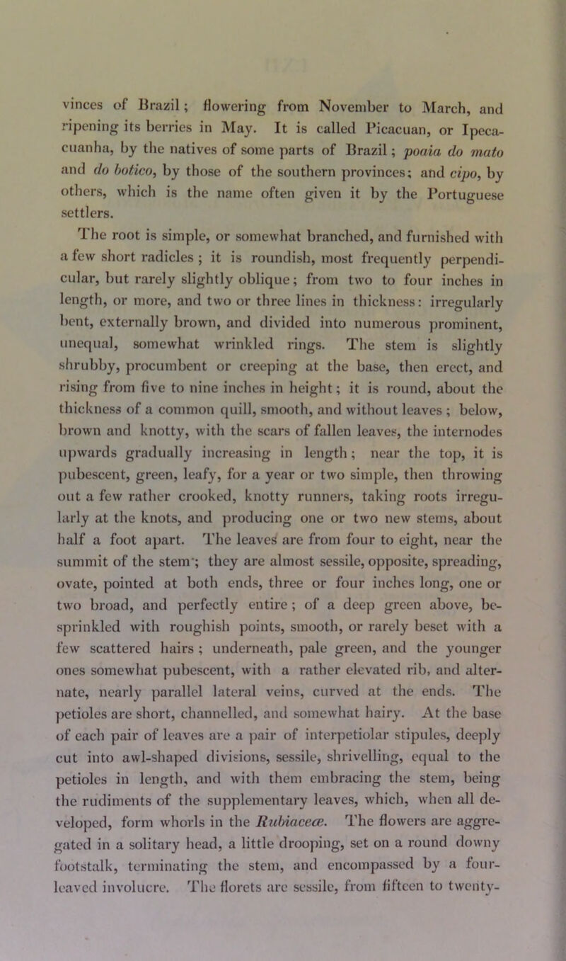 vinces of Brazil; flowering from November to March, and ripening its berries in May. It is called Picacuan, or Ipeca- cuanha, by the natives of some parts of Brazil; poaia do mato and do botico, by those of the southern provinces; and cipo, by others, which is the name often given it by the Portuguese settlers. 1 he root is simple, or somewhat branched, and furnished with a few short radicles ; it is roundish, most frequently perpendi- cular, but rarely slightly oblique; from two to four inches in length, or more, and two or three lines in thickness: irregularly bent, externally brown, and divided into numerous prominent, unequal, somewhat wrinkled rings. The stem is slightly shrubby, procumbent or creeping at the base, then erect, and rising from five to nine inches in height; it is round, about the thickness of a common quill, smooth, and without leaves ; below, brown and knotty, with the scars of fallen leaves, the internodes upwards gradually increasing in length; near the top, it is pubescent, green, leafy, for a year or two simple, then throwing out a few rather crooked, knotty runners, taking roots irregu- larly at the knots, and producing one or two new stems, about half a foot apart. The leaves are from four to eight, near the summit of the stem'; they are almost sessile, opposite, spreading, ovate, pointed at both ends, three or four inches long, one or two broad, and perfectly entire; of a deep green above, be- sprinkled with roughish points, smooth, or rarely beset with a few scattered hairs ; underneath, pale green, and the younger ones somewhat pubescent, with a rather elevated rib, and alter- nate, nearly parallel lateral veins, curved at the ends. The petioles are short, channelled, and somewhat hairy. At the base of each pair of leaves are a pair of interpetiolar stipules, deeply cut into awl-shaped divisions, sessile, shrivelling, equal to the petioles in length, and with them embracing the stem, being the rudiments of the supplementary leaves, which, when all de- veloped, form whorls in the Rubiacece. The flowers are aggre- gated in a solitary head, a little drooping, set on a round downy footstalk, terminating the stem, and encompassed by a four- leaved involucre. The florets are sessile, from fifteen to twenty-