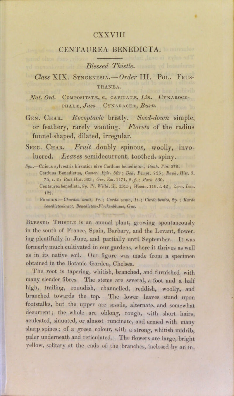 CXXVIII CENTAUREA BENEDICTA. Blessed Thistle. Class XIX. Syngenesta.— Order III. Pol. Frus- tranea. Nat. Ord. Compositst.e, a, capitat.e, Lin. Cynaroce- PHAL.E, JUSS. CYNAllACEiE, Bum. Gen. Char. Receptacle bristly. Seed-down simple, or feathery, rarely wanting. Florets of the radius funnel-shaped, dilated, irregular. Spec. Char. Fruit doubly spinous, woolly, invo- lucred. Leaves semidecurrent, toothed, spiny. Syn.—Cnicus sylvestris liirsutior sive Carduus benedictus, Bank. Pin. 378. Carduus Benedictus, Corner. Epit. 562 ; Bod. Pempt. 725 ; Bauh. Hist. 3. 75. t. 2 : Raii Hist. 303 ; Ger. Em. 1171. 2,f.; Park. 530. Centaurea benedicta, Sp. PI. Willd. iii. 2315 ; Woodv. 119. t. 42 ; Zorn. Icon. 122. Foreign.—Chardon benit, Fr.; Curda santo, It.; Cur do benito, Sp.; Kardo benedictenkract, Benedicten-Flockenblume, Ger. Blessed Thistle is an annual plant, growing spontaneously in the south of France, Spain, Barbary, and the Levant, flower- ing plentifully in June, and partially until September. It was formerly much cultivated in our gardens, where it thrives as well as in its native soil. Our figure was made from a specimen obtained in the Botanic Garden, Chelsea. The root is tapering, whitish, branched, and furnished with many slender fibres. The stems are several, a foot and a half high, trailing, roundish, channelled, reddish, woolly, and branched towards the top. The lower leaves stand upon footstalks, but the upper are sessile, alternate, and somewhat decurrent; the whole are oblong, rough, with short hairs, aculeated, sinuated, or almost runcinate, and armed with many sharp spines; of a green colour, with a strong, whitish midrib, paler underneath and reticulated. The flowers are large, bright vellow, solitary at the ends of the branches, inclosed by an in-