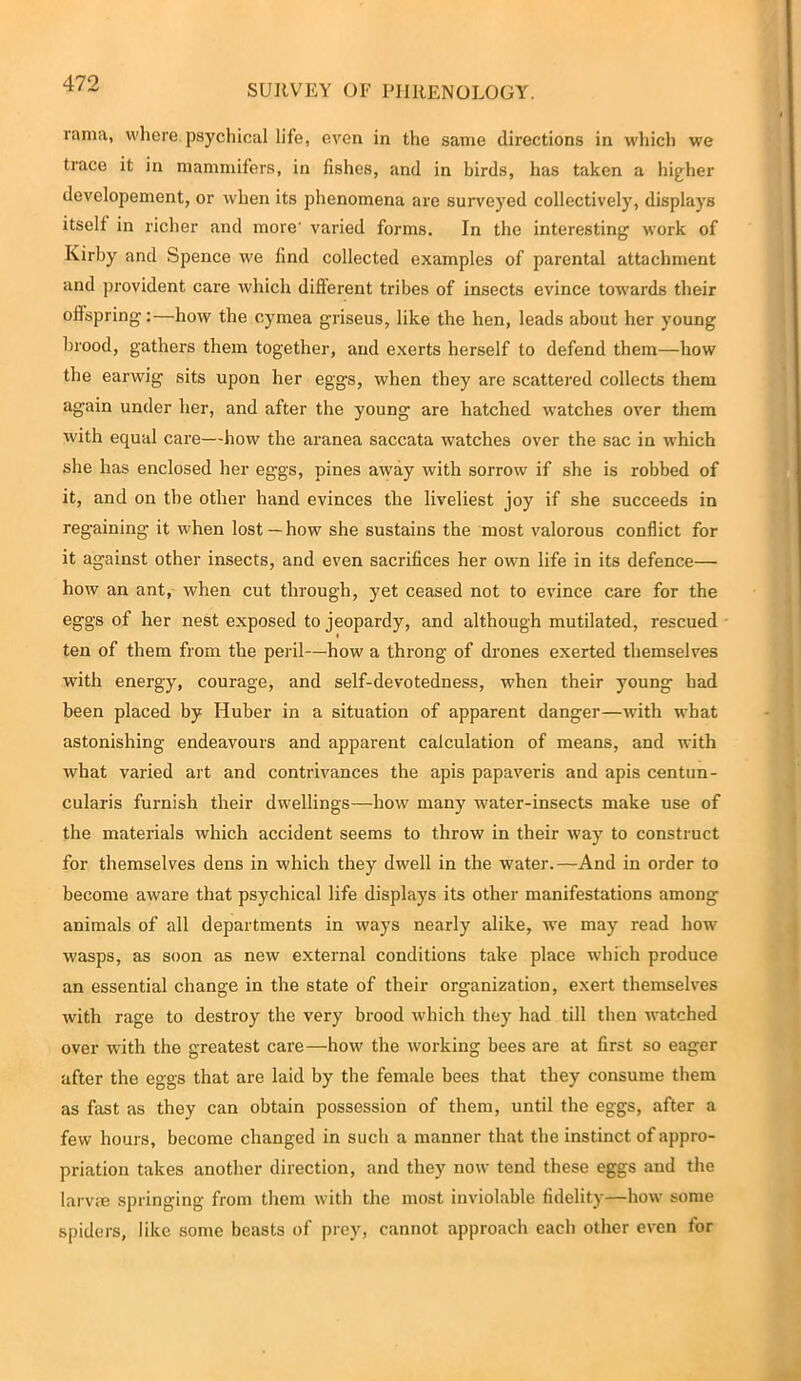 rama, where psychical life, cron in the same directions in which we trace it in mammifers, in fishes, and in birds, has taken a higher developement, or when its phenomena are surveyed collectively, displays itself in richer and more' varied forms. In the interesting work of Kirby and Spence we find collected examples of parental attachment and provident care which different tribes of insects evince towards their offspring:—how the cymea griseus, like the hen, leads about her young brood, gathers them together, and exerts herself to defend them—how the earwig sits upon her eggs, when they are scattered collects them again under her, and after the young are hatched watches over them with equal care—how the aranea saccata watches over the sac in which she has enclosed her eggs, pines away with sorrow if she is robbed of it, and on tbe other hand evinces the liveliest joy if she succeeds in regaining it when lost—how she sustains the most valorous conflict for it against other insects, and even sacrifices her own life in its defence— how an ant, when cut through, yet ceased not to evince care for the eggs of her nest exposed to jeopardy, and although mutilated, rescued ten of them from the peril—how a throng of drones exerted themselves with energy, courage, and self-devotedness, when their young had been placed by Huber in a situation of apparent danger—with wbat astonishing endeavours and apparent calculation of means, and with what varied art and contrivances the apis papaveris and apis centun- cularis furnish their dwellings—how many water-insects make use of the materials which accident seems to throw in their way to construct for themselves dens in which they dwell in the water.—And in order to become aware that psychical life displays its other manifestations among animals of all departments in ways nearly alike, we may read how wasps, as soon as new external conditions take place which produce an essential change in the state of their organization, exert themselves with rage to destroy the very brood which they had till then watched over with the greatest care—how the working bees are at first so eager after the eggs that are laid by the female bees that they consume them as fast as they can obtain possession of them, until the eggs, after a few hours, become changed in such a manner that the instinct of appro- priation takes another direction, and they now tend these eggs and the larvae springing from them with the most inviolable fidelity—how some spiders, like some beasts of prey, cannot approach each other even for