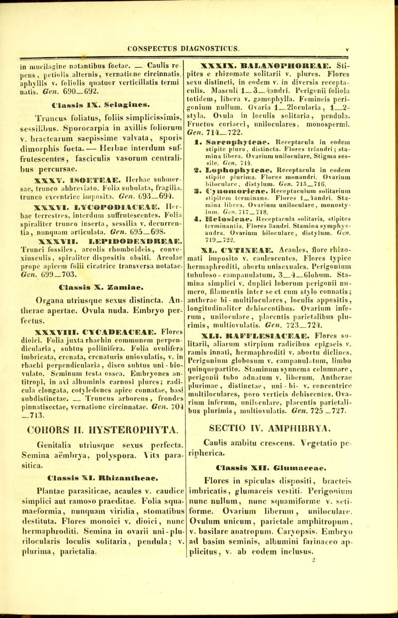 in mucilagine natantibus foetae. — Caulis re pens , petiolis alternis, vernatione circinnatis, aphyllis v. foliolis quatuor verticillatis termi natis. Gen. 690—692. Classis IX. Selagines. Truncus foliatus, foliis simplicissimis, sessilibus. Sporocarpia in axillis foliorum v. bractearum saepissime valvata, sporis dimorphis foeta.— Heibae interdum suf- frutescentes, fasciculis vasorum centrali- bus percursae. B8IFETEAE. Herbae submer- sae, trunco abbreviato. Folia subulata, fragilia, trunco excentrice imposita. Gen. 693—694. X\MI. Ii YCO P OI» I. t C EA E. Her- bae terrestres, interdum suffrutescentes. Folia spiraliter trunco inserta, sessilia v. decurren- tia, nunquam articulata. Gen. 695 69S. XXWIB. LEPIVOIIEXIIREAF.. Trunci fossiles, areolis rhomboideis, conve- xiusculis, spiraliter dispositis obsiti. Areolae prope apicem folii cicatrice transversa notatae. Gen. 699—703. Classis X. Samiae. Organa utriusque sexus distincta. An- therae apertae. Ovula nuda. Embryo per- fectus. XXXVI9I. CACAWEACEAE. Flores dioici. Folia juxta rhachin communem perpen- dicularia, subtus pollinifera. Folia ovulifera imbricata, crenata, crematuris uniovulatis, v. in rhachi perpendicularia, disco subtus uni-bio- vulato. Seminum testa ossea. Embryones an- titropi, in axi albuminis carnosi plures; radi- cula elongata, cotyledones apice connatae, basi subdistinctae. Truncus arboreus , frondes pinnatisectae, vernatione circinnatae. Gen. /0i —713. COHORS II. HYSTEROPHYTA. Genitalia utriusque sexus perfecta. Semina aembrya, polyspora. \ ita para- sitica. Classis XI. Riii/.anilicae. Plantae parasiticae, acaules v. caudice simplici aut ramoso praeditae. Folia squa- maeformia, nunquam viridia, stomatibus destituta. Flores monoici v. dioici, nunc hermaphroditi. Semina in ovarii uni-plu- rilocularis loculis solitaria, pendula; v. plurima, parietalia. XXXIX. BAMXOPMtmEAE. Sti- pites e rhizomate solitarii v. plures. Flores sexu distincti, in eodem v. in diversis recepta- culis. Masculi 1—3 4andri. Perigonii foliola totidem, libera v. gamophylla. Femineis peri- gonium nullum. Ovaria 1 21oeularia, 1 2- styla. Ovula in loculis solitaria, pendula. Fructus coriacei, uniloculares, monospermi. Gen. 714—722. I. Sareaplayteae. Receptacula in eodem stipite plura, distincta. Flores triandri; sta- mina libera. Ovarium uniloculare. Stigma ses- sile. Gen, 714. playleae. Receptacula in eodem stipite plurima. Flores monandri. Ovarium biloculare, distylum. Gen. 715 716. 3. Cj ecamsarieae. Receptaculum solitarium stipitem terminans. Flores 1 iandri. Sta- mina libera. Ovarium uniloculare, monosty- lum. Gen. 717 718. 4. MeSwsieae. Receptacula solitaria, stipites terminantia. Flores 3andri. Stamina symphys- andra. Ovarium biloculare, distylum. Gen. 719 722. XE. CTTISEAE. Acaules, flore rhizo- inati imposito v. caulescentes. F'lores typice hermaphroditi, abortu unisexuales. Perigonium tubuloso - campanulatum, 3 4 Globum. Sta- mina simplici v. duplici loborum perigonii nu- mero, filamentis inter se et cum stylo connatis; antlierae bi - multiloculares , loculis appositis, longitudinaliter dehiscentibus. Ovarium infe- rum, uniloculare, placentis parietalibus plu- rimis, multiovulatis. Gen. 723 724. Xlil. RAiTLESUEEAE. Flores so- litarii, aliarum stirpium radicibus epigaeis v. ramis innati, hermaphroditi v. abortu diclines. Perigonium globosum v. campanulatum, limbo quinquepartito. Staminum synnema columnare, perigonii tubo adnatum v. liberum. Antlierae plurimae, distinctae, uni - bi- v. concentrice multiloculares, poro verticis dehiscentes. Ova- rium inferum, uniloculare, placentis parietali- bus plurimis, multiovulatis. Gen. 725—727. SECTIO IV. AMPHIBRYA. Caulis ambitu crescens. Vegetatio pe- ripherica. Classis XII. Ctluiiaaceac. Flores in spiculas dispositi, bracteis imbricatis, glumaceis vestiti. Perigonium nunc nullum, nunc squamiforme v. seti- forme. Ovarium liberum , uniloculare. Ovulum unicum , parietale aniphitropum, v. basilare anatropuni. Caryopsis. Embryo ad basim seminis, albumini farinaceo ap- plicitus, v. ab eodem inclusus.
