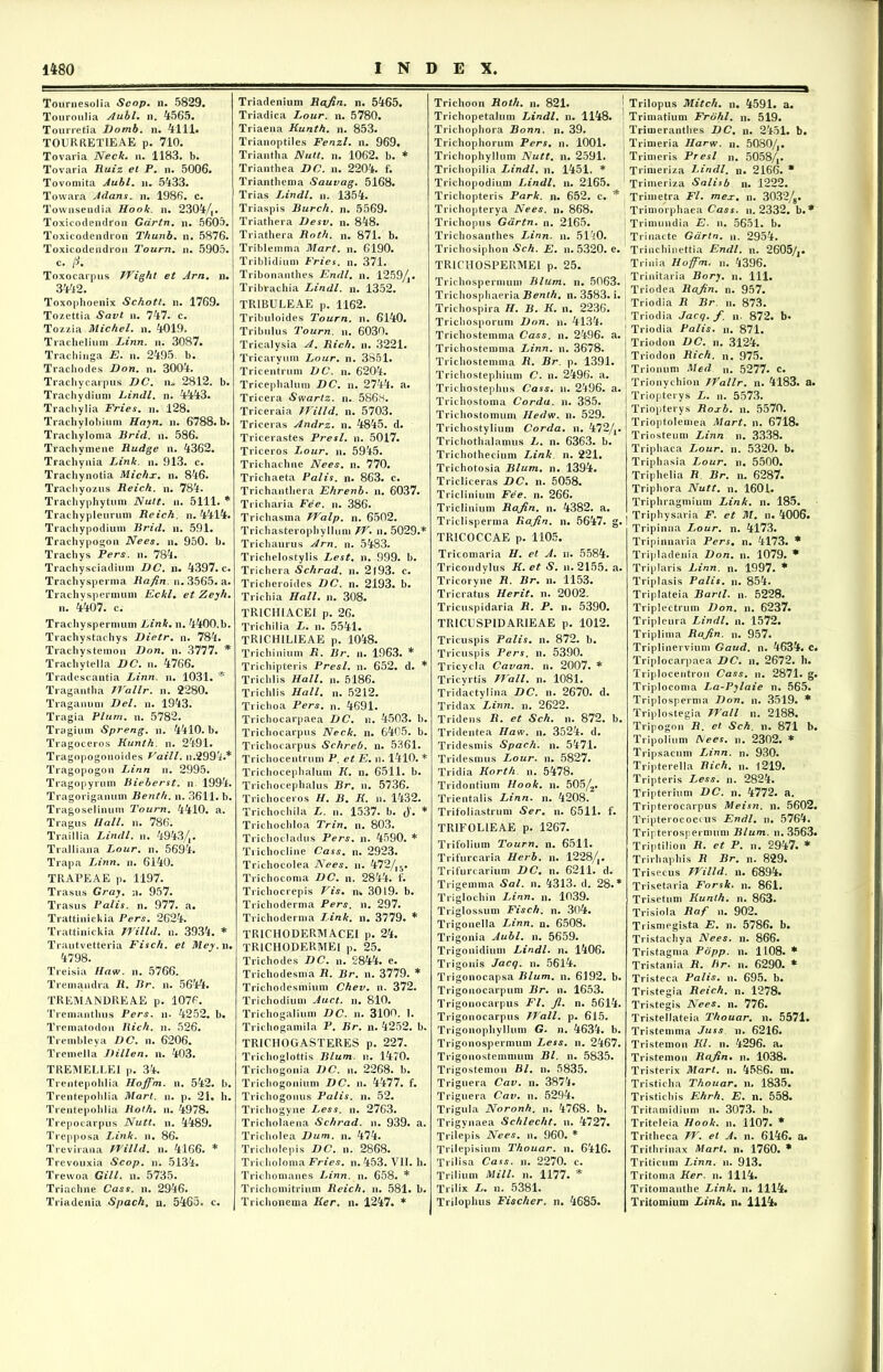 Tournesolia Scop. n. 5829. Touroulia Aubl. n. 4565. Tourretia Domb. n. 4111. TOURRETIEAE p. 710. Tovaria Nectir. n. 1183. b. Tovaria Jiuiz et P. n. 5006. Tovoniita Aubl. n. 5433. Towara Adans. n. 1985. c. Townsenclia Hook. n. 2304/,. Toxicodendron Gartn. n. 5605. Toxicodendron Thunb. n. 5876. Toxicodendron Tourn. n. 5905. c. /i. Toxocarpns TVight et Arn. n. 3442. Toxophoenix Schott. n. 1769. Tozettia Savt n. 747. c. Tozzia Michel. n. 4019. Trachelium Linn. n. 3087. Trachiriga E. n. 2495. b. Trachodes Don. n. 3004. Trachycarpus DC. n» 2812. b. Trachydiuni Lindi, n. 4443. Trachylia Fries, n. 128. Trachylobiuni Hajn. n. 6788. b. Trachyloma Brid. n. 586. Tracliymene Rudge n. 4362. Trachynia Link. n. 913. c. Trachynotia Michx. n. 846. Trachyozus Reich. n. 784. Trachyphytum Nuit. n. 5111. * Trachypleuruin Reich. n. 4414. Trachypodium Brid. n. 591. Trachvpogon Nees. n. 950. b. Trachys Pers. n. 784. Trachysciadium DC. n. 4397. c. Trachysperma Rafin. n. 3565. a. Trachvspermum Eckl. et Zeyh. n. 4407. c. Trachyspermum Link. n. 4400.b. Trachystachys Dietr. n. 784. Trachystenion Don. n. 3777. * Trachytella DC. n. 4766. Traclescantia Linn. n. 1031. * Tragantha TYallr. n. 2280. Traganuni Del. n. 1943. Tragia Pium. n. 5782. Tragium Spreng. n. 4410. b. Tragoceros Hunth. n. 2491. Tragopogonoides Vaill. n.2994.* Tragopogon Linn n. 2995. Tragopyrnm Bieberst. n 1994. Tragoriganum Benth. n. 3611. b. Tragoselinum Tourn. 4410. a. Tragus Hali. n. 786. Traillia Lindi, n. 4943/,. Tralliana Lour. n. 5694. Trapa Linn. n. 6140. TRAPEAE p. 1197. Trasus Gray. n. 957. Trasus Palis, n. 977. a. Trattinickia Pers. 2624. Trattinickia TYilld. n. 3934. * Trautvetteria Fisch. et Mey.w. 4798. Treisia Haw. n. 5766. Tremandra R. Br. n. 5644. TREMANDREAE p. 1076. Tremanthus Pers. n. 4252. b. Trematodon Rich. n. 526. Trembleya DC. n. 6206. Tremella Dillen. n. 403. TREMELLE1 p. 34. Trentepohlia Hojfm. n. 542. b. Trentepohlia Mart. n. p. 21. h. Trentepohlia Roth. n. 4978. Trepocarpus Nutt. n. 4489. Trepposa Link. n. 86. Trevirana TYilld. n. 4166. * Trevouxia Scop. n. 5134. Trewoa Gill. n. 5735. Triachne Cass. n. 2946. Triadenia Spach. u. 5465. c. Triadenium Rajin. n. 5465. Triadica Lour. n. 5780. Triaena Kunth. n. 853. Trianoptiles Fenzl. n. 969. Triantha Nutt. n. 1062. b. * Trianthea DC. n. 2204. f. Trianthema Sauvag. 5168. Trias Lindi, n. 1354. Triaspis Burch. n. 5569. Triathera Desv. n. 848. Triathera Roth. n. 871. b. Triblemma Mart. n. 6190. Triblidium Fries, n. 371. Tribonanthes Endl. n. 1259/j. Tribrachia Lindi, n. 1352. TRIBULEAE p. 1162. Tribuloides Tourn. n. 6140. Tribulus Tourn. n. 6030. Tricalysia A. Rich. n. 3221. Tricaryum Lour. n. 3851. Tricentrum DC. n. 6204. Tricephalum DC. n. 2744. a. Tricera Swartz. n. 586<S. Triceraia TYilld. n. 5703. Triceras Andrz. n. 4845. d. Tricerastes Presl. n. 5017. Triceros Lour. n. 5945. Trichachne Nees. n. 770. Trichaeta Palis, n. 863. c. Trichanthera Ehrenb. n. 6037. Tricharia Fee. n. 386. Trichasma TTralp. n. 6502. Trichasterophyllum TY. n. 5029.* Trichaurus Arn. n. 5483. Trichelostylis Lest. n. 999. b. Trichera Schrad. n. 2193. c. Tricheroides DC. n. 2193. b. Trichia Hali. n. 308. TR1CH1ACEI p. 26. Trichilia L. n. 5541. TR1CH1L1EAE p. 1048. Trichinium R. Br. n. 1963. * Trichipteris Presl. n. 652. d. * Trichlis Hali. n. 5186. Trichlis Hali. n. 5212. Trichoa Pers. n. 4691. Trichocarpaea DC. n. 4503. b. Trichocarpus Neck. n. 6405. b. Trichocarpus Sehreb. n. 5361. Trichocentrum P. et E. n. 1410. * Trichocephalum K. n. 6511. b. Trichocephalus Br. n. 5736. Trichoceros H. B. K. n. 1432. Trichochila L. n. 1537. b. $. * Trichochloa Trin. n. 803. Trichocladus Pers. n. 4590. * Trichocline Cass. n. 2923. Trichocolea Nees. n. 472/,5. Trichocoma DC. n. 2844. f. Trichocrepis Vis. n» 3019. b. Trichoderma Pers. n. 297. Trichodernia Link. n. 3779. * TRICHODERMACEI p. 24. TRICHODERMEI p. 25. Trichodes DC. n. 2844. e. Trichodesma R. Br. n. 3779. * Trichodesmium Chev. n. 372. Trichodium Auct. u. 810. Trichogalium DC. n. 3100. 1. Trichogamila P. Br. n. 4252. b. TRICHOGASTERES p. 227. Trichoglottis Blum. n. 1470. Trichogonia DC. n. 2268. b. Trichogonium DC. n. 4477. f. Trichogonus Palis, n. 52. Trichogyne Less. n. 2763. Tricholaena Schrad. n. 939. a. Tricholea Dum. n. 474. Tricholepis DC. n. 2868. Tricholoma Fries, n. 453. VII. h. Trichomanes Linn. n. 658. * Trichomitrium Reich. n. 581. b. Trichonema Ker. u. 1247. * Trichoon Roth. n. 821. Trichopetalum Lindi, n. 1148. Trichophora Bonn. n. 39. Trichophorum Pers. n. 1001. Trichophyllum Nutt. n. 2591. Trichopilia Lindi, n. 1451. * Trichopodium Lindi, n. 2165. Trichopteris Park. n. 652. c. * Trichopterya Nees. n. 868. Trichopus Gartn. n. 2165. Trichosanthes Linn. n. 51^0. Trichosiphon Sch. E. n. 5320. e. TRICHOSPERMEl p. 25. Trichospermum Blum. n. 5063. Trichosphaeria Benth. n. 3583. i. Trichospira H. B. K. n. 2236. Trichosporum Don. n. 4134. Trichostemma Cass. n. 2496. a. Trichostemma Linn. n. 3678. Trichostemma R. Br. p. 1391. Trichostephium C. n. 2496. a. Trichostephus Cass. u. 2496. a. Trichostoma Corda, n. 385. Trichostomum Hedw. n. 529. Trichostylium Corda, n. 472/,. Trichothalamus L. n. 6363. b. Trichothecium Link. n. 221. Trichotosia Blum. n. 1394. Tricliceras DC. n. 5058. Triclinium Fee. n. 266. Triclinium Rajin. n. 4382. a. Triclisperma Rajin. n. 5647. g. TRICOCCAE p. 1105. Tricomaria H. et A. n. 5584. Tricondylus K. et S. n. 2155. a. Tricoryne R. Br. n. 1153. Tricratus Herit. n. 2002. Tricuspidaria R. P. n. 5390. TRICUSPIDAR1EAE p. 1012. Tricuspis Palis, n. 872. b. Tricuspis Pers. n. 5390. Tricycla Cavan. n. 2007. * Tricvrtis TJrall. n. 1081. Tridactylina DC. n. 2670. d. Tridax Linn. n. 2622. Tridens R. et Sch. n. 872. b. Tridentea Haw. n. 3524. d. Tridesmis Spach. n. 5471. Tridesmus Lour. n. 5827. Tridia Korth. n. 5478. Tridontium Hook. n. 505/2. Trientalis Linn. n. 4208. Trifoliastrum Ser. n. 6511. f. TRIFOLIEAE p. 1267. Trifolium Tourn. n. 6511. Trifurcaria Herb. n. 1228/,. Trifurcarium DC. n. 6211. d. Trigemma Sal. n. 4313. d. 28.* Triglochin Linn. n. 1039. Triglossum Fisch. n. 304. Trigonella Linn. n. 6508. Trigonia Aubl. n. 5659. Trigonidium Lindi, n. 1406. Trigonis Jacq. n. 5614. Trigonocapsa Blum. n. 6192. b. Trigonocarpum Br. n. 1653. Trigonocarpus FI. Jl. n. 5614. Trigonocarpus TYall. p. 615. Trigonophyllum G. n. 4634. b. Trigonospermum Less. n. 2467. Trigonostemmum Bl. n. 5835. Trigostemon Bl. n. 5835. Triguera Cav. n. 3874. Triguera Cav. n. 5294. Trigula Noronh. n. 4768. b. Trigynaea Schlecht. n. 4727. Trilepis Nees. n. 960. * Trilepisium Thouar. n. 6416. Trilisa Cass. n. 2270. c. Trilium Mill. n. 1177. * Trilix L. n. 5381. Trilophus Fischer. n. 4685. Trilopus Mitcli. n. 4591. a. Trimatium Frdhl. n. 519. Trimeranthes DC. n. 2451. b. Trimeria llarw. n. 5080/,. Trimeris Presl n. 5058/,. Trimeriza Lindi, n. 2166. * Trimeriza Salisb n. 1222. Trimetra Fl. mex. n. 3032/g. Trimorphaea Cass. n. 2332. b.* Trimundia E. n. 5651. b. Trinacte Gartn. n. 2954. Trinchinettia Endl. n. 2605/,. Trinia Hoffm. n. 4396. Trinitaria Borj. n. 111. Triodea Rajin. n. 957. Triodia R Br. n. 873. Triodia Jacq. J\ n. 872. b. 1 Triodia Palis, n. 871. Triodon DC. n. 3124. Triodon Rich. n. 975. Trionum Med n. 5277. c. Trionychion JYallr. n. 4183. a. Triopterys L. n. 5573. Triopterys Roxb. n. 5570. Trioptolemea Mart. n. 6718. Triosteum Linn n. 3338. Triphaca Lour. n. 5320. b. Triphasia Lour. n. 5500. Triphelia R. Br. n. 6287. Triphora Nutt. n. 1601. Triphragmium Link. n. 185. Triphysaria F. et M. n. 4006. Tripinna Lour. n. 4173. Tripinnaria Pers. n. 4173. * Tripladenia Don. n. 1079. * Triplaris Linn. n. 1997. * Triplasis Palis, n. 854. Triplateia Bartl. n. 5228. Triplectrum Don. n. 6237. Tripieura Lindi, n. 1572. Triplima Rajin. n. 957. Triplinervium Gaud. n. 4634. c. Triplocarpaea DC. n. 2672. h. Triplocentron Cass. n. 2871. g. Triplocoma La-Pylaie n. 565. Triplosperma Don. n. 3519. * Triplostegia TYall n. 2188. Tripogon R. et Sch. n. 871 b. Tripolium ISees. n. 2302. * Tripsacum Linn. n. 930. Tripterella Rich. n. 1219. Tripteris Less. n. 2824. Tripterium DC. n. 4772. a. Tripterocarpus Meisn. n. 5602. Tripterococcus Endl. n. 5764. Tripterospermum Blum. n. 3563. Triptilion R. et P. n. 2947. * Trirhaphis R Br. n. 829. Trisecus TYilld. n. 6894. Trisetaria Forsk. n. 861. Trisetum Kunth. n. 863. Trisiola Raf n. 902. Tiismegista E. n. 5786. b. Tristachya Nees. n. 866. Tristagma Popp. n. 1108. * Tristania R. Br. n. 6290. * Tristeca Palis, n. 695. b. Tristegia Reich. n. 1278. Tristegis Nees. n. 776. Tristellateia Thouar. n. 5571. Tristemma Juss n. 6216. Tristemon Kl. n. 4296. a. Tristemon Rajin. n. 1038. Tristerix Mart. n. 4586. m. Tristicha Thouar. n. 1835. Tristichis Ehrh. E. n. 558. Tritamidium n. 3073. b. Triteleia Hook. n. 1107. * Tritheca TY. et A. n. 6146. a. Trithrinax Mart. n. 1760. * Triticum Linn. n. 913. Tritonia Ker n. 1114. Tritomanthe Link. n. 1114. Tritomium Link. n. 1114.
