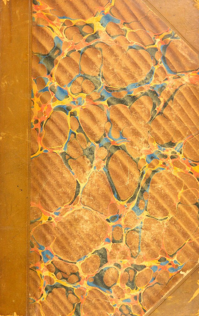 No text description is available for this image