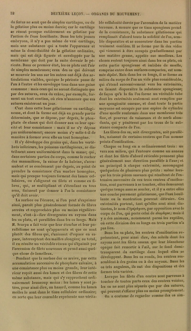 «lu fœtus ne sont que do simples cartilages, ou de la gélatine plus ou moins durcie; car le cartilage se résout presque entièrement en gélatine pur l’action de l’eau bouillante. Dans les très jeunes embryons, il n’y a pas même de vrai cartilage, mais une substance qui a toute l’upparencc cl même la demi-fluidité de la gélatine ordinaire, mais qui est déjà figurée et enveloppée par la membrane qui doit par la suite devenir le pé- rioste. Dans ce premier état, les os plats ont l’air de simples membranes; ceux des os qui doivent 6e mouvoir les uns sur les autres ont déjà des ar- ticulations visibles, quoique le périoste passe de l’un à l’autre et les enveloppe tous dans une gaine commune : mais ceux qui ne seront distingués que par des sutures, ceux du crâne, par exemple, for- ment un tout continu, où rien n’annonce que ces sutures existeront un jour. C’est dans cette base gélatineuse ou cartilagi- neuse, et dont la forme est déjà en grande partie déterminée, que se dépose, par degrés, le phos- phate de chaux qui doit donner aux os leur opa- cité et leur consistance : mais il ne s’y dépose pas uniformément; encore moins s’y mêle-t-il de manière à former avec elle un tout homogène. Il s’y développe des grains qui, dans les verté- brés inférieurs, les poissons cartilagineux, se dis- tribuent assez uniformément dans la masse; qui, dans certaines parties du corps, comme le rocher des mammifères, la caisse de la baleine, s’accu- mulent et se condensent par degrés, au point de prendre la consistance d’un marbre homogène, mais qui presque toujours forment des lames cel- lulaires, ou s’alignent en filets et comme en fi- bres, qui, se multipliant et s’étendant en tous sens, finissent par donner à l’os la consistance qu’il doit avoir. La surface ou l’écorce, si l’on peut s’exprimer ainsi, paraît plus généralement formée de fibres serrées et rapprochées plus ou moins régulière- ment, c’est-à-dire divergentes en rayons dans les os plats, et parallèles dans les os longs. Mais M. Scarpa a fait voir que leur élendue et leur pa- rallélisme ne sont qu’apparents et que ce sont plutùt des fibres qui, s’unissant d’espace en es- pace, interceptent des mailles alongées; au total, il en résulte un véritable réseau qui s’épaissit par l’accession de filets nouveaux et prend aussi quel- que chose de lamelleux. Pendant que la surface des os arrive, par cette accumulation successive de phosphate calcaire, à une consistance plus ou moins grande, leur inté- rieur reçoit aussi des lames et des fibres de cette même substance, mais qui s’y rapprochent ordi- nairement beaucoup moins : les lames y sont je- tées, pour ainsi dire, au hasard, comme les lames molles le sont dans le tissu cellulaire ordinaire; en sorte que leur ensemble représente une vérita- ble ccllulosité durcie par l’accession do la matière terreuse. A mesure que ce tissu spongieux prend de la consistance, la substance gélatineuse qui remplissait d’abord toute la solidité de l’os, sem- ble disparaître et se concentrer dans les parties vraiment ossifiées. Il se forme par là des vides qui viennent à être occupés graduellement par une matière grasse, appelée suc moelleux. Les choses restent toujours ainsi dans les os plats, où cette partie spongieuse et imbibée de moelle, comprise entre deux surfaces compactes, est nom- mée diploé. Mais dans les os longs, il se forme au milieu du corps de l’os un vide plus considérable, qui s’étend successivement vers les extrémités, en faisant disparaître la substance spongieuse; de façon qu’à la fin l’os forme un véritable tube dont les extrémités seulement sont remplies par une spongiosité osseuse, et dont toute la partie moyenne est occupée par une espèce de cylindre d’une qioelle renfermée dans une membrane très fine, et pourvue de vaisseaux et de nerfs abon- dants, qui y pénètrent par les trous de la sub- stance compacte de l’os. Les fibres des os, soit divergentes, soit parallè- les, naissent de certains centres que Ton nomme points d’ossification. Chaque os long en a ordinairement trois : un vers son milieu, qui l’entoure comme un anneau et dont les filets d’abord réticulés prennent plus généralement une direction parallèle à Taxe; et un principal à chaque extrémité, accompagné quelquefois de plusieurs plus petits : même lors- que les trois pièces osseuses qui résultent de l’ex- tension successive de ces trois centres d’ossifica- tion, sont parvenues à se toucher, elles demeurent quelque temps sans se souder, et il y a entre elles une couche purement gélatineuse, que l’eau bouil- lante ou la macération peuvent détruire. Ces extrémités portent, tant qu’elles sont ainsi dis- tinctes, le nom d'épiphyses, par opposition avec le corps de l’os, qui porte celui de diapliyse; mais il y a des animaux, notamment parmi les reptiles, où cette division des os longs en trois parties n’a pas lieu. Dans les os plats, les centres d’ossiGcation re- présentent, pour ainsi dire, des soleils dont les rayons sont les filets osseux que leur blancheur opaque fait ressortir à l’œil, sur le fond demi- transparent du cartilage dans lequel elles se développent. Dans les os ronds, les centres res- semblent à des grains ou à des noyaux. Dans les os très anguleux, ils ont des dispositions et des formes très variées. Lorsque les filets d’un centre sont parvenus à toucher de toutes parts ceux des centres voisins, les os ne sont plus séparés que par des sutures, qui peuvent s’effacer plus ou moins promptement. On a coutume de regarder comme des os sim-