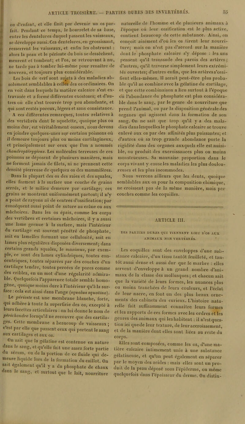 ARTICLE TROISIÈME. — PARTIES DURES DES INVERTÉBRÉS. ou d’enfanf, et elle finit par devenir un os par- fait. Pendant ce temps, le bourrelet de sa base, cuire les dentelures duquel passent les vaisseaux, se développe aussi. Ces dentelures, en grossissant, resserrent les vaisseaux, et enfin les obstruent : |, alors la peau et le périoste du bois se dessèchent, meurent et tombent; et l’os, se retrouvant à nu, ne tarde pas à tomber lui-même pour renaître de nouveau, et toujours plus considérable. Les bois de cerf sont sujets à des maladies ab- solument semblables à celles des os ordinaires. On !en voit dans lesquels la matière calcaire s’est ex- travasée et a formé différentes exostoses; et d’au- tres où clic s’est trouvée trop peu abondante, et qui sont restés poreux, légers et sans consistance. A ces différentes remarques, toutes relatives à des vertébrés dont le squelette, quoique plus ou moins dur, est véritablement osseux, nous devons en joindre quelques-unes sur certains poissons où il demeure toujours plus ou moins cartilagineux, et principalement sur ceux que l’on a nommés chondroptérygiens. Les molécules terreuses de ces poissons se déposent de plusieurs manières, mais ne forment jamais de filets, ni ne prennent cette densité pierreuse de quelques os des mammifères. Dans la plupart des os des raies et des squales, elles forment à la surface une couche de grains serrés, et le milieu demeure pur cartilage; ces grains se montrent uniformément partout; il n’y a point de rayons ni de centres d’ossification; par conséquent aussi point de suture au crâne ou aux mâchoires. Dans les os épais, comme les corps des vertèbres et certaines mâchoires, il y a aussi une lame grenue à la surface, mais l’intérieur du cartilage est souvent pénétré de phosphate, soit en lamelles formant une cellulosité, soit en lames plus régulières disposées diversement; dans certains grands squales, le viaximus, par exem- ple, ce sont des lames cylindriques, toutes con- centriques, toutes séparées par des couches d’un cartilage tendre, toutes percées de pores comme des cribles, en un mot d’une régularité admira- ble. Quelquefois l’apparence totale semble homo- gène, quoique moins dure à l’intérieur qu’à la sur- lace : cela est ainsi dans l’ange (squnlus squatina). Le périoste est une membrane blanche, forte, qui adhère à toute la superficie des os, excepté à leurs facettes articulaires : on lui donne le nom de périchondre lorsqu’il ne recouvre que des cartila- ges. Cette membrane a beaucoup de vaisseaux; c’est par elle que passent ceux qui portent le sang aux cartilages et aux os. On sait que la gélatine est contenue en nature dans le sang, et qu’elle fait une assez forte partie du sérum, ou de la portion de ce fluide qui de- meure liquide lors de la formation du caillot. On sait également, qu’il y a du phosphate de chaux dans le sang, cl surtout que le lait, nourriture naturelle de l’homme et de plusieurs animaux à l’époque où leur ossification est le plus active, contient beaucoup de cette substance. Ainsi, on conçoit aisément d’où les os tirent leur nourri- ture; mais on n’est pas d’accord sur la manière dont le phosphate calcaire s’y dépose : les uns pensent qu’il transsude des parois des artères; d’autres, qu’il traverse simplement leurs extrémi- tés ouvertes; d’autres enfin, que les artères s’ossi- fient. elles-mêmes. H sérail peut-être plus proba- ble qu’il se combine avec la gélatine du cartilage, et. que celle combinaison a lieu surtout à l’époque ou l’abondance du phosphate est plus considéra- ble dans le sang, par le genre de nourriture que prend l’animal, ou par la disposition générale des organes qui agissent dans la formation de son sang. On ne sait que trop qu’il y a des mala- dies dans lesquelles le phosphate calcaire se trouve enlevé aux os par des affinités plus puissantes; et d’autres où sa trop grande abondance porte la rigidité dans des organes auxquels elle est nuisi- ble, ou produit des excroissances plus ou moins monstrueuses. Sa mauvaise proportion dans le corps vivant y cause les maladies les plus doulou- reuses et les plus incommodes. Nous verrons ailleurs que les dents, quoique semblables aux os pour la composition chimique, ne croissent pas de la même manière, mais par couches comme les coquilles. ARTICLE III. DES I-ARTIES DURES QUI TIENNENT LIEU n’os AUX ANIMAUX NON VERTEBRES. Les coquilles sont des enveloppes d’une sub- stance calcaire, d’un tissu tantôt feuilleté, et tan- tôt aussi dense et aussi dur que le marbre : elles servent d’enveloppe à un grand nombre d’ani- maux de la classe des mollusques; et chacun sait, que la variété île leurs formes, les nuances plus ou moins tranchées de leurs couleurs, et l’éclat de leur nacre, en font un des plus beaux orne- ments des cabinets des curieux. L’histoire natu- relle fait suffisamment connaître leurs formes et les rapports de ces formes avec les ordres et les genres des animaux qui les habitent : il n’estqucs- lion ici quelle leur texture, de leur accroissement, et de la manière dont elles sont liées au reste du corps. Elles sont composées, comme les os, d’une ma- tière calcaire intimement unie à une substance gélatineuse, et. qu’on peut également en séparer par le moyen des acides : mais elles sont un pro- duit de la peau déposé sous l’épiderme, ou même quelquefois dans l’épaisseur du derme. On dislin-